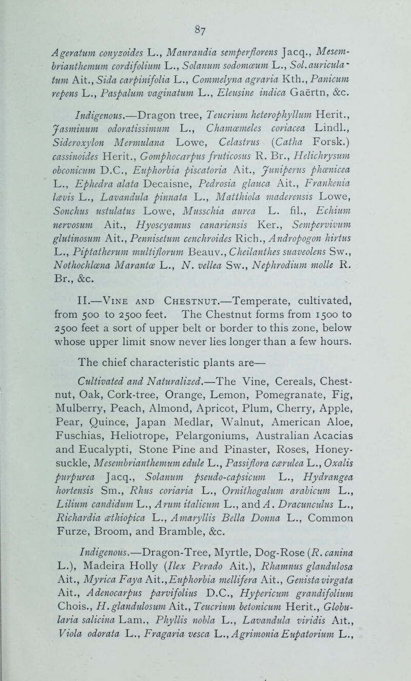 Ageratum conyzoides L., Maurandia semperfiovens Jacq., Mcseni- bvianthemum covdifoliiim L., Solanum sodommim L., Sol.auricula' turn Ait., Sida carpinifolia L., Commdyna agravia Kth., Panicum repens L., Paspahim vaginatum L., Kleusine indica Gaertn, &c. Indigenous.—Dragon tree, Teucrium heterophyllum Herit., Jasminum odoratissimum L., Chamoemeles coriacea Lindl., Sideroxylon Mermulana Lowe, Celastrus {Catha Forsk.) cassinoides Herit., Gomphocarpus fruticos^is R. Br., Helichrysum ohconicum D.C., Euphorbia piscatoria Ait., Juniperus phoenicea L., Ephedra alata Decaisne, Pedrosia glauca Ait., Erankenia IcBvis L., Lavandula pinnata L., Matthiola maderensis Lowe, Sonchus usUilatus Lowe, Musschia aurea L. fil., Echium nervosum Ait., Hyoscyanms canariensis Ker., Sempevvivum glutinosum Ait., Pennisetum cenchroides Rich., Andropogon hirtus L., Piptathenmi muUiflorum Beauv., Cheilanthes suaveolens Sw., Nothochloena Marantoe L., N. vellea Sw., Nephrodium molle R. Br., &c. II.—Vine and Chestnut.—Temperate, cultivated, from 500 to 2500 feet. The Chestnut forms from 1500 to 2500 feet a sort of upper belt or border to this zone, below whose upper limit snow never lies longer than a few hours. The chief characteristic plants are— Cultivated and Naturalized.—The Vine, Cereals, Chest- nut, Oak, Cork-tree, Orange, Lemon, Pomegranate, Fig, Mulberry, Peach, Almond, Apricot, Plum, Cherry, Apple, Pear, Quince, Japan Medlar, Walnut, American Aloe, Fuschias, Heliotrope, Pelargoniums, Australian Acacias and Eucalypti, Stone Pine and Pinaster, Roses, Honey- suckle, Mesembrianthemum edtde L., Passiflora ccvrulea L., Oxalis purpurea Jacq., Solanum pseudo-capsicum L., Hydrangea hortensis Sm., Rhus coriaria L., Ornithogalum arabicum L., Lilium candidum L., Arum italicum L., and A. Dracunculus L., Richardia cethiopica L., Amaryllis Bella Donna L., Common Furze, Broom, and Bramble, &c. Indigenous.—Dragon-Tree, Myrtle, Dog-Rose [R. canina L.), Madeira Holly [Ilex Perado Ait.), Rhamnus glandulosa Ait., Myrica Eay a Aii., Euphorbia mellifera Ait., Genistavirgata Ait., A denocarpus parvifolius D.C., Hypericum grandifolium Chois., H. glandulosum Kii.jTeucrium betonicum Herit., Globu- laria salicina Lam., Phyllis nobla L., Lavandula viridis Ait., Viola odorata L., Fragaria vesca E., Agrimonia Eupatorium L.,