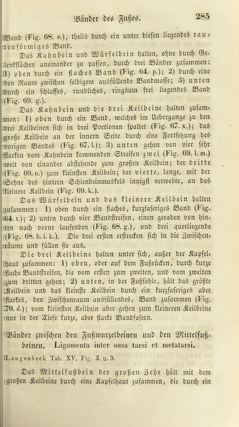 fBatibcv be£ $§uf}c3. S3anb (Fig. 68. e.), ttyeilg burd) ein unter biefen liegenbeg rau* ttenformigeg 33anb. £ag a l) n b e i n unb SBurfetbein fatten, ofyne burd) ©e- lenffldcfyen aneinanber ju paffen, burd) brei SSanber jufammen. II) obcn burdE) ein fl ad) eg ©anb (Fig. 64. p.); 2) burd) eine rbcn 9fflum §n?ifd;en felbigem augfullenbe S3anbmaffe; 3) unten ftttrd; ein fcfylaffcg, runbtidjeg, ringgum frei liegenbeg S3anb I (Fig. 69. g.). £)ag jtal)nbein unb biie brei JSeilbetne fatten jufam- linen: 1) oben burd) ein S3anb, n>cld)eg im Uebergange ju ben rbrei jteilbeinen fid) in brei ^ortionen [pallet (Fig. 67.x.); bag cgrofje ^eilbein an ber innern ©eite burd) eine gortfe^ung beg vnorigen ®anbeS (Fig. 67.1.); 3) unten ge£;en non nier fel)r ftarlen oom jtabnbetn fommenben ©treifen §mei (Fig. 69. l.m.) -roeit non einanber abftefyenbe pm grofen ^eitbein; ber britte i(Fig. 69.n.) pm fleinften Jteilbein; ber oierte, lange, mit ber ^©ebne beg l)intern ©d)ienbeinmugfelg innigjt oermebte, an bag dleinere iteilbein (Fig. 69. k.). Sag SBurfelbein unb bag fleinere iteilbein fatten ipfammen: 1) oben burd) ein flad)eg, fur^faferigeg S3anb (Fig. (64. t.); 2) unten burd) oier SSanbftreifen, einen geraben non i)in= iten nad) oorne laufenben (Fig. 68. g.), unb brei quertiegenbe (Fig. 68. h. i. k.). Sie brei erjten erftreden fid) in bie 3«>ifc£?en= rrdume unb fullen fie aug. Sie brei iteilbeine fatten unter fid), aufier ber ^apfets fjaut pfammen: I) oben, ober auf bem gufirucfen, burd) burp fflad)e S3anbjtreifen, bie oorn erften pm jtoeiten, unb oom pieiten f3um britten gef)en; 2) unten, in ber gu^foble, £?alt bag gropte kKeilbein unb bag fleinfte Seilbein burd) ein fur^faferigeg aber jtarbeg, ben 3roifd)enraum augfullenbeg, S5anb pfammen (Fig. ’70.(1.); nom fleinften iteilbein aber get?en pm Fteineren ^eilbeine mtr tn ber $£iefe furje, aber jtarfe S3anbfafern. SBanber $tt>tfd)en ben gujiimirjelbemcu unb beu SDttttelfufj* betnett. Ligamenta inter ossa tarsi et metatarsi. Langenbeck Tab. XV. Fig. 3. u. 5. Sag SSJtittelfufjbein ber grofsen 3cl)e l)d(t mit bem gropen Jteilbeine burd; eine itapfelijaut pfammen, bie burd; ein