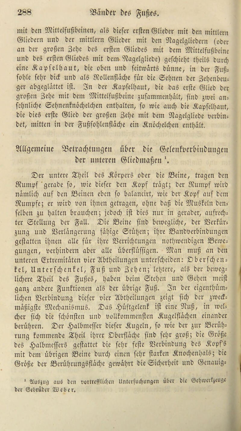 mit ben Sflittetfupbeinen, at3 biefer erften ©tieber mit ben niitttern ©tiebern unb ber mittlern ©tieber mit ben Sftagetgliebcrn (ober an ber gropen 3el)c bc§ erfen ©tiebeS mit bem Mtetfupbeine unb beS erften ©tiebeS mit bem Wagetgtiebe) gefcfyief;t tt;eil§ buret; einc .Kapfetbaut, bie oben unb feitmdrtS bunne, in ber gup; fot;te fetjr bid unb atS 9iotIenftdd;e fur bie ©et;nen ber Bepenbeu; ger abgegldttet ift. 3n ber dbapfetpaut, bie ba§ erfte ©tieb ber gropen 3el>e mit bem TOtetfupbeine jufamment)dlt, ftnb jmei an= febnlidje ©ef)nenfnod;eld)en entfjalten, fo mte and; bie jtapfelt;aut, bie bie§ erfte ©lieb ber gropen 3et;e mit bem 9tagetgliebe t>erbtn= bet, mitten in ber gupfot;tenfIdd)e ein ,£nod;etd)en entl;dtt. 5(dgcmctttc Setvacfdungen fiber bie ©efcufm’bttibungeti ber nuteren ©ftebmajjen *. £>er untere &t;eit be§ dtorperS ober bie Seine, tragen ben 3?umpf 'gerabe fo, roie biefer ben dbopf trdgt; ber Siumpf mirb ndmlid) auf ben Seinen eben fo batancirt, mte ber dtopf auf bem Stumpfe; er roirb pon U;nen getragen, ot;ne bap bie 9)ht3fetn ben; felbcn ju batten braud;en; jebod) ift bieS nur in geraber, aufrcd)= ter ©telliuig ber gall. 2)ie Seine ftnb bemeglid;e, ber Serfiir; §ung unb Sertdngentng fdt;ige ©tu^cn; tyre Sanboerbinbungen geftatten it;nen able fur it;rc Serrid;tungcn notf;menbigen Seme; gungen, oert;inbern aber alle uberflufftgen. 9)tan muf an ben unteren ©rtremitdten pier‘#btt;eilungen unterfd;eiben: Dberftyen; tet, Unterftyenfcl, gup unb 3cl;en; tefctere, a($ ber bemeg; licfere £t;cit be3 gupeS, l;aben bcim ©tet;cn unb ©eben meift ganj anbere gunftionen atS ber ubrtge gup. 3n ber eigentyunt; lid;en Serbinbung biefer pier 2lbtl;eilungen jeigt fid; ber jmed; mdpigfte 9Jted)ani§mu§. £>a§ Jpuftgetenf if eine S^up, in met; cber fid; bie fd;onften unb pollfommenften jtugelfldcben einanber berut;rcn. £)er £atbmeffer biefer dtugcln, fo mie ber jur Sertty; rung fomtnenbe £t;eit tbrer £)berfldd;e ftnb fe(;r grop; bie ©rope be§ .IpalbmefferS geftattet bie fet;r feftc Serbitibung be$ -ftopf’3 mit bent ubrigen Seine burd; einen fet;r ftarfen dtnocbenbaB; bie ©rope ber Scru(;rungSfIad;e gemat;rt bie ©id;ert;eit unb ©enauig* 1 OtuSjug aufi ben fortrefftidjen Unterfuctjungen tiOev bie ©ctpvcvfjcugc ber ©ebruber 2Bebcr,