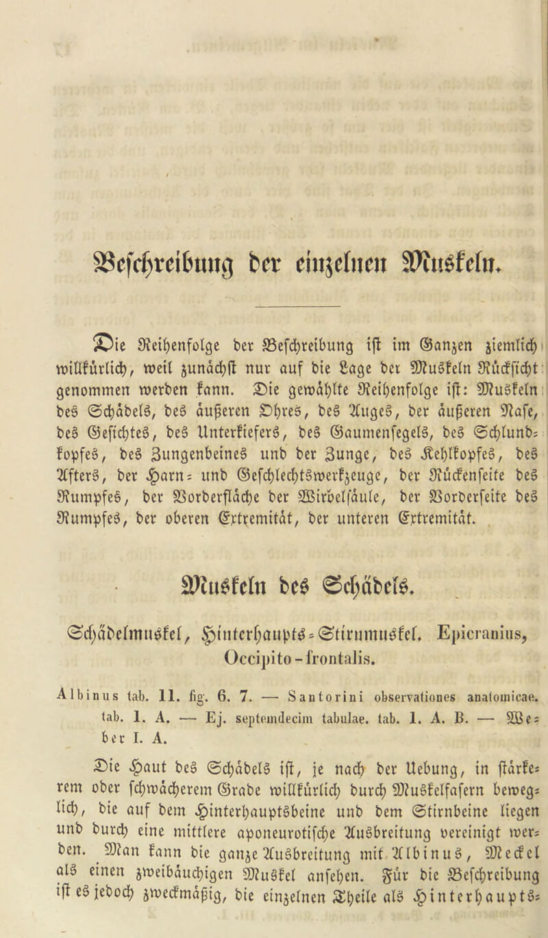 SSefcfireibtutg ter einjelneu $!)utsfc(it. ©ie 3?eiljenfolge ber S3efd)teibung ift im ©anjen jiemlidfo votUfurltd), weil junad)ft nut auf bte Sage bet SKuSfeln 9?ucfficf)t genommen rcerben fann. £)ie geroafylte Steiljenfolge ift: 5D?uSfe(n bes ©d)dbeb, be§ duperen £>f)te$, be§ 2Cuge§, bet duperen sJiafe, beS ©efidjteS, bet? Urtterfiefer6, beS ©aumenfegeb, be$> ©cfylunb; fopfeS, bes> 3ungenbeine§ unb bet 3ungc, beS .KefylfopfeS, be$> TffterS, bet £arn = unb ©efdjlecfybwerfjeuge, bet 3tucfenfeife beS 9tumpfe§, bet SSorberflacbe ber SBitbelfdute, bet SSorberfeite be3 9?umpfe$, bet obeten ©rttemitdt, ber unteren (Sjrtremitdt. 2ftu$fcln bc$ 0tf>abci£. ©rf)dbefmtbfel, §inter()aupt£* ©ttnimuSfcf. Epicranius, Occipito-frontalis. Albinus tab. 11. fig. 6. 7. — Santorini observationes anatomicae. tab. 1. A. — Ej. septemdecim tabulae, tab. 1. A. B. — 9Bes bet I. A. 2Me £aut be§ ©djdbeb ift, je nadb bet Uebung, in ftdrfe= rem obet fd;wad?erem ©tabe nnllfurlid) burd) SJJuSfelfafetn beroegs lid), bie auf bern £interl)aupbbeine unb bem ©tirnbeine liegen unb burd) eine mittlere aponeurotifdje 2tu3breitung uereinigt n>er= ben. 2)?an fann bie gan$e Ttibbreitung mit TUbinuS, DJtecfel ab einen jtt)eibdud)igen SJtuSfel anfe!)cn. §ut bie 33efd)reibung iffeSiebocf) jbeefmapig, bie einjelnen £l)eile ab Jpintcrl)aupt3s