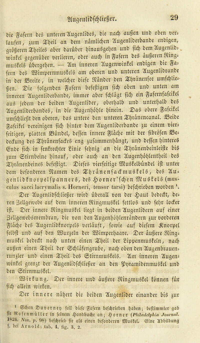 ^Ugcnfrbfcfyttejjei*. tie gafern beg unteren 'tfugenlibcg, bte nad; aupcn unb oben tiers (aufen, gum STfyeit an bem ndmlicfcn -Jiugenliberbanbe enbigen, grbfjercn $£i;ei(eg aber barubcr l;inaugget;en unb fid) bem tfugcnltb*. winfel gcgenuber tierlteren, ober aud; in gafern beg auferen 3vtng= muSfelS ubergefyett. — 2Cm inneren tfugemoinfel enbigen bie gas fern beg SBimpernmugfelg am oberen unb unteren '^ugenlibranbe in ber SSreite, in roetd;er biefe Sidnbcr ben &i;rdnenfec utnfd;lies- fen. £>ie folgcnben gafern befeftigcn fid; oben unb unten am inneren 2fugenliberbanbe, immer aber fd)(dgt fid; ein gafernfafcifel au§ jebem ber beiben tfugenliber, obert;alb unb unterfalb beg 2Cugenlibcrbanbeg, in bie 2tugeni;6i;lc l;inein. £)ag obere gafcifei umfcfylieft ben oberen, bag unterc ben unteren a^rdnencanal. S3eibe gafcifet tiereinigen fid; binter bem ^ugenliberbanbe gu einem titers feitigen, flatten SBunbel, beffen innere gldd;e mit ber ftbrofen 33es bed'ung beg $£l;ranenfacfeg eng gufammen(;dngt, unb beffen Ijintereg (?nbe fid; in fenfrecfter £inie fel;nig an bie Sfrdnenbeinleifte big gum ©tirnbeine I;inauf, ober aud; an ben 2Cugcnf;6i;lenti;eit be§ 5£t)rdnenbeineg befejiigt. £>iefeg tiierfeitige SKugfetbunbel iff unter bem befonberen 9?amen beg 5Ef)tdnenfa(fmttgfelg, beg us genlibfnorpetfpannerg, beg ^>orner’fd)en SDtugfelg (mus- culus sacci lacrymalis s. Horneri, tensor tarsi) befdyrieben roorben \ £)er Kugenlibfcbiiefer roirb ubcrall tion ber £>aut bebecft, bes ren 3ellgeroebe auf bem inneren Siingmugfel fettlog unb fe(;r tocfer iff. £)er innere Siingmugfel liegt in beiben 2lugenlibern auf einer Seligemebomembran, bte tion ben 2tugenl;6f)lenrdnbern gur oorberen g(dd;e beg 2iugenlibfnorpctg tiertduft, foroie auf biefem ^nor^el felbft unb auf ben SBurgein ber SBimperpaare. £)er dttfere Swings mugfel bebedt nad; unten einen £l;eit ber Sippenntugfein, nad; aufen einen £i;ei( ber ©d;ldfengrube, nad; oben ben 2(ugenbrauens rungter unb einen £i;eil beg ©tirnmugfeig. 2fm inneren “tfugenj winfel grengt ber 2lugenlibfd)(tefer an ben $Pi;ramibenmugfel unb ben ©tirnmugfel. SBirfung. £)er innere unb dupere Siingmugfel fonnen fur fid; allein toirfen. £)er innere ndfert bie beiben 2lugenliber einanber big gur 1 ©ebon ®ut>ernet) folt bicfc gafern befcfyrieben tjaben; beftimmter ga6 fte Stofenmutter in feinem epanbbucfye an; epotnet (Philadelphia Journal. 3824. Nov. j>. 98) befdjrieb fie ats einen befonberen SDiuStet. (Sine 2(bbilbung f. bet* Arnold; tab. 4. lig. 3, 2.