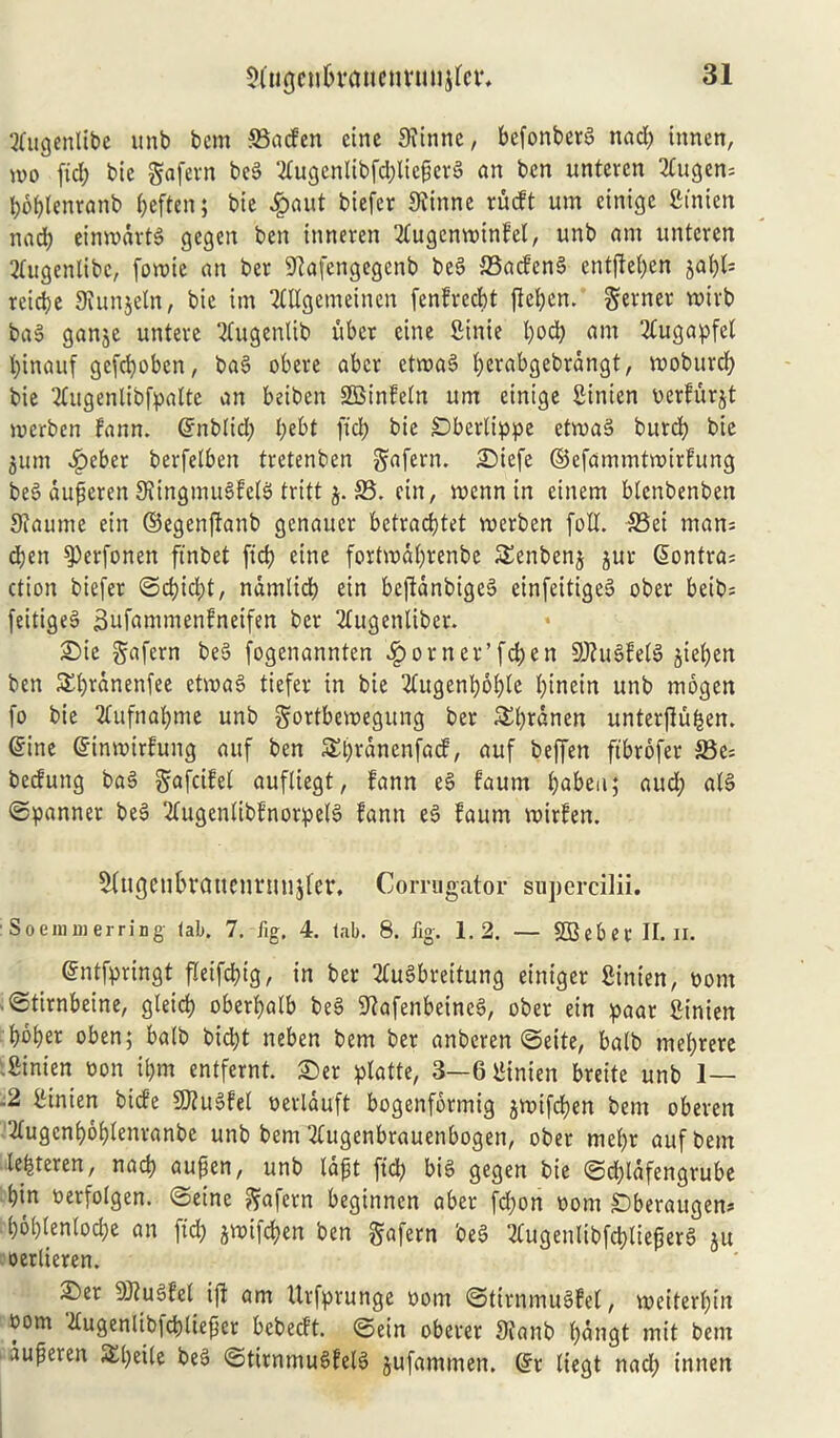 tfugenlibe unb bem 23aden cine Stinne, bcfonberg nad; tnnen, n>o fid; bte gafern beg 2Cugenlibfd;liegerg an ben untercn 2Cugen= bbbfenranb i;eften; bte ipaut biefcr Sfinne rudt um einige ftt'nten nad; einrodrtg gegen ben tnneren 2fugenwinfel, unb am untercn tfugentibc, foroie an ber Sftafengegenb beg 23adeng cntfie(;en jabl* reicbe Siunjeln, bie tin Sttlgemeinen fenfrecbt flet;en. gerner voivb bag ganjc unteve 'dugenlib fiber cine fiinie l;od; ant 2£ugapfeb bincutf gefcboben, bag obeve abcr etmag fyerabgebrangt, mobuvd; bie Tbitgenlibfpalte an beiben SBinfetn um cinige Sinicn ocrfurjt merben fann. Gnibttd; I;ebt fid) bie Dbertippe etwag burd; bie $um £eber berfetben tretenben gafern. £)icfe ©efammtroirfung beg dujteren 3?ingmugfe(g tritt j. 23. cin, roenn in eiitem btcnbenben Siaume ein ©egenftanb gcnaucr bctrad)tet roerben foil. 23ei tnan= d)en fPerfonen ffnbet ftd; etne fortmdbrenbe Senbenj jur Contra? ctiott biefer Sd)id)t, ndmtidb ein bcftdnbigeg einfeitigeg ober beib= feitigeg Sufantmenfneifen ber 2tugentiber. £>ie gafcrn beg fogenannten $orner’fd;en 9J?ugfe(g jteben ben SEljranenfee etroag tiefer in bie 2fugenb6bie I;incin unb mogen fo bie 2fufnal;me unb gortbemegung ber 3d;^nen unterffuben. ©ine ©inmirfung auf ben £l;rdncnfad, auf beffen ftbrofer 25e= beduttg bag gafcifet auftiegt, fann eg faurn bjabeu; and; atg Spanner beg 2(ugenlibfnorpelg fann eg faum roirfen. ^(ngetibvonenrnujler, Corrugator snpercilii. Soeinuierring tab. 7. fig, 4. tab. 8. fig. 1.2. — 28eberII.il. ©ntfpringt fleifdpg, in ber 2fugbreitung einiger Sinien, oont • Stirnbeine, gleicb oberbatb beg ^afenbetncg, ober ein paar ginien bober oben; balb bid;t neben bem ber anberen Seite, balb mel;rere .Sinten non il;m entfernt. £)er platte, 3—6 iiinien breite unb 1— -2 SHnten bide Sttugfel oerlauft bogenfbrmig jmifcben bem oberen 2(ugcnb6btenranbe unb bem Tfugenbrauettbogen, ober mel;r auf bem tefjteren, nad) aufien, unb Idfit ftd; big gegen bie Sd;ldfengrube bin oerfolgen. Seine ftafcrn beginnen aber fd;on oont SDberaugen* b6l)ien(od;e an ftd; jmifdjen ben gafern beg Ttugenlibfcbtiefierg m oerlieren. 2)er DJiugfel ift am Urfprunge oom Stirnmugfet, meiterl;in oom dugenlibicpliefier bebedt. Setn oberer 9ianb l;angt mit bem dupeten £l;eite beg Stirnmugfelg gufamnten. ©r tiegt nad; tnnen