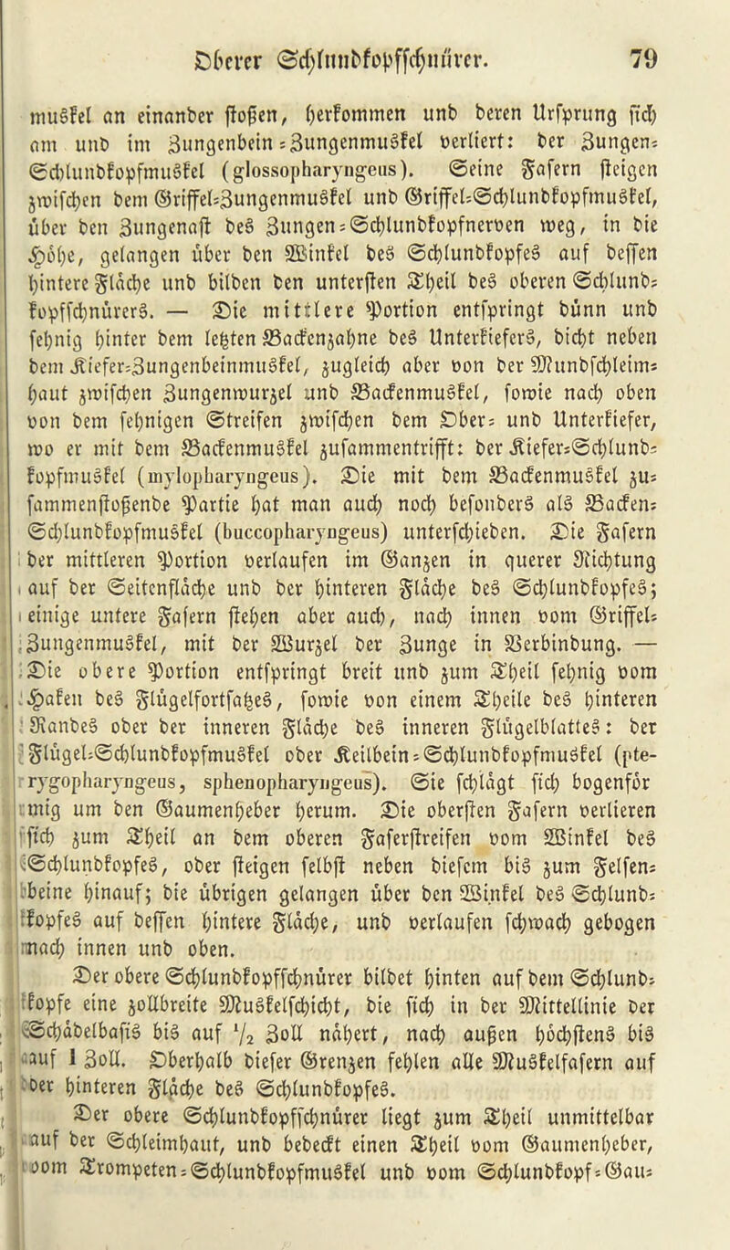 muSfel an einanber fto^cn r ()erfommen unb beren Urfprung fid) am unb im Bungenbein =3ungenmugfet tterliert: ber Bungen* ©dEunbfopfmugfel (glossopharyngens). ©eine gafern jfeigcn jwifcfycn beni ©riffeEBungenmugfel unb ©riffet=©ct)lunbfopfmugl:el, fiber ben Bungenajf beg 3ungen = ©cf)lunbfopfnemn meg, in bie ,£>b()e, gelangen fiber ben SBinfct beg ©cfylunbfopfeg auf beffen fyintere glactje unb bilbcn ben unterfien S£l)eil beg oberen ©dEunb; Fopffcfynurerg. — £)ie mittlere portion entfpringt bunn unb fefynig Winter bem lenten ©acfenjafyne beg Enterftefcrg, bid)t neben bent Jtiefer^ungenbeinmugfel, jugleid) aber won ber 9)?unbfcf)leim* fjaut jmifdjen Bungenmur^el unb ©acfenmugfel, fomie nad) oben won bem fefynigen ©treifen jmtfdjen bem SDbers unb Unterfiefer, mo ev mit bem SSacfenmugfel jufammentrifft: ber JUefer*©cf)lunbs fopftnugfel (mylopharyngeus). £)ie mit bem SBacfenmugfel ju= fammenfiofjenbe fPartie l)at man aud) nod) befonberg alg SSacfen; ©d)lunbfopfmugfel (buccopharyngeus) unterfd)ieben. £>ie 5afttn ber mittleren portion oerlaufen im ©anjen in querer 9iid)tung auf ber ©ettenfldcfye unb bcr fjinteren §ldd)e beg ©djlunbfopfeg; leinige untere gafern fieljen aber aud), nad) innen oom ©riffeU • Bungenmugfel, mit ber SBurjel ber Bunge in S3erbinbung. — £>ie obere portion entfpringt breit unb jum S^^eit fetjnig oom .#afen beg glugelfortfafjeg, fomie non einem 5£l)eile beg pinteren SKanbeS ober ber inneren gldcbe beg inneren gtugelblatteg: ber ;§lugelj©d)lunbfopfmugfet ober jteilbein'-©d)lunbfopfmugfel (pte- ryg°pbaryngeus, sphenopbaryngeus). ©ie fdjldgt fief) bogenfbr mig urn ben ©aumenljeber i)erum. 25ie oberffen gafern oerlieren fid) jum £f)eil an bem oberen gaferftreifen oom SBtnfel beg i©d)lunbfopfeg, ober ffeigen felbjf neben biefetn big gum gelfens beine f;inauf; bie ubrigen gclangen fiber ben 23 inf el beg ©cblunb: fopfeg auf beffen l)intere glddje, unb oerlaufen fctjmad) gebogen mad) innen unb oben. £>er obere ©d)lunbfopffrf)nurer btlbet Ijinten auf bem ©djlunb* fopfe eine goEbreite 3ftugfelfd)id)t, bie fid) in ber SRittellinie ber <Sci)dbelbafig big auf % BoE ndl)ert, nacl) aufjen l)6d)fteng big auf 1 BoE. £)berl)alb biefer ©rengen fef)len aEe SJiugfelfafern auf Der !)interen Jladje beg ©d)lunbfopfeg. £>er obere ©cf)lunbfopffcf)nurer liegt gum 3E)eil unmittelbar auf ber ©ctjletmbaut, unb bebeeft einen SS^eit oom ©aumenfyeber, loom ^rompeten = ©d)lunbfopfmugfel unb oom ©<f)lunbfopf=©aus