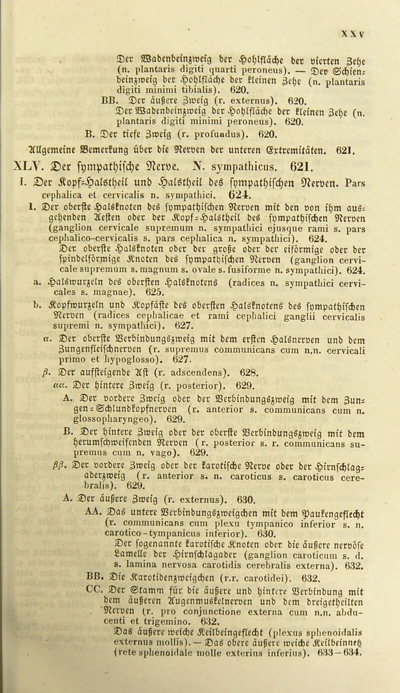 2) et: SBabenbctniwetg ber ber tjicrten 3ef)e (n. plantaris digiti ^uarti peroneus). — ®etf @d)fcn; beinjrodg bee ^o^lfldcl)e ber bletnen 3e^c (n. plantaris digiti minimi tibialis). 620. BB. 35ct dufere (r- externns). 620. 5)ec aBabenbeinpeig ber Jpo^lfldcl)e ber fleinen 3e:^e (n. plantaris digiti minimi peroneus). 620. B. ®er tiefe 3‘®etg (r. profundus). 620. 2fUgemcinc S3emer!ung fiber bie S^eroen ber unteren ©ptremttdten. 621. XLY. ^er fpmpatl^ifdje 9ierwe. N. sympathicus. 621. I. Sec .^opf:^rtteSt^eit unb ^al9tt)eti beg fpmpat^ifc^en D^ccbcn. Pars cephalica et cervicalis n. sympathici. 624. 1. S)er oberjle JpalSEnoten beg fpmpatbifd)en 9leruen mit ben con tbm au§: ge^enben 2fe|len ober ber .Sopfiv^algtbeit beg fpmpatbifcfien S^eroen (ganglion cervicale supremum n. sympathici ejusque rami s. pars ceplialico-cervicalis s. pars cephalica n. sympathici). 624. £)er oberfie ^algJnoten ober ber groge ober ber eiformtge ober ber fpinbelfbrmige .Snoten beg fpmpatbtfcfeen S^eroen (ganglion cervi- cale supremum s. magnums, ovale s. fusiforme n. sympathici). 624. a. J^algrcurjeln beg oberjien epalgfnoteng (radices n. sympathici cervi- cales s. magnae). 625. b. .S^opfmurieln unb .topfdjie beg obertien ^algfnoteng beg fpmpatl)tfd)en 5ieroen (radices cephalicae et rami cephalici ganglii cervicalis supremi n. sympathici). 627. «. 35er oberjte ffierbinbunggjmeig mif bem erflen Jg)algneroen unb bem 3ungenfIetfd)neroen (r. supremus communicans cum n.n. cervicali prime et hypoglosso). 627. 23er aufjietgenbe 2f|l (r. adscendens). 628. ««. 2)er bintere 3>t)eig (r. posterior). 629. A. 2)er oorbere 3metg ober ber 58erbinbunggjweig mit bem 3un; gen:@d)£unbEopfnert)en (r. anterior s. communicans cum n. glossopharyngeo). 629. B. 33er t)intere 3>reig ober ber oberjte SSerbinbunggjwetg mit bem Iierumfdbmeifenben Steroen (r. posterior s. r. communicans su- premos cum n. vago). 629. 35er oorbere 3metg ober ber Earotifdbe Steroe ober ber Jptrnf^rag; oberjmeig (r. anterior s. n. caroticus s. caroticus cere- bralis). 629. A. ®er dugere 3t®eig (r. externus). 630. AA. 2)ag untere 23erbtnbunggjmeigd)en mit bem ^auEengeflec^t (r. communicans cum plexu tympanico inferior s. n. carotico-tympanicus inferior). 630. 3) er fogenannte Earotifehe .Knoten ober bie dufere neroofe fiamelle ber JptrnfcblagQber (ganglion caroticum s. d. s. lamina nervosa carotidis cerebralis externa). 632. BB. ®ie .Sarotibenjweigcl)en (r.r. carotidei). 632. CC. ®er ©tamm ffir bie dupere unb l)intere ffierbtnbung mit bem duperen Tfugenmugfelneroen unb bem brefgetljeiltcn Steroen (r. pro conjunctione externa cum n.n. ahdii- centi et trigemino. 632. ®flg dupere meiefie .Keilbeingefledbt (plexus sphenoidalis externus mollis). — ®ag oberc dupere metdbe j:eilbeinntfe (rete sphenoiilale molle exterius inferius). 633 — 634.