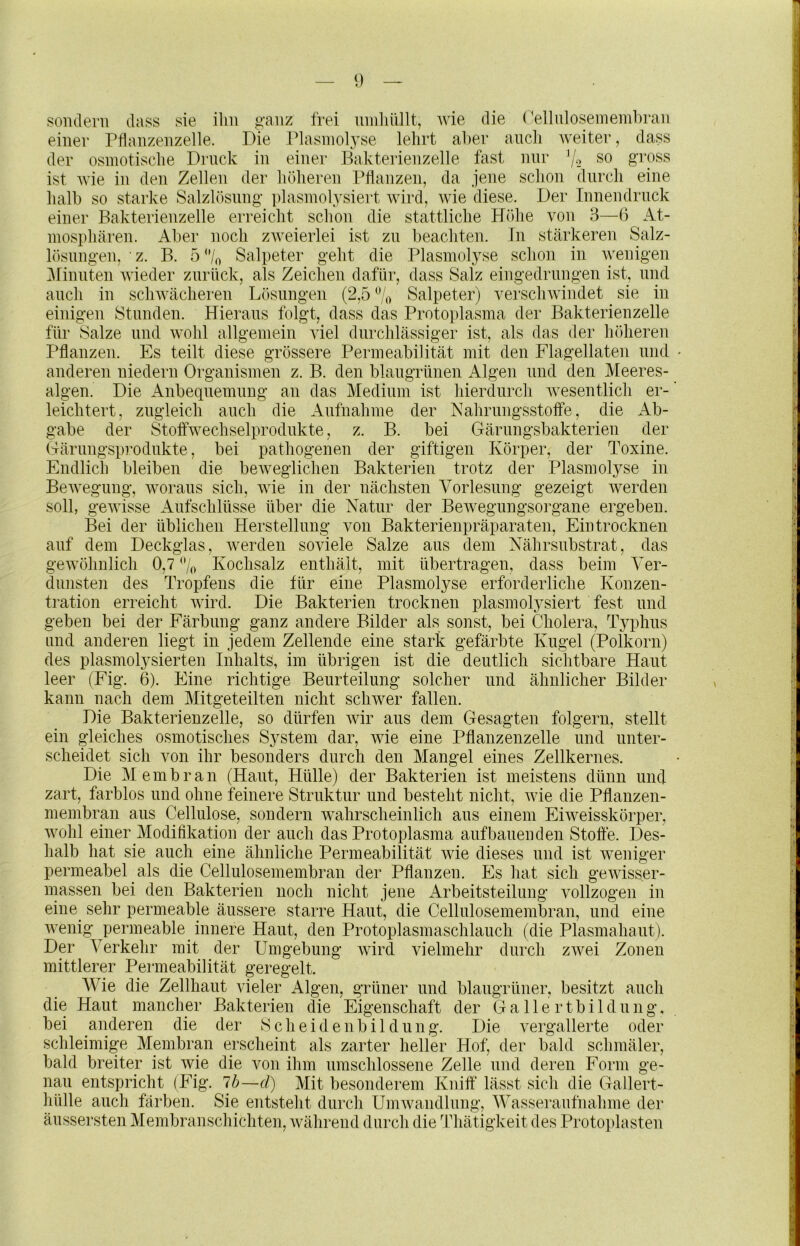 sondern dass sie ihn g'anz frei nniliüllt, wie die (^ellnlosemembran einer PHanzenzelle. Die riasniol3^se lehrt aber auch weiter, dass der osmotische Druck in einer Bakterienzelle fast nur 7-2 so gross ist wie in den Zellen der höheren Pflanzen, da jene schon durch eine halb so starke Salzlösung plasinolysiert wird, wie diese. Der Innen druck einer Bakterienzelle erreicht schon die stattliche Höhe von 3—ß At- mosphären. Aber noch zweierlei ist zu beachten. Tn stärkeren Salz- lösungen, • z. B. 5 *7o Salpeter geht die Plasmolyse schon in wenigen iMinnten wieder zurück, als Zeichen dafür, dass Salz eingedrungen ist, und auch in schwächeren Lösungen (2,5 % Salpeter) verschwindet sie in einigen Stunden. Hieraus folgt, dass das Protoplasma der Bakterienzelle für Salze und wohl allgemein viel durchlässiger ist, als das der Ihdieren Pflanzen. Es teilt diese grössere Permeabilität mit den Flagellaten und anderen niederii Organismen z. B. den blangrünen Algen und den Meeres- algen. Die Anbeqnemung an das Medium ist hierdurch wesentlich er- leichtert, zugleich auch die Aufnahme der Hahrungsstoffe, die Ab- gabe der Stoffwechselprodnkte, z. B. bei Gärungsbakterien der Gärnngsprodnkte, bei pathogenen der giftigen Körper, der Toxine. Endlich bleiben die beweglichen Bakterien trotz der Plasmolyse in Bewegung, woraus sich, wie in der nächsten Vorlesung gezeigt werden soll, gewisse Aufschlüsse über die Natur der Bewegungsorgane ergeben. Bei der üblichen Herstellung von Bakterienpräparaten, Ein trocknen auf dem Deckglas, werden soviele Salze aus dem Nährsubstrat, das gewöhnlich 0,7 % Kochsalz enthält, mit übertragen, dass beim Ver- dunsten des Tropfens die für eine Plasmolyse erforderliche Konzen- tration erreicht wird. Die Bakterien trocknen plasmol3^siert fest und geben bei der Färbung ganz andere Bilder als sonst, bei Cholera, Typhus lind anderen liegt in jedem Zellende eine stark gefärbte Kugel (Polkorn) des plasmolysierten Inhalts, im übrigen ist die deutlich sichtbare Haut leer (Fig. 6). Eine richtige Beurteilung solcher und ähnlicher Bilder kann nach dem Mitgeteilten nicht schwer fallen. Die Bakterienzelle, so dürfen wir aus dem Gesagten folgern, stellt ein gleiches osmotisches System dar, wie eine Pflanzenzelle und unter- scheidet sich von ihr besonders durch den Mangel eines Zellkernes. Die Membran (Haut, Hülle) der Bakterien ist meistens dünn und zart, farblos und ohne feinere Struktur und besteht nicht, wie die Pflanzen- membran aus Cellulose, sondern wahrscheinlich aus einem Eiweisskörper, Avohl einer Modifikation der auch das Protoplasma auf bauen den Stoffe. Des- halb hat sie auch eine ähnliche Permeabilität wie dieses und ist weniger permeabel als die Cellulosemembran der Pflanzen. Es hat sich gewisser- massen bei den Bakterien noch nicht jene Arbeitsteilung vollzogen in eine^ sehr permeable äussere starre Haut, die Cellulosemembran, und eine Avenig permeable innere Haut, den Protoplasmaschlauch (die Plasmahaut). Der Verkehr mit der Umgebung Avird vielmehr durch zAvei Zonen mittlerer Permeabilität geregelt. Wie die Zellhaut vieler Algen, grüner und blaugrüner, besitzt auch die Haut mancher Bakterien die Eigenschaft der Gallertbildung, bei anderen die der Scheidenbildung. Die A^ergallerte oder schleimige Membran erscheint als zarter heller Hof, der bald schmäler, bald breiter ist Avie die Amn ihm umschlossene Zelle und deren Form ge- nau entspricht (Fig. Ib—d) Mit besonderem Kniff' lässt sich die Gallert- hülle auch färben. Sie entsteht durch UniAvandlung, Wasseraufnahme der äussersten Membranschichten, Avährend durch die Thätigkeit des Protoplasten