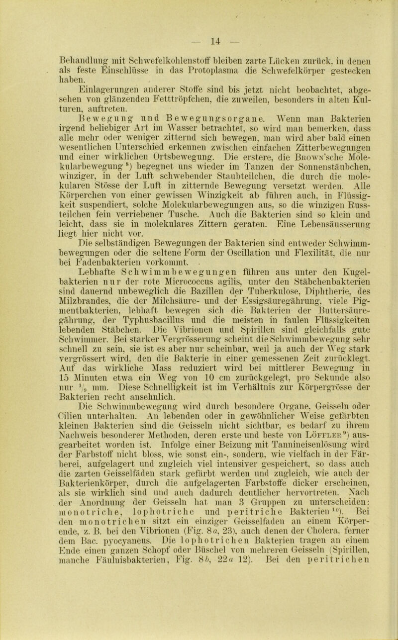 Beliandlmig- mit Scliwefelkoiilenstolf bleiben zarte Lücken zurück, in denen als feste Einschlüsse in das Protoplasma die Scliwefelkörper gestecken haben. Einlagerungen anderer Stoffe sind bis jetzt nicht beobachtet, abge- sehen von glänzenden Fetttröpfclien, die zuweilen, besonders in alten Kul- turen, auftreten. B e w e g u n g und B e w e g u n g s o r g a n e. Wenn man Bakterien irgend beliebiger Art im AVasser betrachtet, so wird man bemerken, dass alle mehr oder weniger zitternd sich bewegen, man wird aber bald einen wesentlichen Unterschied erkennen zwischen einfachen Zitterbewegungen und einer wirklichen Ortsbewegung. Die erstere, die BuowN’sche Mole- kularbewegung begegnet uns wieder im Tanzen der Sonnenstäubchen, winziger, in der Luft schwebender Staubteilchen, die durch die mole- kularen Stösse der Luft in zitternde Bewegung versetzt werden. Alle Körperchen von einer gewissen AVinzigkeit ab führen auch, in Flüssig- keit suspendiert, solche Molekularbewegungen aus, so die winzigen Russ- teilchen fein verriebener Tusche. Auch die Bakterien sind so klein und leicht, dass sie in molekulares Zittern geraten. Eine Lebensäusserung liegt hier nicht vor. Die selbständigen BeAvegungen der Bakterien sind entweder Sclnvimm- beAvegungen oder die seltene Form der Oscillation und Flexilität, die nur bei Fadenbakterien vorkommt. Lebhafte SchwimmbeAvegungen führen aus unter den Kugel- bakterien nur der rote Micrococcus agilis, unter den Stäbchenbakterien sind dauernd unbeweglich die Bazillen der Tuberkulose, Diphtherie, des Milzbrandes, die der Milchsäure- und der Essigsäuregährung, viele Pig- mentbakterien, lebhaft bewegen sich die Bakterien der Buttersäure- gährung, der Typhusbacillus und die meisten in faulen Flüssigkeiten lebenden Stäbchen. Die Vibrionen und Spirillen sind gleichfalls gute ScliAAdmiiier. Bei starker Vergrösserung scheint die ScliAvimmbeAvegung sehr schnell zu sein, sie ist es aber nur scheinbar, weil ja auch der AA^eg stark vergrössert Avird, den die Bakterie in einer gemessenen Zeit zurücklegt. Auf das wirkliche Mass reduziert Avird bei mittlerer BeAvegung in 15 Almuten etwa ein AAeg von 10 cm zurückgelegt, ])ro Sekunde also nur hfl mm. Diese Schnelligkeit ist im A^erhältnis zur Körpergrösse der Bakterien recht ansehnlich. Die ScliAvimmbewegung wird durch besondere Organe, Geisse! n oder Oilien unterhalten. An lebenden oder in geAvöhnlicher AA'eise gefärbten kleinen Bakterien sind die Geissein nicht sichtbar, es bedarf zu ihrem NacliAA^eis besonderer Alethoden, deren erste und beste von Löfflek aus- gearbeitet worden ist. Infolge einer Beizung mit Tannineisenlösung AAÜrd der Farbstoff nicht bloss, Avie sonst ein-, sondern, Avie Adelfach in der Fär- berei, aufgelagert und zugleich viel intensiver gespeichert, so dass auch die zarten Geisselfäden stark gefärbt Averden und zugleich, Avie auch der Bakterienkörper, durch die aufgelagerten Farbstoffe dicker erscheinen, als sie Avirklich sind und auch dadurch deutlicher hervortreten. Nach der Anordnung dei‘ Geissein hat man 3 Gruppen zu unterscheiden: monotriche, 1 o p h o t r i c h e und p e r i t r i c h e Bakterien ^ ^’). Bei den monotrichen sitzt ein einziger Geisselfäden an einem Körper- ende, z. B. bei den Adbrionen (Fig. 8 a, 23), auch denen der Cholera, ferner dem Bac. pyocyaneus. Die lopho tri dien Bakterien tragen an einem Ende einen ganzen Schopf oder Büschel von mehreren Geisseln (Spirillen, manche Fäulnisbakterien, Fig. Hh, 22a 12). Bei den peritriehen