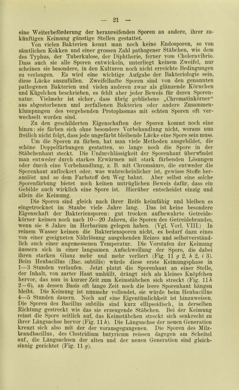 J — 21 - eine Weiterbeförderung der heranreifenden Sporen an andere, ihrer zu- künftigen Keimung günstige Stellen gestattet. Von vielen Bakterien kennt man noch keine Endosporen, so von sämtlichen Kokken und einer grossen Zahl pathogener Stäbchen, wie dem des l\vphus, der Tuberkulose, der Diphtherie, ferner vom Choleravibrio. Dass auch sie alle Sporen entwickeln, unterliegt keinem Zweifel, nur scheinen sie besondere, in den Kulturen noch nicht erreichte Bedingungen zu verlangen. Es Avird eine wichtige Aufgabe der Bakteriologie sein, diese Lücke auszufüllen. Zweifelhafte Sporen sind von den genannten pathogenen Bakterien und vielen anderen zwar als glänzende Körnchen und Kügelchen beschrieben, es fehlt aber jeder Beweis für deren Sporen- natur. Vielmehr ist sicher, dass übrig gebliebene „Chromatinkörner“ ans abgestorbenen und zerfallenen Bakterien oder andere Zusammen- klumpungen des vergehenden Protoplasmas mit echten Sporen oft ver- Avechselt worden sind. Zu den geschilderten Eigenschaften der Sporen kommt noch eine hinzu: sie färben sich ohne besondere Vorbehandlung nicht, woraus nun freilich nicht folgt, dass jede ungefärbt bleibende Lücke eine Spore sein muss. Um die Sporen zu färben, hat man viele Methoden ausgebildet, die schöne Doppelfärbungen gestatten, so lange noch die Spore in der Stäbchenhaut steckt. Die Undurchlässigkeit der Sporenhaut übervlndet man entweder durch starkes Erwärmen mit stark färbenden Lösungen oder durch eine Vorbehandlung, z. B. mit Cliromsäure, die entweder die Sporenliaut auflockert oder, was Avahrscheinlicher ist, geAvisse Stoffe her- auslöst und so dem Farbstoff den Weg bahnt. Aber selbst eine solche Sporenfärbung bietet noch keinen untrüglichen Beweis dafür, dass ein Gebilde auch Avirklich eine Spore ist. Hierüber entscheidet einzig und allein die Keimung. Die Sporen sind gleich nach ihrer Eeife keimfähig und bleiben es eingetrocknet im Staube viele Jahre lang. Das ist keine besondere Eigenschaft der Bakteriensporen: gut trocken aufbeAvahrte Getreide- körner keimen noch nach 10—20 Jahren, die Sporen des Getreidebrandes, wenn sie 8 Jahre im Herbarium gelegen haben. (Vgl. Vorl. VIII.) In reinem Wasser keimen die Bakteriensporen nicht, es bedarf dazu eines von einer geeigneten Nährlösung ausgehenden Eeizes und selbstverständ- lich auch einer angemessenen Temperatur. Die Vorstufen der Keimung äussern sich in einer langsamen Aufschwellung der Spore, die dabei ihren starken Glanz mehr und mehr verliert (Fig. 11 g 2, h 2, i 3). Beim Heubacillus (Bac. subtilis) würde diese erste Keimungsphase in 1—3 Stunden verlaufen. Jetzt platzt die Sporenhaut an einer Stelle, der Inhalt, von zarter Haut umhüllt, drängt sich als kleines Knöpfchen hervor, das nun in kurzer Zeit zum Keimstäbchen sich streckt (Fig. 11h 2 — 6), an dessen Basis oft lange Zeit noch die leere Sporenhaut hängen bleibt. Die Keimung ist nunmehr vollendet, sie Avürde beim Heubacillus 4—5 Stunden dauern. Noch auf eine Eigentümlichkeit ist hinzuAveisen. Die Sporen des Bacillus subtilis sind kurz ellipsoidisch, in derselben Eichtling gestreckt AAÜe das sie erzeugende Stäbchen. Bei der Keimung reisst die Spore seitlich auf, das Keimstäbchen streckt sich senkrecht zu ihrer Längsachse hervor (Fig. 11 h). Die Längsachse der neuen Generation kreuzt sich also mit der der vorausgegangenen. Die Sporen des Milz- brandbacillus, des Clostridium butyricum reissen dagegen am Scheitel auf, die Längsachsen der alten und der neuen Generation sind gleich- sinnig gerichtet (Fig. 11 g).