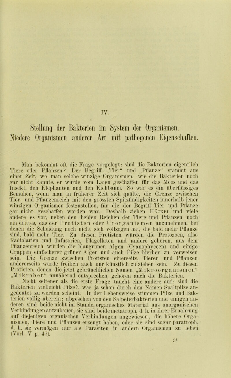 8telhm(( der Rakteiieii im System der Oitjaiiismeii. Niedere Oriiaiiismeii aiidei'er Art mit i)atlio(jeneii Eigenschaften. Man bekommt oft die Frage vorgelegt: sind die Bakterien eigentlich Pflanzen ? Der Begrilf ,/Iher“ und „Pflanze“ Tiere oder einer Zeit. und „Pflanze“ stammt ans wo man solche winzige Organismen, wie die Bakteiien noch gar nicht kannte, er wurde vom Laien geschaffen für das Moos und das Insekt, den Elephanteu und den Eichbaum. So Avar es ein überflüssiges Bemühen, Avenn man in früherer Zeit sich quälte, die Grenze zAvischen Tier- und Pflanzenreich mit den grössten Spitzfindigkeiten innerhalb jener AA'inzigen Organismen festzustellen, für die der Begrilf Tier und Pflanze gar nicht geschaffen Avorden war. Deshalb ziehen Hackel und viele andere es vor, neben den beiden Reichen der Tiere und Pflanzen noch ein drittes, das der Protisten oder U r o r g a n i s m e n anzunehmen, bei denen die Scheidung noch nicht sich vollzogen hat, die bald mehr Pflanze sind, bald mehr Tier. Zu diesen Protisten würden die Protozoen, also Radiolarien und Infusorien, Flagellaten und andere gehören, aus dem Pflanzenreich würden die blaugrünen Algen (C3mnophyceen) und einige Gruppen einfacherer grüner Algen und auch Pilze hierher zu verAveisen sein. Die Grenze zAvischen Protisten einerseits, Tieren und Pflanzen andererseits würde freilich auch nur künstlich zu ziehen sein. Zu diesen Protisten, denen die jetzt gebräuchlichen Namen „Mikroorganismen“ „Mikroben“ annähernd entsprechen, gehören auch die Bakterien. Nicht seltener als die erste Frage taucht eine andei'e auf: sind die Bakterien vielleicht Pilze?, Avas ja schon durch den Namen Spaltpilze an- gedeutet zu Averden scheint. In der Lebensweise stimmen Pilze und Bak- terien völlig überein; abgesehen von den Salpeterbakterien und einigen an- deren sind beide niclit im Stande, organisches Material aus uiiorgauischen Verbindungen aufzubauen, sie sind beide metatroph, d. h. in ihrer Ernähi'ung auf diejenigen organischen Verbindungen angeAviesen, die höhere Orga- nismen, Tiere und Pflanzen erzeugt haben, oder sie sind sogar i)aratroi)h, d. h. sie vermögen nur als Parasiten in andern Organismen zu leben (Vorl. V p. 47). 8*