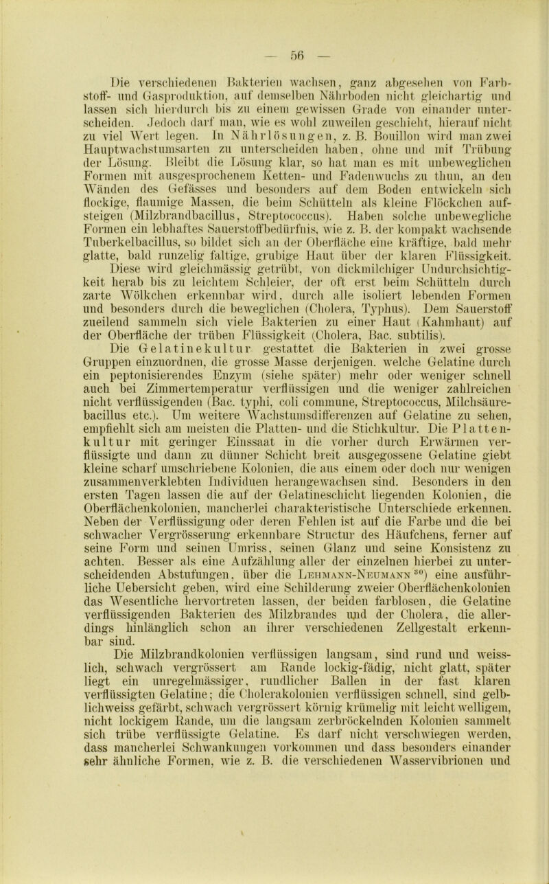 Die A^erscliiedeiieii Bakterien waclisen, g'anz abgeselieu von Farb- stoff- und Gasproduktion, auf demselben Nälii’bodeu nicht f>’]eichartig und lassen sich hierdurch bis zu einem ^»’ewisseu Grade von einander uiitei’- sclieiden. Jedoch darf man, wie es wohl zuweilen g’eschieht, hierauf nicht zu viel AVert legen. In Nährlösungen, z. B. Bouillon wird man zwei Hauptwachstumsarteil zu unterscheiden haben, ohne und mit Trübung der Lösung. Bleibt die Lösung klar, so hat man es mit unbeweglichen Formen mit ausgesprochenem Ketten- und Fadenwuchs zu tliun, an den AVänden des Gefässes und besonders auf dem Boden entwickeln sich flockige, flaumige Massen, die beim Schütteln als kleine Flöckchen auf- steigen (Milzbrandbacillus, Streptococcus). Haben solche unbewegliche Formen ein lebhaftes Sauerstoffbedürfnis, wie z. B. der kompakt wachsende Tuberkelbacillus, so bildet sich au der Oberfläche eine kräftige, bald mehr glatte, bald runzelig faltige, grubige Haut über der klaren Flüssigkeit. Diese wird gleichmässig getrübt, von dickmilchiger Undurchsichtig- keit herab bis zu leichtem Schleier, der oft erst beim Schütteln durch zarte AVölkchen erkennbar wird, durch alle isoliert lebenden Formen und besonders durch die bewegliclien (Cholera, lYphus). Dem Sauerstoff zueilend sammeln sich viele Bakterien zu einer Haut (Kahinhaut) auf der Oberfläche der trüben Flüssigkeit (Cholera, Bac. subtilis). Die Gela t ine kill tur gestattet die Bakterien in zwei grosse Gruppen einzuordnen, die grosse Masse derjenigen, welche Gelatine durch ein peptonisierendes Enzym (siehe später) mehr oder weniger schnell auch bei Zimmertemperatur verflüssigen und die weniger zahlreichen nicht verflüssigenden (Bac. typhi, coli commune, Streptococcus, Milchsäure- bacillus etc.). Um weitere AVachstumsdifferenzen auf Gelatine zu sehen, empfiehlt sich am meisten die Platten- und die Stichkultur. Die Platten- k ul tur mit geringer Einssaat in die vorher durch Erwärmen ver- flüssigte und dann zu dünner Schicht breit ausgegossene Gelatine giebt kleine scharf umschriebene Kolonien, die aus einem oder doch nur wenigen zusammenverklebten Individuen herangewachsen sind. Besonders in den ersten Tagen lassen die auf der Gelatineschicht liegenden Kolonien, die Oberflächenkolonien, mancherlei charakteristische Unterschiede erkennen. Neben der Verflüssigung oder deren Fehlen ist auf die Farbe und die bei schwacher A^ergrösserung erkennbare Structur des Häufchens, ferner auf seine Form und seinen Umriss, seinen Glanz und seine Konsistenz zu achten. Besser als eine Aufzählung aller der einzelnen hierbei zu unter- scheidenden Abstufungen, über die Lehmann-Neumann ^^) eine ausführ- liche Uebersicht geben, wird eine Schilderung zweier Oberflächenkolonien das AVesentliche hervortreten lassen, der beiden farblosen, die Gelatine verflüssigenden Bakterien des Milzbrandes iijid der Cholera, die aller- dings hinlänglich schon an ihrer verschiedenen Zellgestalt erkenn- bar sind. Die Milzbrandkolonien verflüssigen langsam, sind rund und weiss- lich, schwach vergrössert am Rande lockig-fädig, nicht glatt, später liegt ein unregelmässiger, rundlicher Ballen in der fast klaren verflüssigten Gelatine; die Cfliolerakolonien verflüssigen schnell, sind gelb- lichweiss gefärbt, sclnvach vergrössert körnig krümelig mit leicht Avelligem, nicht lockigem Rande, um die langsam zerbröckelnden Kolonien sammelt sich trübe verflüssigte Gelatine. Es darf nicht verschwiegen werden, dass mancherlei Schwankungen Vorkommen und dass besonders einander sehr ähnliche Formen, wie z. B. die verschiedenen AA^asservibrionen und I