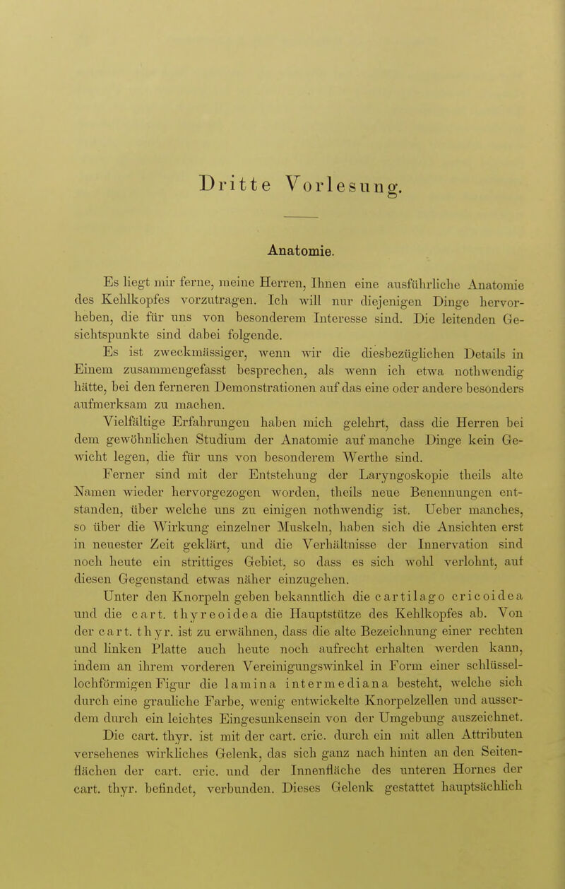 Dritte Vorlesung. Anatomie. Es liegt mir ferne, meine Herren, Ihnen eine ausführliche Anatomie des Kehlkopfes vorzutragen. Ich will nur diejenigen Dinge hervor- heben, die für uns von besonderem Interesse sind. Die leitenden Ge- sichtspunkte sind dabei folgende. Es ist zweckmässiger, wenn wir die diesbezüglichen Details in Einem zusammengefasst besprechen, als wenn ich etwa nothwendig hätte, bei den ferneren Demonstrationen auf das eine oder andere besonders aufmerksam zu machen. Vielfältige Erfahrungen haben mich gelehrt, dass die Herren bei dem gewöhnlichen Studium der Anatomie auf manche Dinge kein Ge- wicht legen, die für uns von besonderem Werthe sind. Ferner sind mit der Entstehung der Laryngoskopie theils alte Namen wieder hervorgezogen worden, theils neue Benennungen ent- standen, über welche uns zu einigen nothwendig ist. Ueber manches, so über die Wirkung einzelner Muskeln, haben sich die Ansichten erst in neuester Zeit geklärt, und die Verhältnisse der Innervation sind noch heute ein strittiges Gebiet, so dass es sich wohl verlohnt, auf diesen Gegenstand etwas näher einzugehen. Unter den Knorpeln geben bekanntlich die cartilago cricoidea und die cart. thyreoidea die Hauptstütze des Kehlkopfes ab. Von der cart. t h y r. ist zu erwähnen, dass die alte Bezeichnung einer rechten und linken Platte auch heute noch aufrecht erhalten werden kann, indem an ihrem vorderen Vereinigungswinkel in Form einer schlüssel- lochförmigen Figur die lamina int er mediana besteht, welche sich durch eine grauliche Farbe, wenig entwickelte Knorpelzellen und ausser- dem durch ein leichtes Eingesunkensein von der Umgebung auszeichnet. Die cart. thyr. ist mit der cart. cric. durch ein mit allen Attributen versehenes wirkliches Gelenk, das sich ganz nach hinten an den Seiten- flächen der cart. cric. und der Innenfläche des unteren Hornes der cart. thyr. befindet, verbunden. Dieses Gelenk gestattet hauptsächlich