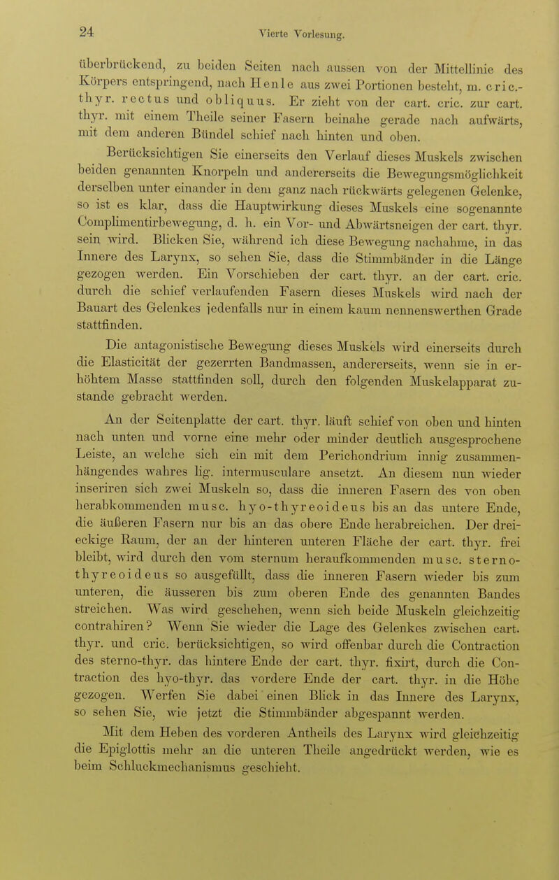 überbrückend, zu beiden Seiten nach aussen von der Mittellinie des Körpers entspringend, nach Henlc aus zwei Portionen besteht, m. cric- thyr. rectus und obliquus. Er zieht von der cart. cric. zur cart. thyr. mit einem Theile seiner Fasern beinahe gerade nach aufwärts, mit dem anderen Bündel schief nach hinten und oben. Berücksichtigen Sie einerseits den Verlauf dieses Muskels zwischen beiden genannten Knorpeln und andererseits die Bewegungsmöglichkeit derselben unter einander in dem ganz nach rückwärts gelegenen Gelenke, so ist es klar, dass die Hauptwirkung dieses Muskels eine sogenannte Complimentirbewegung, d. h. ein Vor- und Abwärtsneigen der cart. thyr. sein wird. Blicken Sie, während ich diese Bewegung nachahme, in das Innere des Larynx, so sehen Sie, dass die Stimmbänder in die Länge gezogen werden. Ein Vorschieben der cart. thyr. an der cart. cric. durch die schief verlaufenden Fasern dieses Muskels wird nach der Bauart des Gelenkes iedenfalls nur in einem kaum nennenswerthen Grade stattfinden. Die antagonistische Bewegung dieses Muskels wird einerseits durch die Elasticität der gezerrten Bandmassen, andererseits, wenn sie in er- höhtem Masse stattfinden soll, durch den folgenden Muskelapparat zu- stande gebracht werden. An der Seitenplatte der cart. thyr. läuft schief von oben und hinten nach unten und vorne eine mehr oder minder deutlich ausgesprochene Leiste, an welche sich ein mit dem Perichondrium innig zusammen- hängendes wahres lig. intermusculare ansetzt. An diesem nun wieder inseriren sich zwei Muskeln so, dass die inneren Fasern des von oben herabkommenden musc. hyo-thyreoideus bis an das untere Ende, die äußeren Fasern nur bis an das obere Ende herabreichen. Der drei- eckige Raum, der an der hinteren unteren Fläche der cart. thyr. frei bleibt, wird durch den vom sternum heraufkommenden musc. sterno- thyreoideus so ausgefüllt, dass die inneren Fasern wieder bis zum unteren, die äusseren bis zum oberen Ende des genannten Bandes streichen. Was wird geschehen, wenn sich beide Muskeln gleichzeitig contrahiren? Wenn Sie wieder die Lage des Gelenkes zwischen cart. thyr. und cric. berücksichtigen, so wird offenbar durch die Contraction des sterno-thyr. das hintere Ende der cart. thyr. fixirt, durch die Con- traction des hyo-thyr. das vordere Ende der cart. thyr. in die Höhe gezogen. Werfen Sie dabei einen Blick in das Innere des Larynx, so sehen Sie, wie jetzt die Stimmbänder abgespannt Averden. Mit dem Heben des vorderen Antheils des Larynx wird gleichzeitig die Epiglottis mehr an die unteren Theile angedrückt werden, wie es beim Schluckmechanismus geschieht.