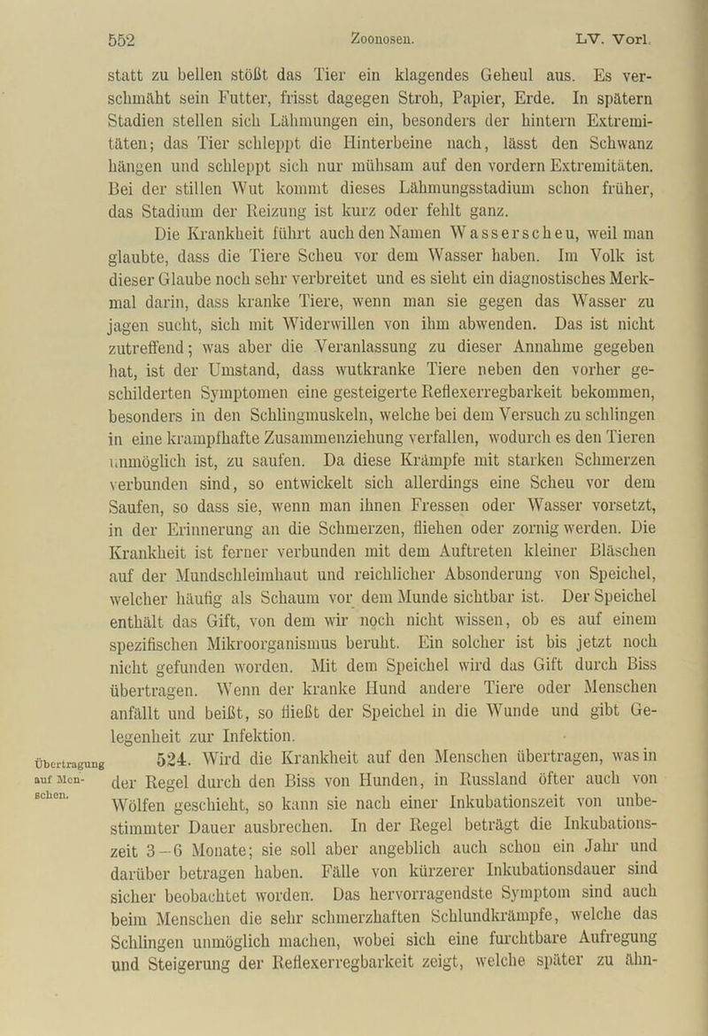 statt zu bellen stößt das Tier ein klagendes Geheul aus. Es ver- schmäht sein Futter, frisst dagegen Stroh, Papier, Erde. In spätem Stadien stellen sich Lähmungen ein, besonders der hintern Extremi- täten; das Tier schleppt die Hinterbeine nach, lässt den Schwanz hängen und schleppt sich nur mühsam auf den vordem Extremitäten. Bei der stillen Wut kommt dieses Lähmungsstadium schon früher, das Stadium der Reizung ist kurz oder fehlt ganz. Die Krankheit führt auch den Namen Wasserscheu, weil man glaubte, dass die Tiere Scheu vor dem Wasser haben. Im Volk ist dieser Glaube noch sehr verbreitet und es sieht ein diagnostisches Merk- mal darin, dass kranke Tiere, wenn man sie gegen das Wasser zu jagen sucht, sich mit Widerwillen von ihm abwenden. Das ist nicht zutreffend; was aber die Veranlassung zu dieser Annahme gegeben hat, ist der Umstand, dass wutkranke Tiere neben den vorher ge- schilderten Symptomen eine gesteigerte Reflexerregbarkeit bekommen, besonders in den Schlingmuskeln, welche bei dem Versuch zu schlingen in eine krampfhafte Zusammenziehung verfallen, wodurch es den Tieren unmöglich ist, zu saufen. Da diese Krämpfe mit starken Schmerzen verbunden sind, so entwickelt sich allerdings eine Scheu vor dem Saufen, so dass sie, wenn man ihnen Fressen oder Wasser vorsetzt, in der Erinnerung an die Schmerzen, fliehen oder zornig werden. Die Krankheit ist ferner verbunden mit dem Auftreten kleiner Bläschen auf der Mundschleimhaut und reichlicher Absonderung von Speichel, welcher häufig als Schaum vor dem Munde sichtbar ist. Der Speichel enthält das Gift, von dem wir noch nicht wissen, ob es auf einem spezifischen Mikroorganismus beruht. Ein solcher ist bis jetzt noch nicht gefunden worden. Mit dem Speichel wird das Gift durch Biss übertragen. Wenn der kranke Hund andere Tiere oder Menschen anfällt und beißt, so fließt der Speichel in die Wunde und gibt Ge- legenheit zur Infektion. Übertragung 524. Wird die Krankheit auf den Menschen übertragen, was in auf Men- der Rege} durch den Biss von Hunden, in Russland öfter auch von Wölfen geschieht, so kann sie nach einer Inkubationszeit von unbe- stimmter Dauer ausbrechen. In der Regel beträgt die Inkubations- zeit 3-6 Monate; sie soll aber angeblich auch schou ein Jahr und darüber betragen haben. Fälle von kürzerer Inkubationsdauer sind sicher beobachtet worden. Das hervorragendste Symptom sind auch beim Menschen die sehr schmerzhaften Schlundkrämpfe, welche das Schlingen unmöglich machen, wobei sich eine furchtbare Aufregung und Steigerung der Reflexerregbarkeit zeigt, welche später zu älm-