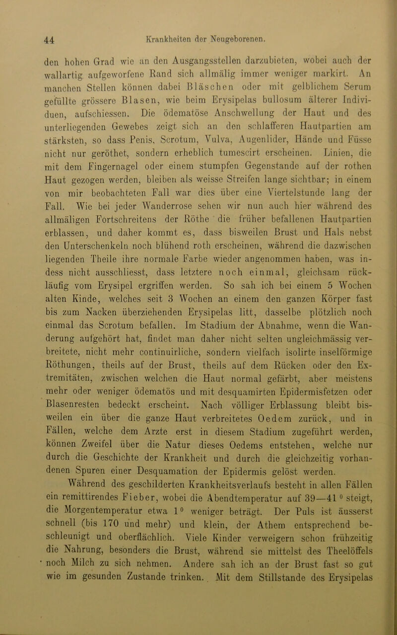 den hohen Grad wie an den Ausgangsstellen darzubieten, wobei auch der wallartig, aufgeworfene Rand sich allnricälig immer weniger markirt. An manchen Stellen können dabei BGäschen oder mit gelblichem Serum gefüllte grössere Blasen, wie beim Erysipelas bullosum älterer Indivi- duen, aufschiessen. Die ödematöse Anschwellung der Haut und des unterliegenden Gewebes zeigt sich an den schlafferen Hautpartien am stärksten, so dass Penis, Scrotum, Vulva, Augenlider, Hände und Füsse nicht nur geröthet, sondern erheblich tumescirt erscheinen. Linien, die mit dem Fingernagel oder einem stumpfen Gegenstände auf der rothen Flaut gezogen werden, bleiben als weisse Streifen lange sichtbar; in einem von mir beobachteten Fall war dies über eine Viertelstunde lang der Fall. Wie bei jeder Wanderrose sehen wir nun auch hier während des allmäligen Fortschreitens der Röthe die früher befallenen Hautpartien erblassen, und daher kommt es, dass bisweilen Brust und Hals nebst den Unterschenkeln noch blühend roth erscheinen, während die dazwischen liegenden Theile ihre normale Farbe wieder angenommen haben, was in- dess nicht ausschliesst, dass letztere noch einmal, gleichsam rück- läufig vom Erysipel ergriffen werden. So sah ich bei einem 5 Wochen alten Kinde, welches seit 3 Wochen an einem den ganzen Körper fast bis zum Nacken überziehenden Erysipelas litt, dasselbe plötzlich noch einmal das Scrotum befallen. Im Stadium der Abnahme, wenn die Wan- derung aufgehört hat, findet man daher nicht selten ungleichmässig ver- breitete, nicht mehr continuirliche, sondern vielfach isolirte inselförmige Röthungen, theils auf der Brust, theils auf dem Rücken oder den Ex- tremitäten, zwischen welchen die Haut normal gefärbt, aber meistens mehr oder weniger ödematös und mit desquamirten Epidermisfetzen oder Blasenresten bedeckt erscheint. Nach völliger Erblassung bleibt bis- weilen ein über die ganze Haut verbreitetes Oe dem zurück, und in Fällen, welche dem Arzte erst in diesem Stadium zugeführt werden, können Zweifel über die Natur dieses Oedems entstehen, welche nur durch die Geschichte der Krankheit und durch die gleichzeitig vorhan- denen Spuren einer Desquamation der Epidermis gelöst werden. Während des geschilderten Krankheitsverlaufs besteht in allen Fällen ein remittirendes Fieber, wobei die Abendtemperatur auf 39—41 ° steigt, die Morgentemperatur etwa 1 ° weniger beträgt. Der Puls ist äusserst schnell (bis 170 und mehr) und klein, der Athem entsprechend be- schleunigt und oberflächlich. Viele Kinder verweigern schon frühzeitig die Nahrung, besonders die Brust, während sie mittelst des Theelöffels noch Milch zu sich nehmen. Andere sah ich an der Brust fast so gut wie im gesunden Zustande trinken. Mit dem Stillstände des Erysipelas