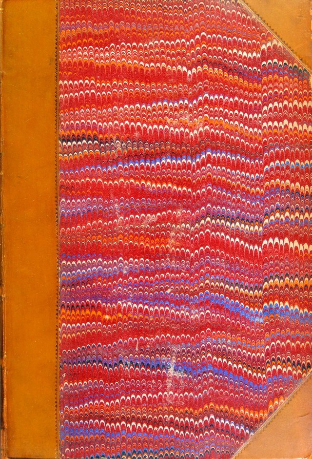 No text description is available for this image