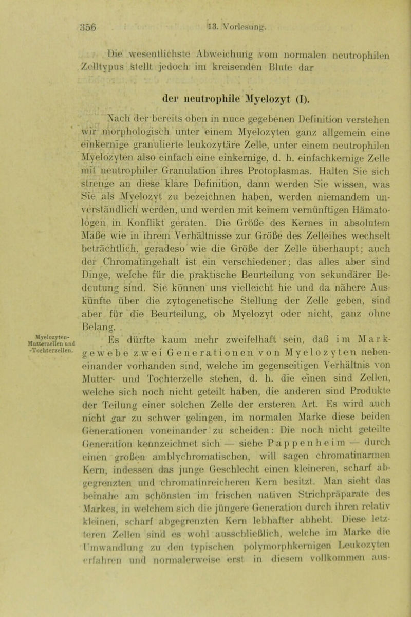 Myelozyten- Mnttirzellen and -Tochterzellen. Die wesentlichste Abweichung vom normalen neutrophilen Zelltypus stellt jedoch im kreisenden Blute dar (lei* neutrophile Myelozyt (I). Auch der bereits oben in nucc gegebenen Definition verstehen wir morphologisch unter einem Myelozyten ganz allgemein eine einkernige granulierte leukozytäre Zelle, unter einem neutrophilen .Myelozyten also einfach eine einkernige, d. h. einfachkernige Zelle mit neutrophiler Granulation ihres Protoplasmas. Halten Sie sich strenge an diese klare Definition, dann werden Sie wissen, was Sie als Myelozyt zu bezeichnen haben, werden niemandem un- verständlich werden, und werden mit keinem vernünftigen Hämato- logen in Konflikt geraten. Die Größe des Kernes in absolutem Maße wie in ihrem Verhältnisse zur Größe des Zelleibes wechselt beträchtlich, geradeso wie die Größe der Zelle überhaupt; auch der Chromatingehalt ist ein verschiedener; das alles aber sind Dinge, welche für die praktische Beurteilung von sekundärer Be- deutung sind. Sie können uns vielleicht hie und da nähere Aus- künfte über die zytogenetische Stellung der Zelle geben, sind aber für die Beurteilung, ob Myelozyt oder nicht, ganz ohne Belang. Es dürfte kaum mehr zweifelhaft sein, daß im Mark- gewebe zwei Generationen von Myelozyten neben- einander vorhanden sind, welche im gegenseitigen Verhältnis von Mutter- und Tochterzelle stehen, d. h. die einen sind Zellen, welche sich noch nicht geteilt haben, die anderen sind Produkte der Teilung einer solchen Zelle der ersteren Art. Es wird auch nicht gar zu schwer gelingen, im normalen Marke diese beiden Generationen voneinander zu scheiden: Die noch nicht geteilte Generation kennzeichnet sich — siehe Pappen heim — durch einen großen amblychromatischen, will sagen chromatin armen Korn, indessen das junge Geschlecht einen kleineren, scharf ab- gegrenzten und chromalinreicheren Korn besitzt. Man sieht das beinahe am schönsten im frischen nativen Strichpräparate des Markes, in welchem sich die jüngere Generation durch ihren relativ kleinen, scharf ab gegrenzten Kern lebhafter abhobl. Diese letz- teren Zellen sind es wohl ausschließlich, welche im Marke die IAnwandlung zu dein typischen polymorphkernigen Leukozyten erfahren und normalerweise erst in diesem vollkommen aus-