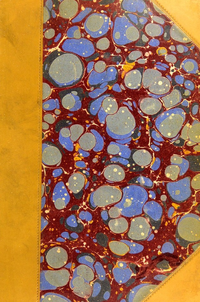 No text description is available for this image