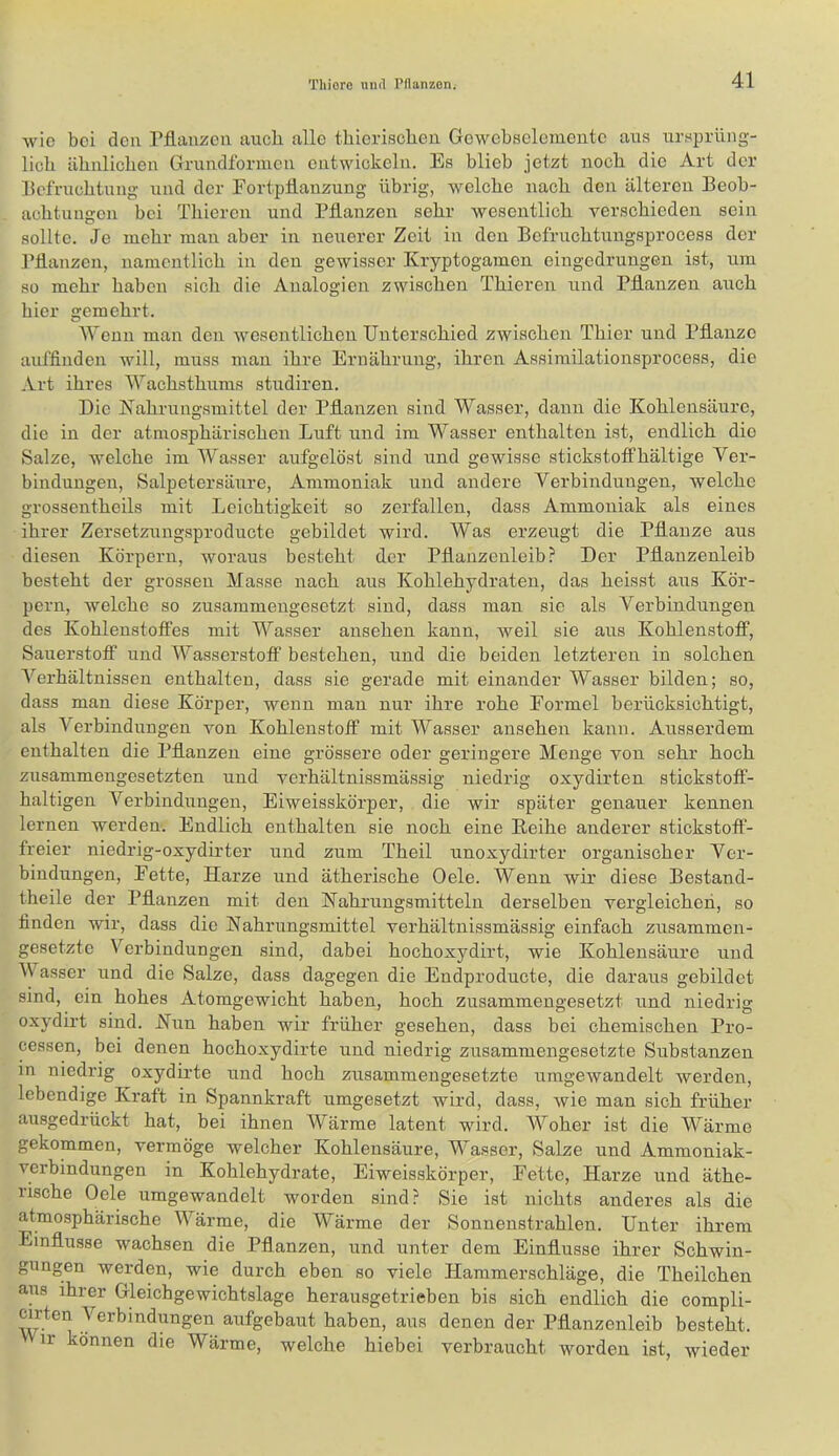 wie bei den rflanzen aueb alle thieriscbeii Gewebselemeute aus ursprüng- lich ähnlichen Grundformen entwickeln. Es blieb jetzt noch die Art der hcfrnchtung und der Fortpfianzung übrig, welche nach den älteren Beob- achtungen bei Thieren und Pflanzen sehr wesentlich verschieden sein sollte. Je mehr man aber in neuerer Zeit in den Befruchtungsprocess der Pflanzen, namentlich in den gewisser Kryptogamen eingedrungen ist, um so mehr haben sich die Analogien zwischen Thieren und Pflanzen auch hier gemehrt. Wenn man den wesentlichen Unterschied zwischen Thier und Pflanze auffinden will, muss man ihre Ernährung, ihren Assimilationsprocess, die .Vrt ihres Wachsthums studiren. Die Nahrungsmittel der Pflanzen sind Wasser, danxr die Kohlensäure, die in der atmosphärischen Luft und im Wasser enthalten ist, endlich die Salze, welche im Wasser aufgelöst sind ixnd gewisse stickstoffhaltige Yer- bindungen, Salpetersäure, Ammoniak und andere Verbindungen, welche grossentheils mit Leichtigkeit so zerfallen, dass Ammoniak als eines ihrer Zersetzungsproducte gebildet wird. Was erzeugt die Pflanze aus diesen Körpern, Avoraus besteht der Pflanzenleib? Der Pflanzenleib besteht der grossen Masse nach aus Kohlehydraten, das heisst aus Kör- pern, welche so zusammengesetzt sind, dass man sic als Verbindungen des Kohlenstoffes mit Wasser ansehen kann, Aveil sie axis Kohlenstoff, Sauerstoff und Wasserstoff bestehen, und die beiden letzteren in solchen Verhältnissen enthalten, dass sie gerade mit einander Wasser bilden; so, dass man diese Körper, wenn man nur ihre rohe Formel berücksichtigt, als Verbindungen von Kohlenstoff mit Wasser ansehen kann. Ausserdem enthalten die Pflanzen eine grössere oder geringere Menge von sehr hoch zusammengesetzten und verhältnissmässig niedrig oxydirten stickstoff- haltigen Verbindungen, Eiweisskörper, die wir später genauer kennen lernen werden. Endlich enthalten sie noch eine Beihe anderer stickstoff- freier niedrig-oxydirter und zum Theil unoxydirter organischer Ver- bindxingen, Fette, Harze und ätherische Gele. Wenn wir diese Bestand- theile der Pflanzen mit den Nahrungsmitteln derselben vergleichen, so finden wir, dass die Nahrungsmittel verhältnissmässig einfach zusammen- gesetzte Verbindungen sind, dabei hochoxydirt, wie Kohlensäure und Wasser und die Salze, dass dagegen die Endproducte, die daraus gebildet sind, ein hohes Atomgewicht haben, hoch zusammengesetzt und niedrig oxydirt sind. Nun haben wir früher gesehen, dass bei chemischen Pro- cessen, bei denen hochoxydirte und niedrig zusammengesetzte Substanzen in niedrig oxydirte und hoch zusammengesetzte nmgewandelt Averden, lebendige Kraft in Spannkraft umgesetzt wird, dass, Avie man sich früher ausgedrückt hat, bei ihnen Wärme latent wird. Woher ist die Wärme gekommen, vermöge welcher Kohlensäure, Wasser, Salze und Ammoniak- verbindungen in Kohlehydrate, Eiweisskörper, Fette, Harze und äthe- rische Gele umgewandelt worden sind? Sie ist nichts anderes als die atmosphärische Wärme, die Wärme der Sonnenstrahlen. Unter ihrem Einflüsse wachsen die Pflanzen, und unter dem Einflüsse ihrer Schwin- gungen werden, wie durch eben so viele Hammerschläge, die Theilchen aus ihrer Gleichgewichtslage herausgetrieben bis sich endlich die compli- yerbindungen aufgebaut haben, aus denen der Pflanzenleib besteht, ir können die Wärme, welche hiebei verbraucht Avorden ist, wieder