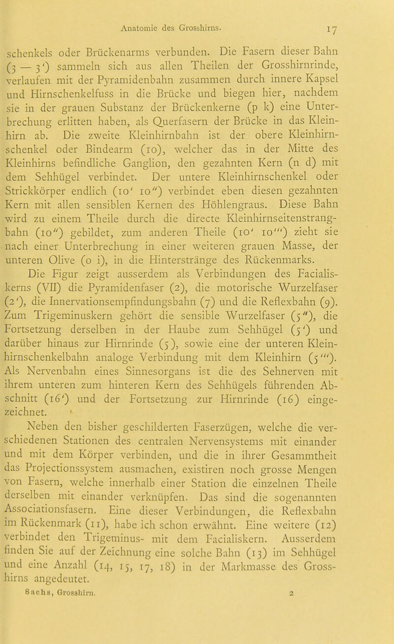 Schenkels oder Brückenarms verbunden. Die Fasern dieser Bahn _ 3') sammeln sich aus allen Theilen der Grosshirnrinde, verlaufen mit der Pyramidenbahn zusammen durch innere Kapsel und Hirnschenkelfuss in die Brücke und biegen hier, nachdem sie in der grauen Substanz der Brückenkerne (p k) eine Unter- brechung erlitten haben, als Querfasern der Brücke in das Klein- hirn ab. Die zweite Kleinhirnbahn ist der obere Kleinhirn- schenkel oder Bindearm (10), welcher das in der Mitte des Kleinhirns befindüche Gangüon, den gezahnten Kern (n d) mit dem Sehhügel verbindet. Der untere Kleinhirnschenkel oder Strickkörper endlich (10' 10) verbindet eben diesen gezahnten Kern mit allen sensiblen Kernen des Höhlengraus. Diese Bahn wird zu einem Theile durch die directe Kleinhirnseitenstrang- bahn (10) gebildet, zum anderen Theile (10' 10') zieht sie nach einer Unterbrechung in einer weiteren grauen Masse, der unteren Olive (o i), in die Hinterstränge des Rückenmarks. Die Figur zeigt ausserdem als Verbindungen des Facialis- kerns (VII) die Pyramidenfaser (2), die motorische Wurzelfaser (2'), die Innervationsempfindungsbahn (7) und die Reflexbahn (9). Zum Trigeminuskern gehört die sensible Wurzelfaser (5)? die Fortsetzung derselben in der Haube zum Sehhügel (5') und darüber hinaus zur Hirnrinde (5), sowie eine der unteren Klein- hirnschenkelbahn analoge Verbindung mit dem Kleinhirn (5')- Als Nervenbahn eines Sinnesorgans ist die des Sehnerven mit ihrem unteren zum hinteren Kern des Sehhügels führenden Ab- schnitt (16') und der Fortsetzung zur Hirnrinde (16) einge- zeichnet. Neben den bisher geschilderten Faserzügen, welche die ver- schiedenen Stationen des centralen Nervensystems mit einander und mit dem Körper verbinden, und die in ihrer Gesammtheit das Projectionssystem ausmachen, existiren noch grosse Mengen von Fasern, welche innerhalb einer Station die einzelnen Theile derselben mit einander verknüpfen. Das sind die sogenannten Associationsfasern. Eine dieser Verbindungen, die Reflexbahn im Rückenmark (11), habe ich schon erwähnt. Eine weitere (12) verbindet den Trigeminus- mit dem Facialiskern. Ausserdem finden Sie auf der Zeichnung eine solche Bahn (13) im Sehhügel und eine Anzahl (14, 15, 17, 18) in der Markmasse des Gross- hirns angedeutet. Sachs, Grosshirn. 2