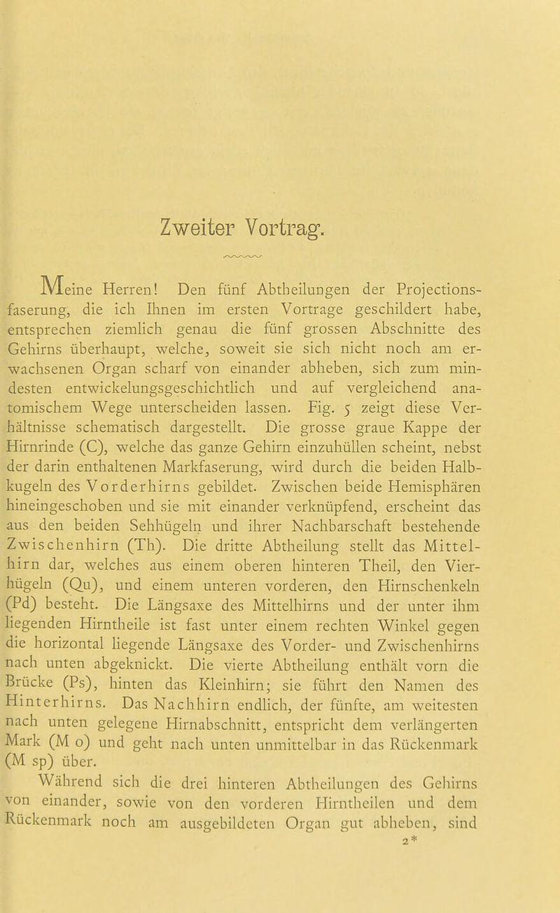 Zweiter Vortrag. M eine Herren! Den fünf Abtheilungen der Projections- faserung, die ich Ihnen im ersten Vortrage geschildert habe, entsprechen ziemlich genau die fünf grossen Abschnitte des Gehirns überhaupt, welche, soweit sie sich nicht noch am er- wachsenen Organ scharf von einander abheben, sich zum min- desten entwickelungsgeschichtlich und auf vergleichend ana- tomischem Wege unterscheiden lassen. Fig. 5 zeigt diese Ver- hältnisse schematisch dargestellt. Die grosse graue Kappe der Hirnrinde (C), welche das ganze Gehirn einzuhüllen scheint, nebst der darin enthaltenen Markfaserung, wird durch die beiden Halb- kugeln des Vorderhirns gebildet. Zwischen beide Hemisphären hineingeschoben und sie mit einander verknüpfend, erscheint das aus den beiden Sehhügeln und ihrer Nachbarschaft bestehende Zwischenhirn (Th). Die dritte Abtheilung stellt das Mittel- hirn dar, welches aus einem oberen hinteren Theil, den Vier- hügeln (Qu), und einem unteren vorderen, den Hirnschenkeln (Pd) besteht. Die Längsaxe des Mittelhirns und der unter ihm Hegenden Hirntheile ist fast unter einem rechten Winkel gegen die horizontal Hegende Längsaxe des Vorder- und Zwischenhirns nach unten abgeknickt. Die vierte Abtheilung enthäk vorn die Brücke (Ps), hinten das Kleinhirn; sie führt den Namen des Hinterhirns. Das Nachhirn endhch, der fünfte, am weitesten nach unten gelegene Hirnabschnitt, entspricht dem verlängerten Mark (M o) und geht nach unten unmittelbar in das Rückenmark (M sp) über. Während sich die drei hinteren Abtheilungen des Geliirns von einander, sowie von den vorderen Hirnthcilen und dem Rückenmark noch am ausgebildeten Organ gut abheben, sind 2 *