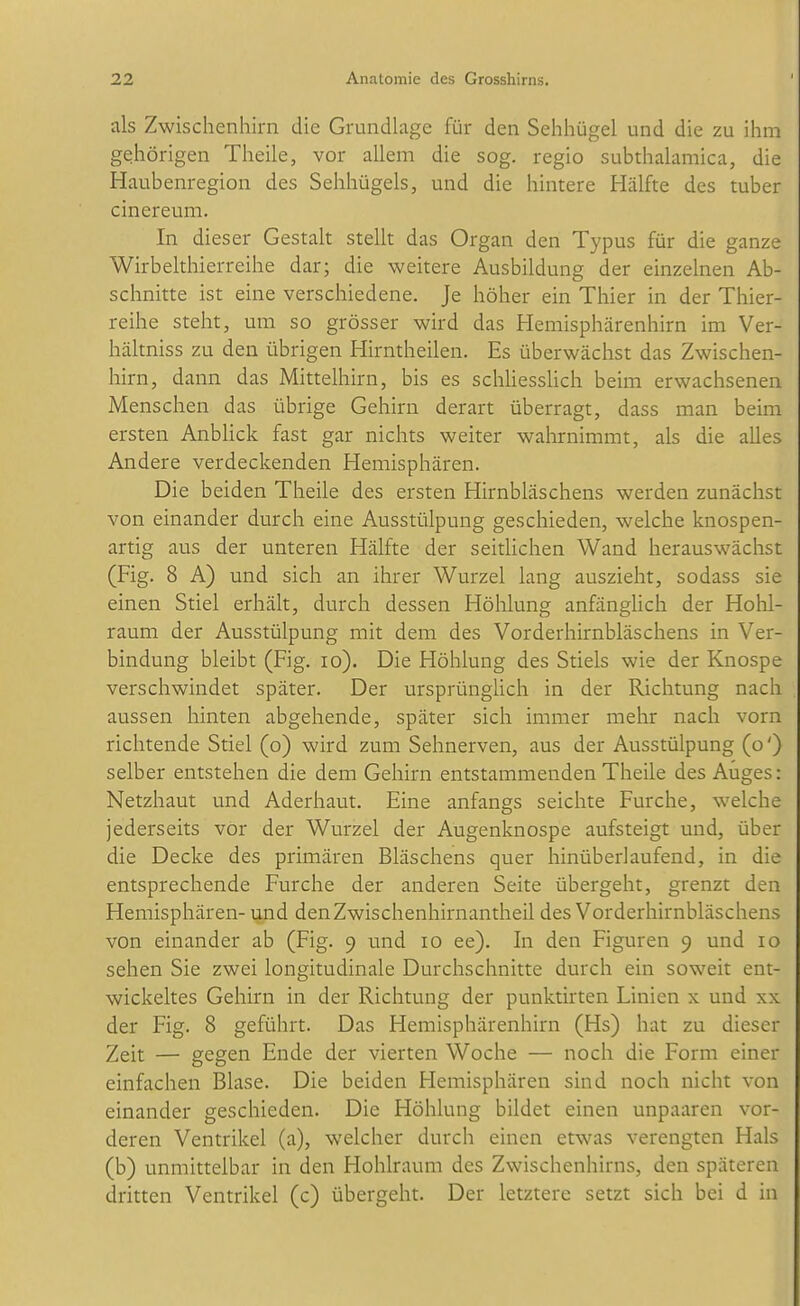 als Zwischenhirn die Grundlage für den Sehhügel und die zu ihm gehörigen Theile, vor allem die sog. regio subthalamica, die Haubenregion des Sehhügels, und die hintere Hälfte des tuber cinereum. In dieser Gestalt stellt das Organ den Typus für die ganze Wirbelthierreihe dar; die weitere Ausbildung der einzelnen Ab- schnitte ist eine verschiedene. Je höher ein Thier in der Thier- reihe steht, um so grösser wird das Hemisphärenhirn im Ver- hältniss zu den übrigen Hirntheilen. Es überwächst das Zwischen- hirn, dann das Mittelhirn, bis es schliesslich beim erwachsenen Menschen das übrige Gehirn derart überragt, dass man beim ersten AnbHck fast gar nichts weiter wahrnimmt, als die alles Andere verdeckenden Hemisphären. Die beiden Theile des ersten Hirnbläschens werden zunächst von einander durch eine Ausstülpung geschieden, welche knospen- artig aus der unteren Hälfte der seitlichen Wand herauswächst (Fig. 8 A) und sich an ihrer Wurzel lang auszieht, sodass sie einen Stiel erhält, durch dessen Höhlung anfänghch der Hohl- raum der Ausstülpung mit dem des Vorderhirnbläschens in Ver- bindung bleibt (Fig. lo). Die Höhlung des Stiels wie der Knospe verschwindet später. Der ursprünglich in der Richtung nach aussen hinten abgehende, später sich immer mehr nach vorn richtende Stiel (o) wird zum Sehnerven, aus der Ausstülpung (o') selber entstehen die dem Gehirn entstammenden Theile des Auges: Netzhaut und Aderhaut. Eine anfangs seichte Furche, welche jederseits vor der Wurzel der Augenknospe aufsteigt und, über die Decke des primären Bläschens quer hinüberlaufend, in die entsprechende Furche der anderen Seite übergeht, grenzt den Hemisphären- und denZwischenhirnantheil des Vorderhirnbläschens von einander ab (Fig. 9 und 10 ee). In den Figuren 9 und 10 sehen Sie zwei longitudinale Durchschnitte durch ein soweit ent- wickeltes Gehirn in der Richtung der punktirten Linien x und xx der Fig. 8 geführt. Das Hemisphärenhirn (Hs) hat zu dieser Zeit — gegen Ende der vierten Woche — noch die Form einer einfachen Blase. Die beiden Hemisphären sind noch nicht von einander geschieden. Die Höhlung bildet einen unpaaren vor- deren Ventrikel (a), welcher durch einen etwas verengten Hals (b) unmittelbar in den Hohlraum des Zwischenhirns, den späteren dritten Ventrikel (c) übergeht. Der letztere setzt sich bei d in