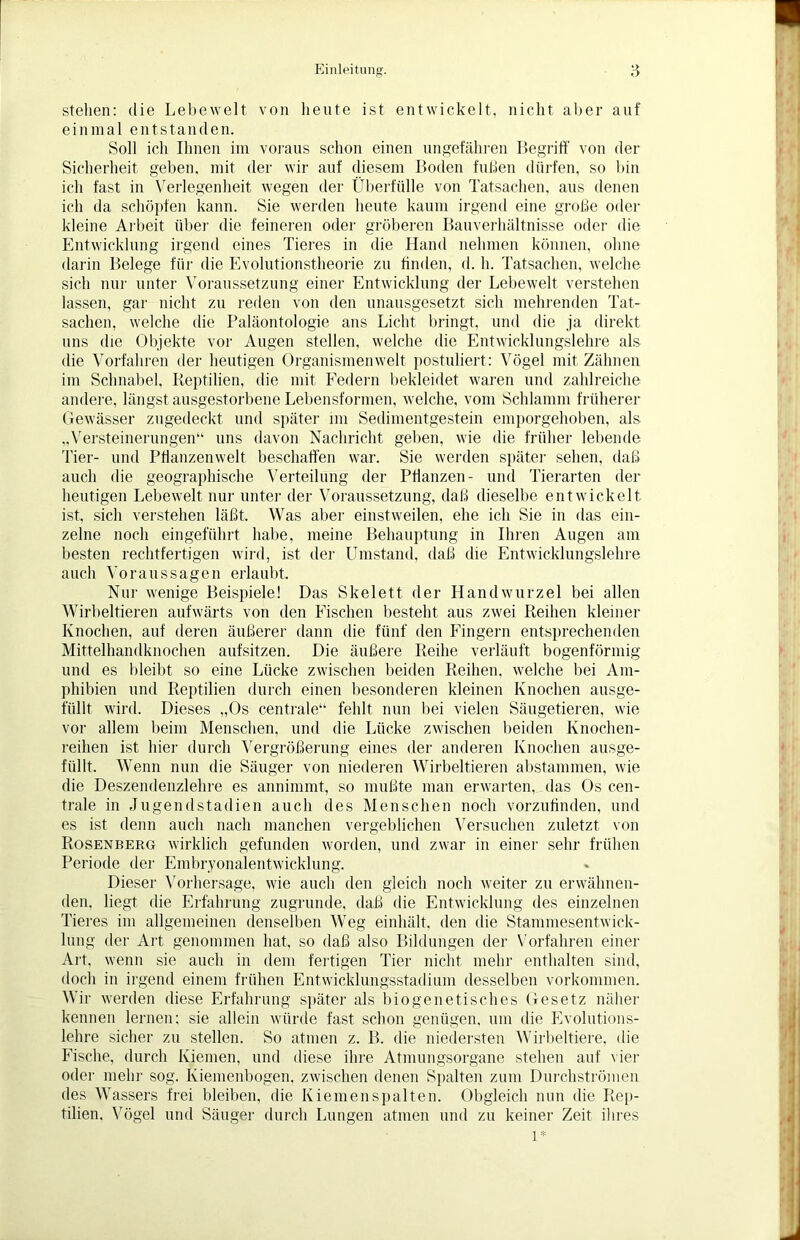 stellen: die Lebewelt von heute ist entwickelt, nicht aber auf einmal entstanden. Soll ich Ihnen im voraus schon einen ungefähren Begriff von der Sicherheit geben, mit der wir auf diesem Boden fußen dürfen, so bin ich fast in Verlegenheit wegen der Überfülle von Tatsachen, aus denen ich da schöpfen kann. Sie werden heute kaum irgend eine große oder kleine Arbeit über die feineren oder gröberen Bauverhältnisse oder die Entwicklung irgend eines Tieres in die Hand nehmen können, ohne darin Belege für die Evolutionstheorie zu finden, d. h. Tatsachen, welche sich nur unter Voraussetzung einer Entwicklung der Lebewelt verstehen lassen, gar nicht zu reden von den unausgesetzt sich mehrenden Tat- sachen, welche die Paläontologie ans Licht bringt, und die ja direkt uns die Objekte vor Augen stellen, welche die Entwicklungslehre als die Vorfahren der heutigen Organismenwelt postuliert: Vögel mit Zähnen im Schnabel, Reptilien, die mit Federn bekleidet waren und zahlreiche andere, längst ausgestorbene Lebensformen, welche, vom Schlamm früherer Gewässer zugedeckt und später im Sedimentgestein emporgehoben, als „Versteinerungen“ uns davon Nachricht geben, wie die früher lebende Tier- und Pflanzenwelt beschaffen war. Sie werden später sehen, daß auch die geographische Verteilung der Pflanzen- und Tierarten der heutigen Lebewelt nur unter der Voraussetzung, daß dieselbe entwickelt ist, sich verstehen läßt. Was aber einstweilen, ehe ich Sie in das ein- zelne noch eingeführt habe, meine Behauptung in Ihren Augen am besten rechtfertigen wird, ist der Umstand, daß die Entwicklungslehre auch Voraussagen erlaubt. Nur wenige Beispiele! Das Skelett der Handwurzel bei allen Wirbeltieren aufwärts von den Fischen besteht aus zwei Reihen kleiner Knochen, auf deren äußerer dann die fünf den Fingern entsprechenden Mittelhandknochen aufsitzen. Die äußere Reihe verläuft bogenförmig und es bleibt so eine Lücke zwischen beiden Reihen, welche bei Am- phibien und Reptilien durch einen besonderen kleinen Knochen ausge- füllt wird. Dieses „Os centrale“ fehlt nun bei vielen Säugetieren, wie vor allem beim Menschen, und die Lücke zwischen beiden Knochen- reihen ist hier durch Vergrößerung eines der anderen Knochen ausge- füllt. Wenn nun die Säuger von niederen Wirbeltieren abstammen, wie die Deszendenzlehre es annimmt, so mußte man erwarten, das Os cen- trale in Jugendstadien auch des Menschen noch vorzufinden, und es ist denn auch nach manchen vergeblichen Versuchen zuletzt von Rosenberg wirklich gefunden worden, und zwar in einer sehr frühen Periode der Embryonalentwicklung. Dieser Vorhersage, wie auch den gleich noch weiter zu erwähnen- den. liegt die Erfahrung zugrunde, daß die Entwicklung des einzelnen Tieres im allgemeinen denselben Weg einhält, den die Stammesentwick- lung der Art genommen hat, so daß also Bildungen der Vorfahren einer Art, wenn sie auch in dem fertigen Tier nicht mehr enthalten sind, doch in irgend einem frühen Entwicklungsstadium desselben Vorkommen. Wir werden diese Erfahrung später als biogenetisches Gesetz näher kennen lernen; sie allein würde fast schon genügen, um die Evolutions- lehre sicher zu stellen. So atmen z. B. die niedersten Wirbeltiere, die Fische, durch Kiemen, und diese ihre Atmungsorgane stehen auf vier oder mehr sog. Kiemenbogen, zwischen denen Spalten zum Durchströmen des Wassers frei bleiben, die Kiemenspalten. Obgleich nun die Rep- tilien. Vögel und Säuger durch Lungen atmen und zu keiner Zeit ihres 1*