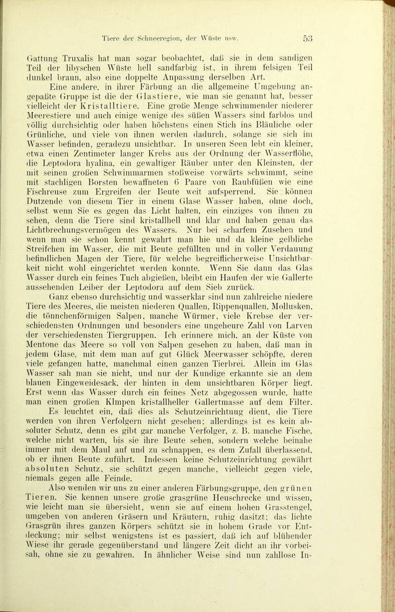 Gattung Truxalis hat man sogar beobachtet, daß sie in dem sandigen Teil der libyschen Wüste hell sandfarbig ist, in ihrem felsigen Teil dunkel braun, also eine doppelte Anpassung derselben Art. Eine andere, in ihrer Färbung an die allgemeine Umgebung an- gepaßte Gruppe ist die der Glastiere, wie man sie genannt hat, besser vielleicht der Kristalltiere. Eine große Menge schwimmender niederer Meerestiere und auch einige wenige des süßen Wassers sind farblos und völlig durchsichtig oder haben höchstens einen Stich ins Bläuliche oder Grünliche, und viele von ihnen werden dadurch, solange sie sich im Wasser befinden, geradezu unsichtbar. In unseren Seen lebt ein kleiner, etwa einen Zentimeter langer Krebs aus der Ordnung der Wasserfiöhe, die Leptodora hyalina, ein gewaltiger Räuber unter den Kleinsten, der mit seinen großen Schwimmarmen stoßweise vorwärts schwimmt, seine mit stachligen Borsten bewaffneten 6 Paare von Raubfüßen wie eine Fischreuse zum Ergreifen der Beute weit aufsperrend. Sie können Dutzende von diesem Tier in einem Glase Wasser haben, ohne doch, selbst wenn Sie es gegen das Licht halten, ein einziges von ihnen zu sehen, denn die Tiere sind kristallhell und klar und haben genau das Lichtbrechungsvermögen des Wassers. Nur bei scharfem Zusehen und wenn man sie schon kennt gewahrt man hie und da kleine gelbliche Streifchen im Wasser, die mit Beute gefüllten und in voller Verdauung befindlichen Magen der Tiere, für welche begreiflicherweise Unsichtbar- keit nicht wohl eingerichtet werden konnte. Wenn Sie dann das Glas Wasser durch ein feines Tuch abgießen, bleibt ein Haufen der wie Gallerte aussehenden Leiber der Leptodora auf dem Sieb zurück. Ganz ebenso durchsichtig und wasserklar sind nun zahlreiche niedere Tiere des Meeres, die meisten niederen Quallen, Rippenquallen. Mollusken, die tönnchenförmigen Salpen, manche Würmer, viele Krebse der ver- schiedensten Ordnungen und besonders eine ungeheure Zahl von Larven der verschiedensten Tiergruppen. Ich erinnere mich, an der Küste von Mentone das Meere so voll von Salpen gesehen zu haben, daß man in jedem Glase, mit dem man auf gut Glück Meerwasser schöpfte, deren viele gefangen hatte, manchmal einen ganzen Tierbrei. Allein im Glas Wasser sah man sie nicht, und nur der Kundige erkannte sie an dem blauen Eingeweidesack, der hinten in dem unsichtbaren Körper liegt. Erst wenn das Wasser durch ein feines Netz abgegossen wurde, hatte man einen großen Klmpen kristallheller Gallertmasse auf dem Filter. Es leuchtet ein, daß dies als Schutzeinrichtung dient, die Tiere werden von ihren Verfolgern nicht gesehen; allerdings ist es kein ab- soluter Schutz, denn es gibt gar manche Verfolger, z. B. manche Fische, welche nicht warten, bis sie ihre Beute sehen, sondern welche beinahe immer mit dem Maul auf und zu schnappen, es dem Zufall überlassend, ob er ihnen Beute zuführt. Indessen keine Schutzeinrichtung gewährt absoluten Schutz, sie schützt gegen manche, vielleicht gegen viele, niemals gegen alle Feinde. Also wenden wir uns zu einer anderen Färbungsgruppe, den grünen Tieren. Sie kennen unsere große grasgrüne Heuschrecke und wissen, wie leicht man sie übersieht, wenn sie auf einem hohen Grasstengel, umgeben von anderen Gräsern und Kräutern, ruhig dasitzt; das lichte Grasgrün ihres ganzen Körpers schützt sie in hohem Grade vor Ent- deckung; mir selbst wenigstens ist es passiert, daß ich auf blühender Wiese ihr gerade gegenüberstand und längere Zeit dicht an ihr vorbei- sah, ohne sie zu gewahren. In ähnlicher Weise sind nun zahllose In-