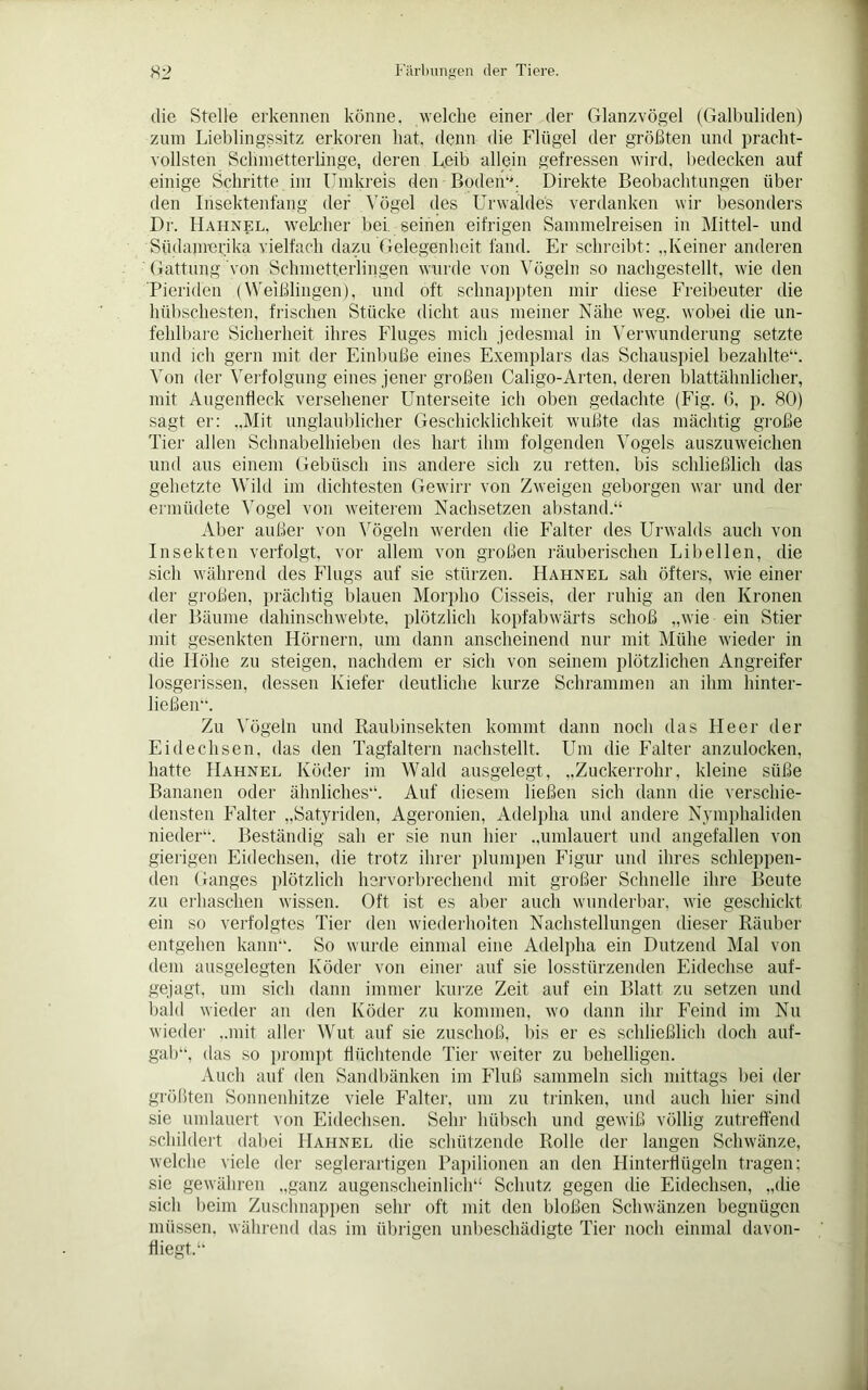 die Stelle erkennen könne, welche einer der Glanzvögel (Galbuliden) zum Lieblingssitz erkoren hat, denn die Flügel der größten und pracht- vollsten Schmetterlinge, deren Leib allein gefressen wird, bedecken auf einige Schritte im Umkreis den Boden“. Direkte Beobachtungen über den Insektenfang der Vögel des Urwaldes verdanken wir besonders Df. Hahnel, welcher bei. seinen eifrigen Sammelreisen in Mittel- und Südamerika vielfach dazu Gelegenheit fand. Er schreibt: „Keiner anderen Gattung von Schmetterlingen wurde von Vögeln so nachgestellt, wie den Pieriden (Weißlingen), und oft schnappten mir diese Freibeuter die hübschesten, frischen Stücke dicht aus meiner Nähe weg. wobei die un- fehlbare Sicherheit ihres Fluges mich jedesmal in Verwunderung setzte und ich gern mit der Einbuße eines Exemplars das Schauspiel bezahlte4-. Von der Verfolgung eines jener großen Caligo-Arten, deren blattähnlicher, mit Äugenfleck versehener Unterseite ich oben gedachte (Fig. G, p. 80) sagt er: „Mit unglaublicher Geschicklichkeit wußte das mächtig große Tier allen Schnabelhieben des hart ihm folgenden Vogels auszuweichen und aus einem Gebüsch ins andere sich zu retten, bis schließlich das gehetzte Wild im dichtesten Gewirr von Zweigen geborgen war und der ermüdete Vogel von weiterem Nachsetzen abstain!.“ Aber außer von Vögeln werden die Falter des Urwalds auch von Insekten verfolgt, vor allem von großen räuberischen Libellen, die sich während des Flugs auf sie stürzen. Hahnel sah öfters, wie einer der großen, prächtig blauen Morpho Cisseis, der ruhig an den Kronen der Bäume dahinschwebte, plötzlich kopfabwärts schoß „wie ein Stier mit gesenkten Hörnern, um dann anscheinend nur mit Mühe wieder in die Höhe zu steigen, nachdem er sich von seinem plötzlichen Angreifer losgerissen, dessen Kiefer deutliche kurze Schrammen an ihm hinter- ließen--. Zu Vögeln und Raubinsekten kommt dann noch das Heer der Eidechsen, das den Tagfaltern nachstellt. Um die Falter anzulocken, hatte Hahnel Köder im Wald ausgelegt, „Zuckerrohr, kleine süße Bananen oder ähnliches“. Auf diesem ließen sich dann die verschie- densten Falter „Satyriden, Ageronien, Adelpha und andere Nymphaliden nieder“. Beständig sah er sie nun hier „umlauert und angefallen von gierigen Eidechsen, die trotz ihrer plumpen Figur und ihres schleppen- den Ganges plötzlich hervorbrechend mit großer Schnelle ihre Beute zu erhaschen wissen. Oft ist es aber auch wunderbar. wrie geschickt ein so verfolgtes Tier den wiederholten Nachstellungen dieser Räuber entgehen kann“. So wurde einmal eine Adelpha ein Dutzend Mal von dem ausgelegten Köder von einer auf sie losstürzenden Eidechse auf- gejagt, um sich dann immer kurze Zeit auf ein Blatt zu setzen und bald wieder an den Köder zu kommen, wo dann ihr Feind im Nu wieder „mit aller Wut auf sie zuschoß, bis er es schließlich doch auf- gab-1, das so prompt flüchtende Tier weiter zu behelligen. Auch auf den Sandbänken im Fluß sammeln sich mittags bei der größten Sonnenhitze viele Falter, um zu trinken, und auch hier sind sie umlauert von Eidechsen. Sehr hübsch und gewiß völlig zutreffend schildert dabei Hahnel die schützende Rolle der langen Schwänze, welche viele der seglerartigen Papilionen an den Hinterflügeln tragen: sie gewähren „ganz augenscheinlich“ Schutz gegen die Eidechsen, „die sich beim Zuschnappen sehr oft mit den bloßen Schwänzen begnügen müssen, während das im übrigen unbeschädigte Tier noch einmal davon- fliegt.“