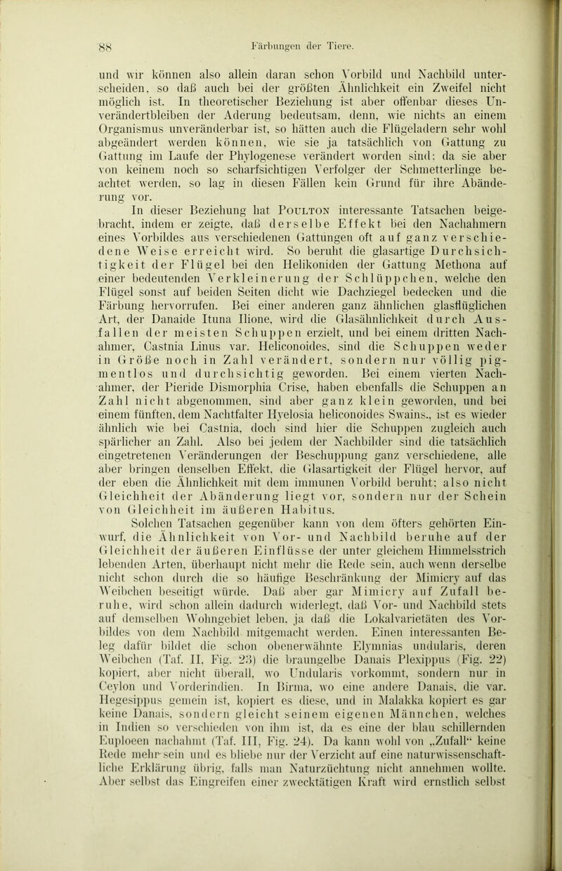 und wir können also allein daran schon Vorbild und Nachbild unter- scheiden, so daß auch bei der größten Ähnlichkeit ein Zweifel nicht möglich ist. In theoretischer Beziehung ist aber offenbar dieses Un- verändertbleiben der Äderung bedeutsam, denn, wie nichts an einem Organismus unveränderbar ist, so hätten auch die Flügeladern sehr wohl abgeändert werden können, wie sie ja tatsächlich von Gattung zu Gattung im Laufe der Phylogenese verändert worden sind; da sie aber von keinem noch so scharfsichtigen Verfolger der Schmetterlinge be- achtet werden, so lag in diesen Fällen kein Grund für ihre Abände- rung vor. In dieser Beziehung hat Poulton interessante Tatsachen beige- bracht, indem er zeigte, daß derselbe Effekt bei den Nachahmern eines Vorbildes aus verschiedenen Gattungen oft auf ganz verschie- dene Weise erreicht wird. So beruht die glasartige Durchsich- tigkeit der Flügel bei den Helikoniden der Gattung Methona auf einer bedeutenden Verkleinerung der Schl tipp eben, welche den Flügel sonst auf beiden Seiten dicht wie Dachziegel bedecken und die Färbung hervorrufen. Bei einer anderen ganz ähnlichen glasffüglichen Art, der Danaide Ituna Uione, wird die Glasähnlichkeit durch Aus- fallen der meisten Schuppen erzielt, und bei einem dritten Nach- ahmer, Gastnia Linus var. Heliconoides. sind die Schuppen weder in Größe noch in Zahl verändert, sondern nur völlig pig- ment los und durchsichtig geworden. Bei einem vierten Nach- ahmer, der Pieride Dismorphia Crise, haben ebenfalls die Schuppen an Zahl nicht abgenommen, sind aber ganz klein geworden, und bei einem fünften, dem Nachtfalter Hyelosia heliconoides Swains., ist es wieder ähnlich wie bei Gastnia, doch sind hier die Schuppen zugleich auch spärlicher an Zahl. Also bei jedem der Nachbilder sind die tatsächlich eingetretenen Veränderungen der Beschuppung ganz verschiedene, alle aber bringen denselben Effekt, die Glasartigkeit der Flügel hervor, auf der eben die Ähnlichkeit mit dem immunen Vorbild beruht; also nicht Gleichheit der Abänderung liegt vor, sondern nur der Schein von Gleichheit im äußeren Habitus. Solchen Tatsachen gegenüber kann von dem öfters gehörten Ein- wurf, die Ähnlichkeit von Vor- und Nachbild beruhe auf der Gleichheit der äußeren Einflüsse der unter gleichem Himmelsstrich lebenden Arten, überhaupt nicht mehr die Rede sein, auch wenn derselbe nicht schon durch die so häufige Beschränkung der Mimicry auf das Weibchen beseitigt würde. Daß aber gar Mimicry auf Zufall be- ruhe, wird schon allein dadurch widerlegt, daß Vor- und Nachbild stets auf demselben Wohngebiet leben, ja daß die Lokalvarietäten des Vor- bildes von dem Nachbild mitgemacht werden. Einen interessanten Be- leg dafür bildet die schon obenerwähnte Elymnias undularis, deren Weibchen (Tat. II, Fig. 23) die braungelbe Danais Plexippus (Fig. 22) kopiert, aber nicht überall, wo Undularis vorkommt, sondern nur in Ceylon und Vorderindien. In Birma, wo eine andere Danais, die var. Hegesippus gemein ist, kopiert es diese, und in Malakka kopiert es gar keine Danais, sondern gleicht seinem eigenen Männchen, welches in Indien so verschieden von ihm ist, da es eine der blau schillernden Euploeen nachahmt (Taf. III, Fig. 24). Da kann wohl von „Zufall“ keine Rede mehr sein und es bliebe nur der Verzicht auf eine naturwissenschaft- liche Erklärung übrig, falls man Naturzüchtung nicht annehmen wollte. Aber selbst das Eingreifen einer zwecktätigen Kraft wird ernstlich selbst