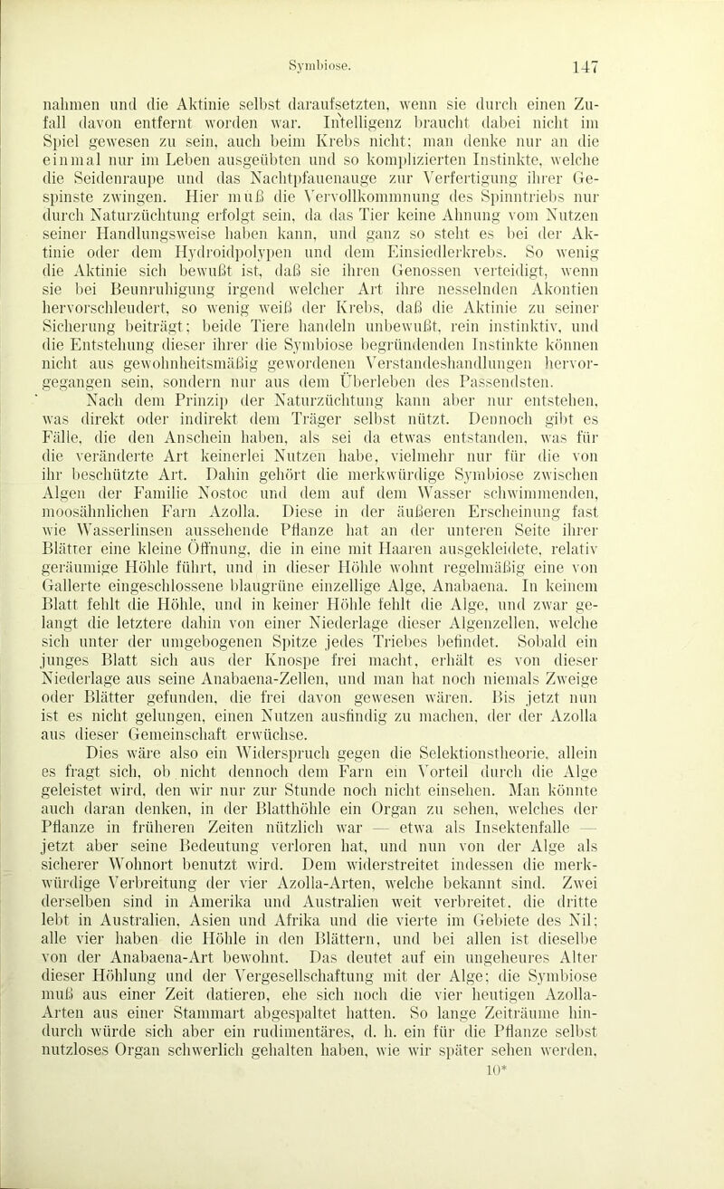 nahmen und die Aktinie selbst daraufsetzten, wenn sie durch einen Zu- fall davon entfernt worden war. Intelligenz braucht dabei nicht im Spiel gewesen zu sein, auch beim Krebs nicht; man denke nur an die einmal nur im Leben ausgeübten und so komplizierten Instinkte, welche die Seidenraupe und das Nachtpfauenauge zur Verfertigung ihrer Ge- spinste zwingen. Hier muß die Vervollkommnung des Spinntriebs nur durch Naturzüchtung erfolgt sein, da das Tier keine Ahnung vom Nutzen seiner Handlungsweise haben kann, und ganz so steht es bei der Ak- tinie oder dem Hydroidpolypen und dem Einsiedlerkrebs. So wenig die Aktinie sich bewußt ist, daß sie ihren Genossen verteidigt, wenn sie bei Beunruhigung irgend welcher Art ihre nesselnden Akontien hervorschleudert, so wenig weiß der Krebs, daß die Aktinie zu seiner Sicherung beiträgt; beide Tiere handeln unbewußt, rein instinktiv, und die Entstehung dieser ihrer die Symbiose begründenden Instinkte können nicht aus gewohnheitsmäßig gewordenen Verstandeshandlungen hervor- gegangen sein, sondern nur aus dem Überleben des Passendsten. Nach dem Prinzip der Naturzüchtung kann aber nur entstehen, was direkt oder indirekt dem Träger selbst nützt. Dennoch gibt es Fälle, die den Anschein haben, als sei da etwas entstanden, was für die veränderte Art keinerlei Nutzen habe, vielmehr nur für die von ihr beschützte Art. Dahin gehört die merkwürdige Symbiose zwischen Algen der Familie Nostoc, und dem auf dem Wasser schwimmenden, moosähnlichen Farn Azolla. Diese in der äußeren Erscheinung fast wie Wasserlinsen aussehende Pdanze hat an der unteren Seite ihrer Blätter eine kleine Öffnung, die in eine mit Haaren ausgekleidete, relativ geräumige Höhle führt, und in dieser Höhle wohnt regelmäßig eine von Gallerte eingeschlossene blaugrüne einzellige Alge, Anäbaena. In keinem Blatt fehlt die Höhle, und in keiner Höhle fehlt die Alge, und zwar ge- langt die letztere dahin von einer Niederlage dieser Algenzellen, welche sich unter der umgebogenen Spitze jedes Triebes befindet. Sobald ein junges Blatt sich aus der Knospe frei macht, erhält es von dieser Niederlage aus seine Anabaena-Zellen, und man hat noch niemals Zweige oder Blätter gefunden, die frei davon gewesen wären. Bis jetzt nun ist es nicht gelungen, einen Nutzen ausfindig zu machen, der der Azolla aus dieser Gemeinschaft erwüchse. Dies wäre also ein Widerspruch gegen die Selektionstheorie, allein es fragt sich, ob nicht dennoch dem Farn ein Vorteil durch die Alge geleistet wird, den wir nur zur Stunde noch nicht einsehen. Man könnte auch daran denken, in der Blatthöhle ein Organ zu sehen, welches der Ptianze in früheren Zeiten nützlich war — etwa als Insektenfalle - jetzt aber seine Bedeutung verloren hat, und nun von der Alge als sicherer Wohnort benutzt wird. Dem widerstreitet indessen die merk- würdige Verbreitung der vier Azolla-Arten, welche bekannt sind. Zwei derselben sind in Amerika und Australien weit verbreitet, die dritte lebt in Australien, Asien und Afrika und die vierte im Gebiete des Nil: alle vier haben die Höhle in den Blättern, und bei allen ist dieselbe von der Anabaena-Art bewohnt. Das deutet auf ein ungeheures Alter dieser Höhlung und der Vergesellschaftung mit der Alge; die Symbiose muß aus einer Zeit datieren, ehe sich noch die vier heutigen Azolla- Arten aus einer Stammart abgespaltet hatten. So lange Zeiträume hin- durch würde sich aber ein rudimentäres, d. h. ein für die Ptianze selbst nutzloses Organ schwerlich gehalten haben, wie wir später sehen werden. 10*
