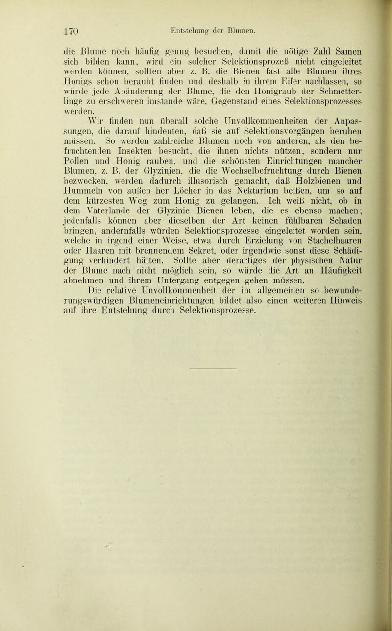 die Blume noch häufig genug besuchen, damit die nötige Zahl Samen sich bilden kann, wird ein solcher Selektionsprozeß nicht eingeleitet werden können, sollten aber z. B. die Bienen fast alle Blumen ihres Honigs schon beraubt finden und deshalb in ihrem Eifer nachlassen, so würde jede Abänderung der Blume, die den Honigraub der Schmetter- linge zu erschweren imstande wäre, Gegenstand eines Selektionsprozesses werden. Wir finden nun überall solche Unvollkommenheiten der Anpas- sungen, die darauf hindeuten, daß sie auf Selektionsvorgängen beruhen müssen. So werden zahlreiche Blumen noch von anderen, als den be- fruchtenden Insekten besucht, die ihnen nichts nützen, sondern nur Pollen und Honig rauben, und die schönsten Einrichtungen mancher Blumen, z. B. der Glyzinien, die die Wechselbefruchtung durch Bienen bezwecken, werden dadurch illusorisch gemacht, daß Holzbienen und Hummeln von außen her Löcher in das Nektarium beißen, um so auf dem kürzesten Weg zum Honig zu gelangen. Ich weiß nicht, ob in dem Vaterlande der Glyzinie Bienen leben, die es ebenso machen; jedenfalls können aber dieselben der Art keinen fühlbaren Schaden bringen, andernfalls würden Selektionsprozesse eingeleitet worden sein, welche in irgend einer Weise, etwa durch Erzielung von Stachelhaaren oder Haaren mit brennendem Sekret, oder irgendwie sonst diese Schädi- gung verhindert hätten. Sollte aber derartiges der physischen Natur der Blume nach nicht möglich sein, so würde die Art an Häufigkeit abnehmen und ihrem Untergang entgegen gehen müssen. Die relative Unvollkommenheit der im allgemeinen so bewunde- rungswürdigen Blumeneinrichtungen bildet also einen weiteren Hinweis auf ihre Entstehung durch Selektionsprozesse.