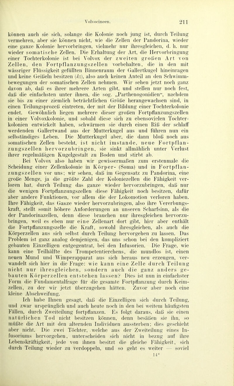 können auch sie sich, solange die Kolonie noch jung ist, durch Teilung vermehren, aber sie können nicht, wie die Zellen der Pandorina, wieder eine ganze Kolonie hervorbringen, vielmehr nur ihresgleichen, d. h. nur wieder somatische Zellen. Die Erhaltung der Art, die Hervorbringung einer Tochterkolonie ist bei Volvox der zweiten großen Art von Zellen, den Fortpflanzungszellen Vorbehalten, die in den mit wässriger Flüssigkeit gefüllten Binnenraum der Gallertkugel hineinragen und keine Geißeln besitzen (kz), also auch keinen Anteil an den Schwimm- bewegungen der somatischen Zellen nehmen. Wir sehen jetzt noch ganz davon ab, daß es ihrer mehrere Arten gibt, und stellen nur noch fest, daß die einfachsten unter ihnen, die sog. „Parthenogonidien“, nachdem sie bis zu einer ziemlich beträchtlichen Größe herangewachsen sind, in einen Teilungsprozeß eintreten, der mit der Bildung einer Tochterkolonie endet. Gewöhnlich liegen mehrere dieser großen Fortpflanzungszellen in einer Volvoxkolonie, und sobald diese sich zu ebensovielen Tochter- kolonien entwickelt haben, schwärmen sie durch einen Riß der schlaff' werdenden Gallertwand aus der Mutterkugel aus und führen nun ein selbständiges Leben. Die Mutterkugel aber, die dann bloß noch aus somatischen Zellen besteht, ist nicht imstande, neue Fortpflan- zungszellen hervorzubringen, sie sinkt allmählich unter Verlust ihrer regelmäßigen Kugelgestalt zu Boden und stirbt ab. Bei Volvox also haben wir gewissermaßen zum erstenmale die Scheidung einer Zellenkolonie in Körper- (Soma) und in Fortpflan- zungszellen vor uns; wir sehen, daß im Gegensatz zu Pandorina, eine große Menge, ja die größte Zahl der Koloniezellen die Fähigkeit ver- loren hat, durch Teilung das ganze wieder hervorzubringen, daß nur die wenigen Fortpffanzungszellen diese Fähigkeit noch besitzen, dafür aber andere Funktionen, vor allem die der Lokomotion verloren haben. Ihre Fähigkeit, das Ganze wieder hervorzubringen, also ihre Vererbungs- kraft, stellt somit höhere Anforderungen an unseren Scharfsinn, als die der Pandorinazellen, denn diese brauchen nur ihresgleichen hervorzu- bringen, weil es eben nur eine Zellenart dort gibt, hier aber enthält die Fortpflanzungszelle die Kraft, sowohl ihresgleichen, als auch die Körperzellen aus sich selbst durch Teilung hervorgehen zu lassen. Das Problem ist ganz analog demjenigen, das uns schon bei den kompliziert gebauten Einzelligen entgegentrat, bei den Infusorien. Die Frage, wie kann eine Teilhälfte des Trompetentierchens, die mundlos ist, einen neuen Mund und Wimperapparat aus sich heraus neu erzeugen, ver- wandelt sich hier in die Frage: wie kann eine Zelle durch Teilung nicht nur ihresgleichen, sondern auch die ganz anders ge- bauten Körperzellen entstehen lassen? Dies ist nun in einfachster Form die Fundamentalfrage für die gesamte Fortpflanzung durch Keim- zellen, zu der wir jetzt überzugehen hätten. Zuvor aber noch eine kleine Abschweifung. Ich habe Ihnen gesagt, daß die Einzelligen sich durch Teilung, und zwar ursprünglich und auch heute noch in den bei weitem häufigsten Fällen, durch Zweiteilung fortpflanzen. Es folgt daraus, daß sie einen natürlichen Tod nicht besitzen können, denn besäßen sie ihn, so müßte die Art mit den alternden Individuen aussterben; dies geschieht aber nicht. Die zwei Töchter, welche aus der Zweiteilung eines In- fusoriums hervorgehen, unterscheiden sich nicht in bezug auf ihre Lebenskräftigkeit, jede von ihnen besitzt die gleiche Fähigkeit, sich durch Teilung wieder zu verdoppeln, und so geht es weiter — soviel 14*