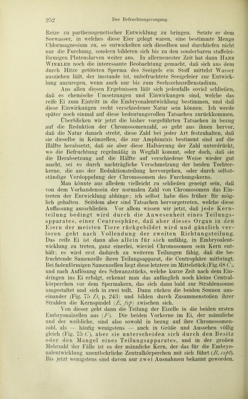 Reize zu parthenogenetischer Entwicklung zu bringen. Setzte er dem Seewasser, in welches diese Eier gelegt waren, eine bestimmte Menge Chlormagnesium zu. so entwickelten sich dieselben und durchliefen nicht nur die Furchung, sondern bildeten sich bis zu den sonderbaren staffelei- förmigen Pluteuslarven weiter aus. In allerneuester Zeit hat dann Hans Winkler noch die interessante Beobachtung gemacht, daß sich aus dem durch Hitze getöteten Sperma des Seeigels ein Stoff mittelst Wasser ausziehen läßt, der imstande ist, unbefruchtete Seeigeleier zur Entwick- lung anzuregen, wenn auch nur bis zum Sechszehnzellenstadium. Aus allen diesen Ergebnissen läßt sich jedenfalls soviel schließen, daß es chemische Umsetzungen und Einwirkungen sind, welche das reife Ei zum Eintritt in die Embryonalentwicklung bestimmen, und daß diese Einwirkungen recht verschiedener Natur sein können. Ich werde später noch einmal auf diese bedeutungsvollen Tatsachen zurückkommen. Überblicken wir jetzt die bisher vorgeführten Tatsachen in bezug auf die Reduktion der Chromosomenzahl, so geht aus ihnen hervor, daß die Natur danach strebt, diese Zahl bei jeder Art festzuhalten, daß sie dieselbe in Keimzellen, die zur Amphimixis bestimmt sind auf die Hälfte herabsetzt, daß sie aber diese Halbierung der Zahl unterdrückt, wo die Befruchtung regelmäßig in Wegfall kommt, oder doch, daß sie die Herabsetzung auf die Hälfte auf verschiedene Weise wieder gut macht, sei es durch nachträgliche Verschmelzung der beiden Tochter- kerne. die aus der Reduktionsteilung hervorgehen, oder durch selbst- ständige Verdoppelung der Chromosomen des Furchungskerns. Man könnte aus alledem vielleicht zu schließen geneigt sein, daß von dem Vorhandensein der normalen Zahl von Chromosomen das Ein- treten der Entwicklung abhinge; ich selbst habe dies früher für mög- lich gehalten. Seitdem aber sind Tatsachen hervorgetreten, welche diese Auffassung ausschließen. Vor allem wissen wir jetzt, daß jede Kern- teilung bedingt wird durch die Anwesenheit eines Teilungs- apparates, einer Centrosphäre, daß aber dieses Organ in den Eiern der meisten Tiere rückgebildet wird und gänzlich ver- loren geht nach Vollendung der zweiten Richtungsteilung. Das reife Ei ist dann also allein für sich unfähig, in Embryoalent- wicklung zu treten, ganz einerlei, wieviel Chromosomen sein Kern ent- hält; es wird erst dadurch zu weiteren Teilungen fähig, daß die be- fruchtende Samenzelle ihren Teilungsapparat, die Centrophäre mitbringt. Bei fadenförmigen Samenzellen liegt diese letztere im Mittelstück (Fig. 68 C), und nach Auflösung des Schwanzstücks, welche kurze Zeit nach dem Ein- dringen ins Ei erfolgt, erkennt man das anfänglich noch kleine Central- körperchen vor dem Spermakern, das sich dann bald zur Strahlensonne umgestaltet und sich in zwei teilt. Dann rücken die beiden Sonnen aus- einander (Fig. 75 D, p. 243) und bilden durch Zusammenstößen ihrer Strahlen die Kernspindel (E, fsp) zwischen sich. Von dieser geht dann die Teilung der Eizelle in die beiden ersten Embryonalzellen aus (F). Die beiden Vorkerne im Ei, der männliche und der weibliche, sind also sowohl in bezug auf ihre Chromosomen- zahl, als — häufig wenigstens — auch in Größe und Aussehen völlig- gleich (Fig. 75 C), aber sie unterscheiden sich durch den Besitz oder den Mangel eines Teilungsapparates, und in der großen Mehrzahl 'der Fälle ist es der männliche Kern, der das für die Embryo- nalentwicklung unentbehrliche Zentralkörperchen mit sich führt (B, cspt). Bis jetzt wenigstens sind davon nur zwei Ausnahmen bekannt geworden.