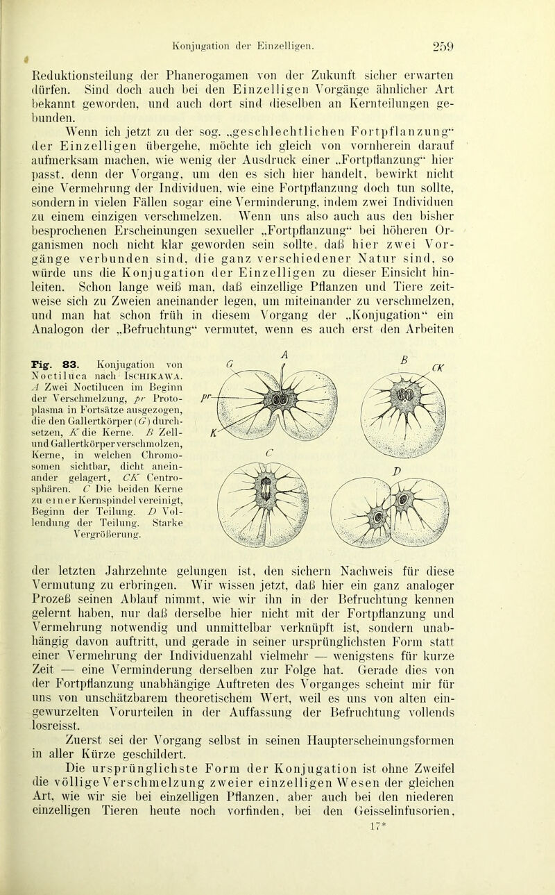 Reduktionsteilung der Phanerogamen von der Zukunft sicher erwarten dürfen. Sind doch auch bei den Einzelligen Vorgänge ähnlicher Art bekannt geworden, und auch dort sind dieselben an Kernteilungen ge- bunden. Wenn ich jetzt zu der sog. „geschlechtlichen Fortpflanzung“ der Einzelligen übergehe, möchte ich gleich von vornherein darauf aufmerksam machen, wie wenig der Ausdruck einer „Fortpflanzung“ hier passt, denn der Vorgang, um den es sich hier handelt, bewirkt nicht eine Vermehrung der Individuen, wie eine Fortpflanzung doch tun sollte, sondern in vielen Fällen sogar eine Verminderung, indem zwei Individuen zu einem einzigen verschmelzen. Wenn uns also auch aus den bisher besprochenen Erscheinungen sexueller „Fortpflanzung“ bei höheren Or- ganismen noch nicht klar geworden sein sollte, daß hier zwei Vor- gänge verbunden sind, die ganz verschiedener Natur sind, so würde uns die Konjugation der Einzelligen zu dieser Einsicht hin- leiten. Schon lange weiß man, daß einzellige Pflanzen und Tiere zeit- weise sich zu Zweien aneinander legen, um miteinander zu verschmelzen, und man hat schon früh in diesem Vorgang der „Konjugation“ ein Analogon der „Befruchtung“ vermutet, wenn es auch erst den Arbeiten Fig. 83. Konjugation von Noctiliica nach Ischikawa. A Zwei Noctilncen im Beginn der Verschmelzung, pr Proto- plasma in Fortsätze ausgezogen, die den Gallertkörper (G) durch- setzen, Kdie Kerne. B Zell- und Gallertkörper verschmolzen, Kerne, in welchen Chromo- somen sichtbar, dicht anein- ander gelagert, CK Centro- sphären. C Die beiden Kerne zu einer Kernspindel vereinigt, Beginn der Teilung. D Vol- lendung der Teilung. Starke Vergrößerung. der letzten Jahrzehnte gelungen ist, den sichern Nachweis für diese Vermutung zu erbringen. Wir wissen jetzt, daß hier ein ganz analoger Prozeß seinen Ablauf nimmt, wie wir ihn in der Befruchtung kennen gelernt haben, nur daß derselbe hier nicht mit der Fortpflanzung und Vermehrung notwendig und unmittelbar verknüpft ist, sondern unab- hängig davon auftritt, und gerade in seiner ursprünglichsten Form statt einer Vermehrung der Individuenzahl vielmehr — wenigstens für kurze Zeit — eine Verminderung derselben zur Folge hat. Gerade dies von der Fortpflanzung unabhängige Auftreten des Vorganges scheint mir für uns von unschätzbarem theoretischem Wert, weil es uns von alten ein- gewurzelten Vorurteilen in der Auffassung der Befruchtung vollends losreisst. Zuerst sei der Vorgang selbst in seinen Haupterscheinungsformen in aller Kürze geschildert. Die ursprünglichste Form der Konjugation ist ohne Zweifel die völlige Verschmelzung zweier einzelligen Wesen der gleichen Art, wie wir sie bei einzelligen Pflanzen, aber auch bei den niederen einzelligen Tieren heute noch vorfinden, bei den Geisselinfusorien, 17*