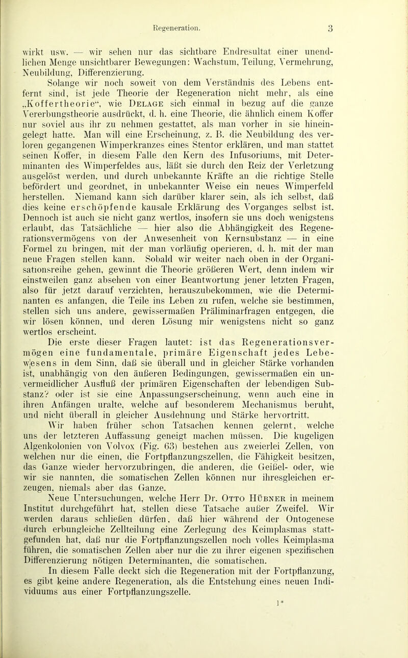 wirkt usw. — wir sehen nur das sichtbare Endresultat einer unend- lichen Menge unsichtbarer Bewegungen: Wachstum, Teilung, Vermehrung, Neubildung, Differenzierung. Solange wir noch soweit von dem Verständnis des Lebens ent- fernt sind, ist jede Theorie der Regeneration nicht mehr, als eine „Koffertheorie“, wie Delage sich einmal in bezug auf die ganze Vererbungstheorie ausdrückt, d. h. eine Theorie, die ähnlich einem Koffer nur soviel aus ihr zu nehmen gestattet, als man vorher in sie hinein- gelegt hatte. Man will eine Erscheinung, z. B. die Neubildung des ver- loren gegangenen Wimperkranzes eines Stentor erklären, und man stattet seinen Koffer, in diesem Falle den Kern des Infusoriums, mit Deter- minanten des Wimperfeldes aus, läßt sie durch den Reiz der Verletzung ausgelöst werden, und durch unbekannte Kräfte an die richtige Stelle befördert und geordnet, in unbekannter Weise ein neues Wimperfeld herstellen. Niemand kann sich darüber klarer sein, als ich selbst, daß dies keine erschöpfende kausale Erklärung des Vorganges selbst ist. Dennoch ist auch sie nicht ganz wertlos, insofern sie uns doch wenigstens erlaubt, das Tatsächliche — hier also die Abhängigkeit des Regene- rationsvermögens von der Anwesenheit von Kernsubstanz — in eine Formel zu bringen, mit der man vorläufig operieren, d. h. mit der man neue Fragen stellen kann. Sobald wir weiter nach oben in der Organi- sationsreihe gehen, gewinnt die Theorie größeren Wert, denn indem wir einstweilen ganz absehen von einer Beantwortung jener letzten Fragen, also für jetzt darauf verzichten, herauszubekommen, wie die Determi- nanten es anfangen, die Teile ins Leben zu rufen, welche sie bestimmen, stellen sich uns andere, gewissermaßen Präliminarfragen entgegen, die wir lösen können, und deren Lösung mir wenigstens nicht so ganz wertlos erscheint. Die erste dieser Fragen lautet: ist das Regenerationsver- mögen eine fundamentale, primäre Eigenschaft jedes Lebe- wjesens in dem Sinn, daß sie überall und in gleicher Stärke vorhanden ist, unabhängig von den äußeren Bedingungen, gewissermaßen ein un- vermeidlicher Ausfluß der primären Eigenschaften der lebendigen Sub- stanz? oder ist sie eine Anpassungserscheinung, wenn auch eine in ihren Anfängen uralte, welche auf besonderem Mechanismus beruht, und nicht überall in gleicher Ausdehnung und Stärke hervortritt. Wir haben früher schon Tatsachen kennen gelernt, welche uns der letzteren Auffassung geneigt machen müssen. Die kugeligen Algenkolonien von Volvox (Fig. 63) bestehen aus zweierlei Zellen, von welchen nur die einen, die Fortpflanzungszellen, die Fähigkeit besitzen, das Ganze wieder hervorzubringen, die anderen, die Geißel- oder, wie wir sie nannten, die somatischen Zellen können nur ihresgleichen er- zeugen, niemals aber das Ganze. Neue Untersuchungen, welche Herr Dr. Otto LIübner in meinem Institut durchgeführt hat, stellen diese Tatsache außer Zweifel. Wir werden daraus schließen dürfen. daß hier während der Ontogenese durch erbungleiche Zellteilung eine Zerlegung des Keimplasmas statt- gefnnden hat, daß nur die Fortpffanzungszellen noch volles Keimplasma führen, die somatischen Zellen aber nur die zu ihrer eigenen spezifischen Differenzierung nötigen Determinanten, die somatischen. In diesem Falle deckt sich die Regeneration mit der Fortpflanzung, es gibt keine andere Regeneration, als die Entstehung eines neuen Indi- viduums aus einer Fortpflanzungszelle. 1*