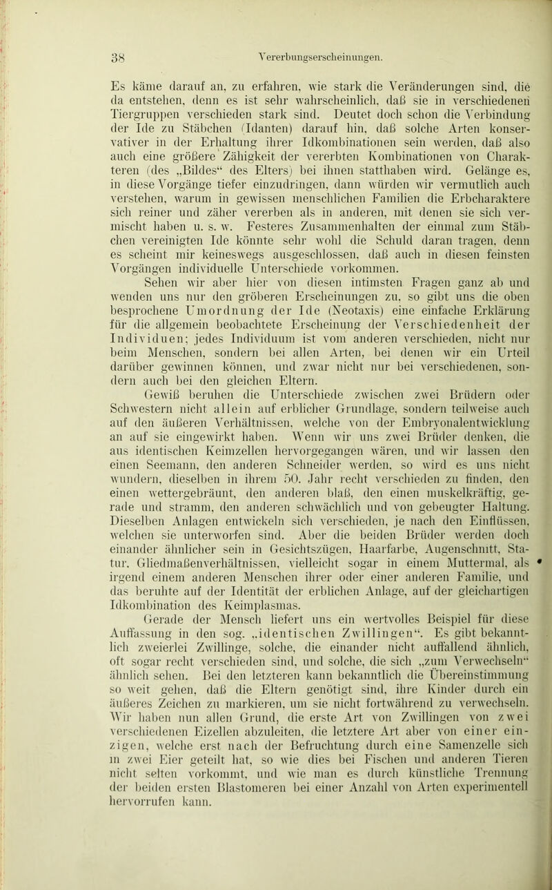 Es käme darauf an, zu erfahren, wie stark die Veränderungen sind, die da entstellen, denn es ist sein' wahrscheinlich, daß sie in verschiedenen Tiergruppen verschieden stark sind. Deutet doch schon die Verbindung der Ide zu Stäbchen (Idanten) darauf hin, daß solche Arten konser- vativer in der Erhaltung ihrer Idkombinationen sein werden, daß also auch eine größere Zähigkeit der vererbten Kombinationen von Charak- teren (des „Bildes“ des Elters) bei ihnen statthaben wird. Gelänge es, in diese Vorgänge tiefer einzudringen, dann würden wir vermutlich auch verstehen, warum in gewissen menschlichen Familien die Erbcharaktere sich reiner und zäher vererben als in anderen, mit denen sie sich ver- mischt haben u. s. w. Festeres Zusammenhalten der einmal zum Stäb- chen vereinigten Ide könnte sehr wohl die Schuld daran tragen, denn es scheint mir keineswegs ausgeschlossen, daß auch in diesen feinsten Vorgängen individuelle Unterschiede Vorkommen. Sehen wir aber hier von diesen intimsten Fragen ganz ab und wenden uns nur den gröberen Erscheinungen zu, so gibt uns die oben besprochene Einordnung der Ide (Neotaxis) eine einfache Erklärung für die allgemein beobachtete Erscheinung der Verschiedenheit der Individuen; jedes Individuum ist vom anderen verschieden, nicht nur beim Menschen, sondern bei allen Arten, bei denen wir ein Urteil darüber gewinnen können, und zwar nicht nur bei verschiedenen, son- dern auch bei den gleichen Eltern. Gewiß beruhen die Unterschiede zwischen zwei Brüdern oder Schwestern nicht allein auf erblicher Grundlage, sondern teilweise auch auf den äußeren Verhältnissen, welche von der Embryonalentwicklung an auf sie eingewirkt haben. Wenn wir uns zwei Brüder denken, die aus identischen Keimzellen hervorgegangen wären, und wir lassen den einen Seemann, den anderen Schneider werden, so wird es uns nicht wundern, dieselben in ihrem 50. Jahr recht verschieden zu finden, den einen wettergebräunt, den anderen blaß, den einen muskelkräftig, ge- rade und stramm, den anderen schwächlich und von gebeugter Haltung. Dieselben Anlagen entwickeln sich verschieden, je nach den Einflüssen, welchen sie unterworfen sind. Aber die beiden Brüder werden doch einander ähnlicher sein in Gesichtszügen, Haarfarbe, Augenschnitt, Sta- tur. Gliedmaßenverhältnissen, vielleicht sogar in einem Muttermal, als irgend einem anderen Menschen ihrer oder einer anderen Familie, und das beruhte auf der Identität der erblichen Anlage, auf der gleichartigen Idkombination des Keimplasmas. Gerade der Mensch liefert uns ein wertvolles Beispiel für diese Auflassung in den sog. „identischen Zwillingen“. Es gibt bekannt- lich zweierlei Zwillinge, solche, die einander nicht auffallend ähnlich, oft sogar recht verschieden sind, und solche, die sich „zum Verwechseln'“ ähnlich sehen. Bei den letzteren kann bekanntlich die Übereinstimmung so weit gehen, daß die Eltern genötigt sind, ihre Kinder durch ein äußeres Zeichen zu markieren, um sie nicht fortwährend zu verwechseln. Wir haben nun allen Grund, die erste Art von Zwillingen von zwei verschiedenen Eizellen abzuleiten, die letztere Art aber von einer ein- zigen, welche erst nach der Befruchtung durch eine Samenzelle sich in zwei Eier geteilt hat, so wie dies bei Fischen und anderen Tieren nicht selten vorkommt, und wie man es durch künstliche Trennung der beiden ersten Blastomeren bei einer Anzahl von Arten experimentell hervorrufen kann.