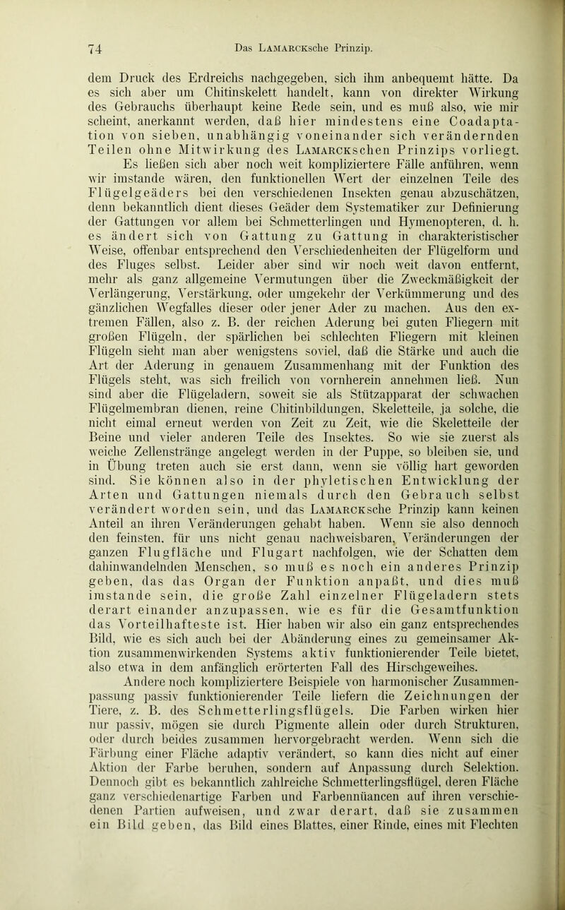 dem Druck des Erdreichs nachgegeben, sich ihm anbequemt hätte. Da es sich aber um Chitinskelett handelt, kann von direkter Wirkung des Gebrauchs überhaupt keine Rede sein, und es muß also, wie mir scheint, anerkannt werden, daß hier mindestens eine Coadapta- tion von sieben, unabhängig voneinander sich verändernden Teilen ohne Mitwirkung des LAMARCKSchen Prinzips vorliegt. Es ließen sich aber noch weit kompliziertere Fälle anführen, wenn wir imstande wären, den funktionellen Wert der einzelnen Teile des Flügelgeäders bei den verschiedenen Insekten genau abzuschätzen, denn bekanntlich dient dieses Geäder dem Systematiker zur Definierung der Gattungen vor allem bei Schmetterlingen und Hymenopteren, d. h. es ändert sich von Gattung zu Gattung in charakteristischer Weise, offenbar entsprechend den Verschiedenheiten der Flügelform und des Fluges selbst. Leider aber sind wir noch weit davon entfernt, mehr als ganz allgemeine Vermutungen über die Zweckmäßigkeit der Verlängerung, Verstärkung, oder umgekehr der Verkümmerung und des gänzlichen Wegfalles dieser oder jener Ader zu machen. Aus den ex- tremen Fällen, also z. B. der reichen Äderung bei guten Fliegern mit großen Flügeln, der spärlichen bei schlechten Fliegern mit kleinen Flügeln sieht man aber wenigstens soviel, daß die Stärke und auch die Art der Äderung in genauem Zusammenhang mit der Funktion des Flügels steht, was sich freilich von vornherein annehmen ließ. Nun sind aber die Flügeladern, soweit sie als Stützapparat der schwachen Flügelmembran dienen, reine Chitinbildungen, Skeletteile, ja solche, die nicht eimal erneut werden von Zeit zu Zeit, wie die Skeletteile der Beine und vieler anderen Teile des Insektes. So wie sie zuerst als weiche Zellenstränge angelegt werden in der Puppe, so bleiben sie, und in Übung treten auch sie erst dann, wenn sie völlig hart geworden sind. Sie können also in der phyletischen Entwicklung der Arten und Gattungen niemals durch den Gebrauch selbst verändert worden sein, und das Lamarck sehe Prinzip kann keinen Anteil an ihren Veränderungen gehabt haben. Wenn sie also dennoch den feinsten, für uns nicht genau nachweisbaren, Veränderungen der ganzen Flugfläche und Flugart nachfolgen, wie der Schatten dem dahinwandelnden Menschen, so muß es noch ein anderes Prinzip geben, das das Organ der Funktion anpaßt, und dies muß imstande sein, die große Zahl einzelner Flügeladern stets derart einander anzupassen, wie es für die Gesamtfunktion das Vorteilhafteste ist. Hier haben wir also ein ganz entsprechendes Bild, wie es sich auch bei der Abänderung eines zu gemeinsamer Ak- tion zusammen wirkenden Systems aktiv funktionierender Teile bietet, also etwa in dem anfänglich erörterten Fall des Hirschgeweihes. Andere noch kompliziertere Beispiele von harmonischer Zusammen- passung passiv funktionierender Teile liefern die Zeichnungen der Tiere, z. B. des Schmetterlingsflügels. Die Farben wirken hier nur passiv, mögen sie durch Pigmente allein oder durch Strukturen, oder durch beides zusammen hervorgebracht werden. Wenn sich die Färbung einer Fläche adaptiv verändert, so kann dies nicht auf einer Aktion der Farbe beruhen, sondern auf Anpassung durch Selektion. Dennoch gibt es bekanntlich zahlreiche Sclmietterlingsflügel. deren Fläche ganz verschiedenartige Farben und Farbenniiancen auf ihren verschie- denen Partien auf weisen, und zwar derart, daß sie zusammen ein Bild geben, das Bild eines Blattes, einer Rinde, eines mit Flechten