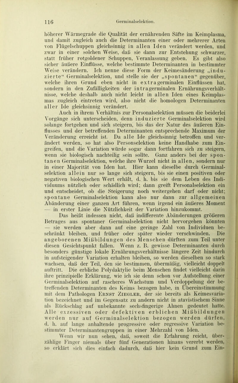höherer Wärmegrade die Qualität der ernährenden Säfte im Keimplasma, und damit zugleich auch die Determinanten einer oder mehrerer Arten von Flügelschuppen gleichsinnig in allen Iden verändert werden, und zwar in einer solchen Weise, daß sie dann zur Entstehung schwarzer, statt früher rotgoldener Schuppen, Veranlassung geben. Es gibt also sicher äußere Einflüsse, welche bestimmte Determinanten in bestimmter Weise verändern. Ich nenne diese Form der Keimesänderung „indu- zierte“ Germinalselektion, und stelle sie der „spontanen“ gegenüber, welche ihren Grund eben nicht in extragerminalen Einflüssen hat, sondern in den Zufälligkeiten der intragerminalen Ernährungsverhält- nisse, welche deshalb auch nicht leicht in allen Iden eines Keimplas- mas zugleich eintreten wird, also nicht die homologen Determinanten aller Ide gleichsinnig verändert. Auch in ihrem Verhältnis zur Personalselektion müssen die beiderlei Vorgänge sich unterscheiden, denn induzierte Germinalselektion wird solange fortgehen und sich steigern, bis das der Natur des äußeren Ein- flusses und der betreffenden Determinanten entsprechende Maximum der Veränderung erreicht ist. Da alle Ide gleichsinnig betroffen und ver- ändert werden, so hat also Person Selektion keine Handhabe zum Ein- greifen, und die Variation würde sogar dann fortfahren sich zu steigern, wenn sie biologisch nachteilig sein sollte. Ganz anders bei der spon- tanen Germinalselektion, welche ihre Wurzel nicht in allen, sondern nur in einer Majorität von Iden hat. Hier kann dieselbe durch Germinal- selektion allein nur so lange sich steigern, bis sie einen positiven oder negativen biologischen Wert erhält, d. h. bis sie dem Leben des Indi- viduums nützlich oder schädlich wird; dann greift Personalselektion ein und entscheidet, ob die Steigerung noch weitergehen darf oder nicht; spontane Germinalselektion kann also nur dann zur allgemeinen Abänderung einer ganzen Art führen, wenn irgend ein äußeres Moment — in erster Linie die Nützlichkeit der Variation hinzukommt. Das heißt indessen nicht, daß indifferente Abänderungen größeren Betrages aus spontaner Germinalselektion nicht hervorgehen könnten — sie werden aber dann auf eine geringe Zahl von Individuen be- schränkt bleiben, und früher oder später wieder verschwinden. Die angeborenen Mißbildungen des Menschen dürften zum Teil unter diesen Gesichtspunkt fallen. Wenn z. B. gewisse Determinanten durch besonders günstige lokale Ernährungsverhältnisse längere Zeit hindurch in aufsteigender Variation erhalten bleiben, so werden dieselben so stark wachsen, daß der Teil, den sie bestimmen, übermäßig, vielleicht doppelt auftritt. Die erbliche Polydaktylie beim Menschen findet vielleicht darin ihre prinzipielle Erklärung, wie ich sie denn schon vor Aufstellung einer Germinalselektion auf rascheres Wachstum und Verdoppelung der be- treffenden Determinanten des Keims bezogen habe, in Übereinstimmung mit dem Pathologen Ernst Ziegler, der sie bereits als Keimesvaria- tion bezeichnet und im Gegensatz zu andern nicht in atavistischem Sinne als Rückschlag auf unbekannte sechsfingerige Ahnen gedeutet hatte. Alle exzessiven oder defektiven erblichen Mißbildungen werden nur auf Germinalselektion bezogen werden dürfen, d. h. auf lange anhaltende progressive oder regressive Variation be- stimmter Determinantengruppen in einer Mehrzahl von Iden. Wenn wir nun sehen, daß, soweit die Erfahrung reicht, über- zählige Finger niemals über fünf Generationen hinaus vererbt werden, so erklärt sich dies einfach dadurch, daß hier kein Grund zum Ein-