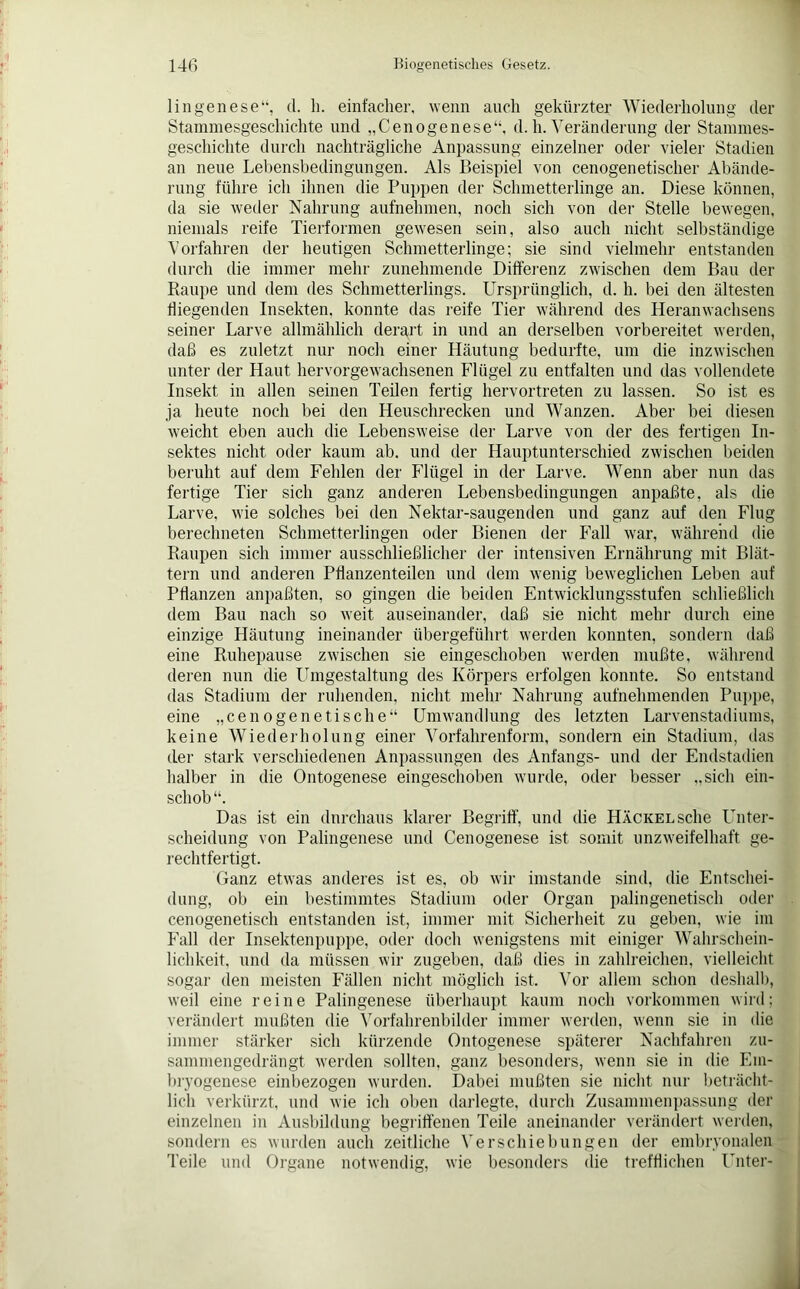 lingenese“, d. li. einfacher, wenn auch gekürzter Wiederholung der Stammesgeschichte und „Cenogenese“, d. h. Veränderung der Stammes- geschichte durch nachträgliche Anpassung einzelner oder vieler Stadien an neue Lebensbedingungen. Als Beispiel von cenogenetischer Abände- rung führe ich ihnen die Puppen der Schmetterlinge an. Diese können, da sie weder Nahrung aufnehmen, noch sich von der Stelle bewegen, niemals reife Tierformen gewesen sein, also auch nicht selbständige Vorfahren der heutigen Schmetterlinge; sie sind vielmehr entstanden durch die immer mehr zunehmende Differenz zwischen dem Bau der Raupe und dem des Schmetterlings. Ursprünglich, d. h. bei den ältesten fliegenden Insekten, konnte das reife Tier während des Heranwachsens seiner Larve allmählich derart in und an derselben vorbereitet werden, daß es zuletzt nur noch einer Häutung bedurfte, um die inzwischen unter der Haut hervorgewachsenen Flügel zu entfalten und das vollendete Insekt in allen seinen Teilen fertig hervortreten zu lassen. So ist es ja heute noch bei den Heuschrecken und Wanzen. Aber bei diesen weicht eben auch die Lebensweise der Larve von der des fertigen In- sektes nicht oder kaum ab. und der Hauptunterschied zwischen beiden beruht auf dem Fehlen der Flügel in der Larve. Wenn aber nun das fertige Tier sich ganz anderen Lebensbedingungen anpaßte, als die Larve, wie solches bei den Nektar-saugenden und ganz auf den Flug berechneten Schmetterlingen oder Bienen der Fall war, während die Raupen sich immer ausschließlicher der intensiven Ernährung mit Blät- tern und anderen Pflanzenteilen und dem wenig beweglichen Leben auf Pflanzen anpaßten, so gingen die beiden Entwicklungsstufen schließlich dem Bau nach so weit auseinander, daß sie nicht mehr durch eine einzige Häutung ineinander übergeführt werden konnten, sondern daß eine Ruhepause zwischen sie eingeschoben werden mußte, während deren nun die Umgestaltung des Körpers erfolgen konnte. So entstand das Stadium der ruhenden, nicht mehr Nahrung aufnehmenden Puppe, eine „ce no gene tische“ Umwandlung des letzten Larvenstadiums, keine Wiederholung einer Vorfahrenform, sondern ein Stadium, das der stark verschiedenen Anpassungen des Anfangs- und der Endstadien halber in die Ontogenese eingeschoben wurde, oder besser „sich eiu- scliob “. Das ist ein durchaus klarer Begriff, und die HÄCKELsche Unter- scheidung von Palingenese und Cenogenese ist somit unzweifelhaft ge- rechtfertigt. Ganz etwas anderes ist es, ob wir imstande sind, die Entschei- dung, ob ein bestimmtes Stadium oder Organ palingenetisch oder cenogenetisch entstanden ist, immer mit Sicherheit zu geben, wie im Fall der Insektenpuppe, oder doch wenigstens mit einiger Wahrschein- lichkeit. und da müssen wir zugeben, daß dies in zahlreichen, vielleicht sogar den meisten Fällen nicht möglich ist. Vor allem schon deshalb, weil eine reine Palingenese überhaupt kaum noch Vorkommen wird; verändert mußten die Vorfahrenbilder immer werden, wenn sie in die immer stärker sich kürzende Ontogenese späterer Nachfahren zu- sammengedrängt werden sollten, ganz besonders, wenn sie in die Eni- bryogenese einbezogen wurden. Dabei mußten sie nicht nur beträcht- lich verkürzt, und wie ich oben darlegte, durch Zusammenpassung der einzelnen in Ausbildung begriffenen Teile aneinander verändert werden, sondern es wurden auch zeitliche Verschiebungen der embryonalen Teile und Organe notwendig, wie besonders die trefflichen Unter-