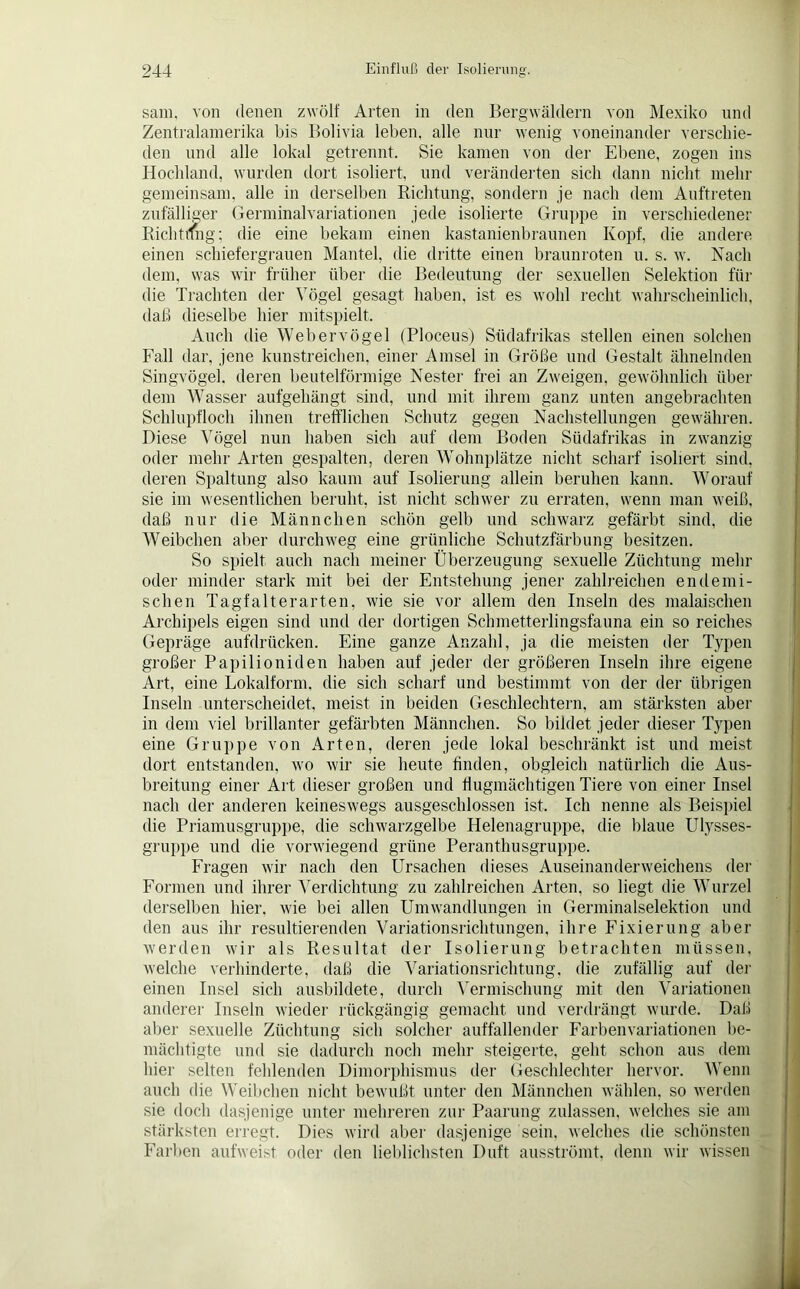 sam, von denen zwölf Arten in den Bergwäldern von Mexiko und Zentralamerika bis Bolivia leben, alle nur wenig voneinander verschie- den und alle lokal getrennt. Sie kamen von der Ebene, zogen ins Hochland, wurden dort isoliert, und veränderten sich dann nicht mehr gemeinsam, alle in derselben Richtung, sondern je nach dem Auftreten zufälliger Germinalvariationen jede isolierte Gruppe in verschiedener Richtung; die eine bekam einen kastanienbraunen Kopf, die andere einen schiefergrauen Mantel, die dritte einen braunroten u. s. w. Nach dem, was wir früher über die Bedeutung der sexuellen Selektion für die Trachten der Vögel gesagt haben, ist es wohl recht wahrscheinlich, daß dieselbe hier mitspielt. Auch die Webervögel (Ploceus) Südafrikas stellen einen solchen Fall dar, jene kunstreichen, einer Amsel in Größe und Gestalt ähnelnden Singvögel, deren beutelförmige Nester frei an Zweigen, gewöhnlich über dem Wasser aufgehängt sind, und mit ihrem ganz unten angebrachten Schlupfloch ihnen trefflichen Schutz gegen Nachstellungen gewähren. Diese Vögel nun haben sich auf dem Boden Südafrikas in zwanzig oder mehr Arten gespalten, deren Wohnplätze nicht scharf isoliert sind, deren Spaltung also kaum auf Isolierung allein beruhen kann. Worauf sie im wesentlichen beruht, ist nicht schwer zu erraten, wenn man weiß, daß nur die Männchen schön gelb und schwarz gefärbt sind, die Weibchen aber durchweg eine grünliche Schutzfärbung besitzen. So spielt auch nach meiner Überzeugung sexuelle Züchtung mehr oder minder stark mit bei der Entstehung jener zahlreichen endemi- schen Tagfalterarten, wie sie vor allem den Inseln des malaischen Archipels eigen sind und der dortigen Schmetterlingsfauna ein so reiches Gepräge aufdrücken. Eine ganze Anzahl, ja die meisten der Typen großer Papilioniden haben auf jeder der größeren Inseln ihre eigene Art, eine Lokalform, die sich scharf und bestimmt von der der übrigen Inseln unterscheidet, meist in beiden Geschlechtern, am stärksten aber in dem viel brillanter gefärbten Männchen. So bildet jeder dieser Typen eine Gruppe von Arten, deren jede lokal beschränkt ist und meist dort entstanden, wo wir sie heute finden, obgleich natürlich die Aus- breitung einer Art dieser großen und flugmächtigen Tiere von einer Insel nach der anderen keineswegs ausgeschlossen ist. Ich nenne als Beispiel die Priamusgruppe, die schwarzgelbe Helenagruppe, die blaue Ulysses- gruppe und die vorwiegend grüne Peranthusgruppe. Fragen wir nach den Ursachen dieses Auseinanderweichens der Formen und ihrer Verdichtung zu zahlreichen Arten, so liegt die Wurzel derselben hier, wie bei allen Umwandlungen in Germinalselektion und den aus ihr resultierenden Variationsrichtungen, ihre Fixierung aber werden wir als Resultat der Isolierung betrachten müssen, welche verhinderte, daß die Variationsrichtung, die zufällig auf der einen Insel sich ausbildete, durch Vermischung mit den Variationen anderer Inseln wieder rückgängig gemacht und verdrängt wurde. Daß aber sexuelle Züchtung sich solcher auffallender Farbenvariationen be- mächtigte und sie dadurch noch mehr steigerte, geht schon aus dem hier selten feldenden Dimorphismus der Geschlechter hervor. Wenn auch die Weibchen nicht bewußt unter den Männchen wählen, so werden sie doch dasjenige unter mehreren zur Paarung zulassen, welches sie am stärksten erregt. Dies wird aber dasjenige sein, welches die schönsten Farben aufweist oder den lieblichsten Duft ausströmt, denn wir wissen