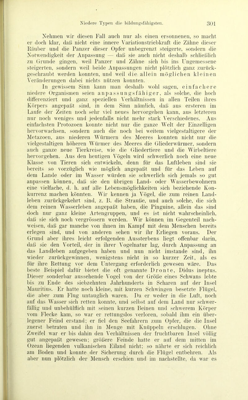 Nehmen wir diesen Fall auch nur als einen ersonnenen, so macht er doch klar, daß nicht eine innere Variationstriebkraft die Zähne dieser Räuber und die Panzer dieser Opfer unbegrenzt steigerte, sondern die Notwendigkeit der Anpassung — daß sie auch nicht deshalb schließlich zu Grunde gingen, weil Panzer und Zähne sich bis ins Ungemessene steigerten, sondern weil beide Anpassungen nicht plötzlich ganz zurück- geschraubt werden konnten, und weil die allein möglichen kleinen Veränderungen dabei nichts nützen konnten. In gewissem Sinn kann man deshalb wohl sagen, einfachere niedere Organismen seien anpassungsfähiger, als solche, die hoch differenziert und ganz speziellen Verhältnissen in allen Teilen ihres Körpers angepaßt sind, in dem Sinn nämlich, daß aus ersteren im Laufe der Zeiten noch sehr viel neues hervorgehen kann, aus letzteren nur noch weniges und jedenfalls nicht mehr stark Verschiedenes. Aus einfachsten Protozoen konnte nicht nur die ganze Welt der Einzelligen hervorwachsen, sondern auch die noch bei weitem vielgestaltigere der Metazoen, aus niederen Würmern des Meeres konnten nicht nur die vielgestaltigen höheren Würmer des Meeres die Gliederwürmer, sondern auch ganze neue Tierkreise, wie die Gliedertiere und die Wirbeltiere hervorgehen. Aus den heutigen Vögeln wird schwerlich noch eine neue Klasse von Tieren sich entwickeln, denn für das Luftleben sind sie bereits so vorzüglich wie möglich angepaßt und für das Leben auf dem Lande oder im Wasser würden sie schwerlich sich jemals so gut anpassen können, daß sie den übrigen Land- oder Wasserbewohnern eine vielfache, d. h. auf alle Lebensmöglichkeiten sich beziehende Kon- kurrenz machen könnten. Wir kennen ja Vögel, die zum reinen Land- leben zurückgekehrt sind, z. B. die Strauße, und auch solche, die sich dem reinen Wasserleben angepaßt haben, die Pinguine, allein das sind doch nur ganz kleine Artengruppen, und es ist nicht wahrscheinlich, daß sie sich noch vergrössern werden. Wir können im Gegenteil nack- weisen, daß gar manche von ihnen im Kampf mit dem Menschen bereits erlegen sind, und von anderen sehen wir ihr Erliegen voraus. Der Grund aber ihres leicht erfolgenden Aussterbens liegt offenbar darin, daß sie den Vorteil, der in ihrer Vogelnatur lag, durch Anpassung an das Landleben aufgegeben haben und nun nicht imstande sind, ihn wieder zurückgewinnen, wenigstens nicht in so kurzer Zeit, als es für ihre Rettung vor dem Untergang erforderlich gewesen wäre. Das beste Beispiel dafür bietet die oft genannte Droute, Didus ineptus. Dieser sonderbar aussehende Vogel von der Größe eines Schwans lebte bis zu Ende des siebzehnten Jahrhunderts in Scharen auf der Insel Mauritius. Er hatte noch kleine, mit kurzen Schwingen besetzte Flügel, die aber zum Flug untauglich waren. Da er weder in die Luft, noch auf das Wasser sich retten konnte, und selbst auf dem Land nur schwer- fällig und unbehültlich mit seinen kurzen Beinen und schwerem Körper vom Flecke kam, so war er rettungslos verloren, sobald ihm ein über- legener Feind erstand; er fiel den Seefahrern zum Opfer, die die Insel zuerst betraten und ihn in Menge mit Knüppeln erschlugen. Ohne Zweifel war er bis dahin den Verhältnissen der fruchtbaren Insel völlig gut angepaßt gewesen; größere Feinde hatte er auf dem mitten im Ozean liegenden vulkanischen Eiland nicht; so nährte er sich reichlich am Boden und konnte der Sicherung durch die Flügel entbehren. Als aber nun plötzlich der Mensch erschien und im nachstellte, da war es