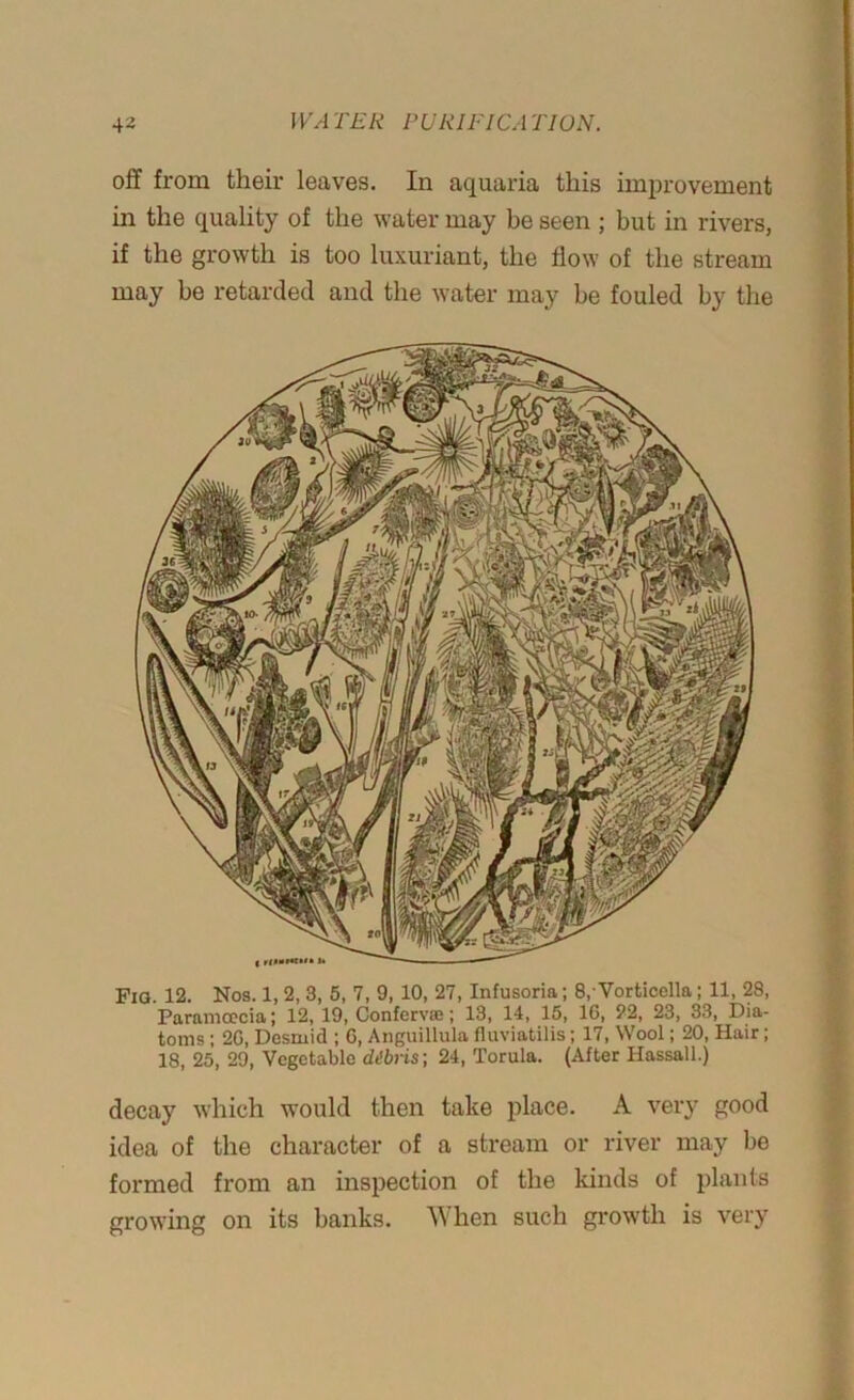 off from their leaves. In aquaria this improvement in the quality of the water may be seen ; but in rivers, if the growth is too luxuriant, the flow of the stream may be retarded and the water may be fouled by the Fiq. 12. Nos. 1, 2, 3, 5, 7, 9, 10, 27, Infusoria; 8,-Vorticella; 11, 28, Paramoecia; 12, 19, Confervse; 13, 14, 15, 16, 22, 23, 33, Dia- toms ; 26, Desruid ; 6, Anguillula fluviatilis; 17, Wool; 20, Hair; 18, 25, 29, Vegetable ddbris; 24, Torula. (After Hassall.) decay which would then take place. A very good idea of the character of a stream or river may be formed from an inspection of the kinds of plants growing on its banks. When such growth is very