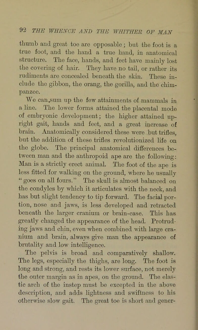 thumb and great toe aro opposable ; but the foot is a true foot, and the hand a true hand, in anatomical structure. The face, hands, and feet have mainly lost the covering of hair. They have no tail, or rather its rudiments are concealed beneath the skin. These in- clude the gibbon, the orang, the gorilla, and the chim- panzee. We can .sum up the few attainments of mammals in a line. The lower forms attained the placental mode of embryonic development; the higher attained up- right gait, hands and feet, and a great increase of brain. Anatomically considered these were but trifles, but the addition of these trifles revolutionized life on the globe. The principal anatomical differences be- tween man and the anthropoid ape are the following: Man is a strictly erect animal. The foot of the ape is less fitted for walking on the ground, where he usually “ goes on all fours.” The skull is almost balanced on the condyles by which it articulates with the neck, and bas but slight tendency to tip forward. The facial por- tion, nose and jaws, is less developed and retracted beneath the larger cranium or brain-case. This has greatly changed the appearance of the head. Protrud- ing jaws and chin, even when combined with large cra- nium and brain, always give man the appearance of brutality and low intelligence. The pelvis is broad and comparatively shallow. The legs, especially the thighs, are long. The foot is long and strong, and rests its lower surface, not merely the outer mai’gin as in apes, on the ground. The elas- tic arch of the instep must be excepted in the above description, and adds lightness and swiftness to his otherwise slow gait. The great toe is short and gener-