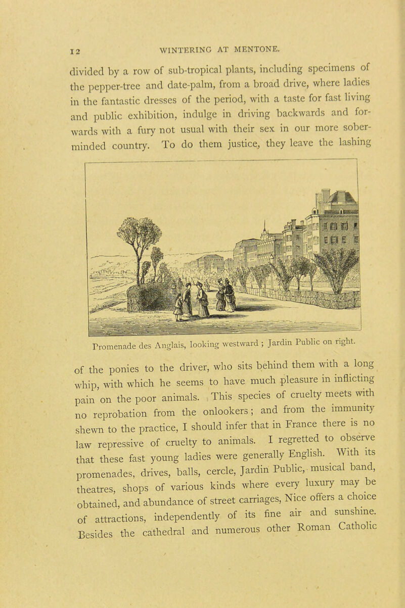 divided by a row of sub-tropical plants, including specimens of the pepper-tree and date-palm, from a broad drive, where ladies in the fantastic dresses of the period, with a taste for fast living and public exhibition, indulge in driving backwards and for- wards with a fury not usual with their sex in our more sober- minded country. To do them justice, they leave the lashing rromenade des Anglais, looking westward ; Jardin Public on right. of the ponies to the driver, who sits behind them with a long whip, with which he seems to have much pleasure in inflicting pain'on the poor animals. This species of cruelty meets with no reprobation from the onlookers; and from the immunit)^ shewn to the practice, I should infer that in France there is no law repressive of cruelty to animals. I regretted to observe that these fast young ladies were generally Enghsh. With its promenades, drives, balls, cercle, Jardin Public, • musical band, theatres, shops of various kinds where every luxury may be obtained, and abundance of street carriages, Nice offers a choice of attractions, independently of its fine air and sunshine. Besides the cathedral and numerous other Roman Catholic