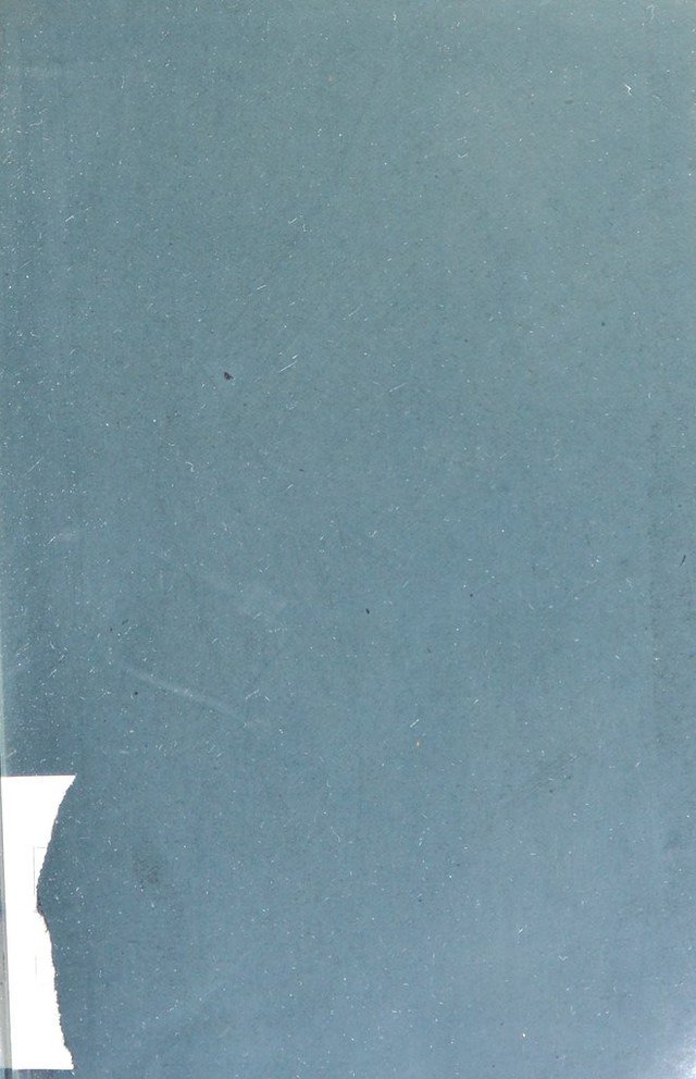 digitised image 3