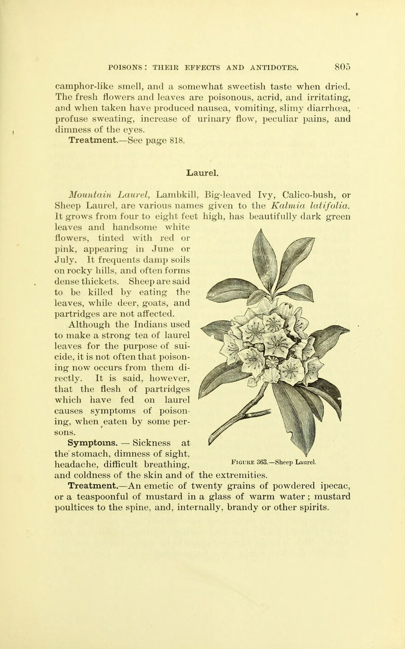 « POISONS : THEIR EFFECTS AND ANTIDOTES. 805 camphor-like smell, and a somewhat sweetish taste when dried. The fresh flowers and leaves are poisonous, acrid, and irritating, and when taken have produced nausea, vomiting, slimy diarrhrea, profuse sweating, increase of urinary flow, peculiar pains, and dimness of the eyes. Treatment.—See page 818. Laurel. Mountain Laurel, Lambkill, Big-leaved Ivy, Calico-bush, or Sheep Laurel, are various names given to the Kalmia latifolia. It grows from four to eight feet high, has beautifully dark green leaves and handsome white flowers, tinted with red or pink, appearing in June or July. It frequents damp soils on rocky hills, and often forms dense thickets. Sheep are said to be killed by eating the leaves, while deer, goats, and partridges are not affected. Although the Indians used to make a strong tea of laurel leaves for the purpose of sui- cide, it is not often that poison- ing now occurs from them di- rectly. It is said, however, that the flesh of partridges which have fed on laurel causes symptoms of poison- ing, when eaten by some per- sons. Symptoms. — Sickness at the stomach, dimness of sight. ^ headache, difficult breathing, Figure 363.-Sheep Laurel. and coldness of the skin and of the extremities. Treatment.—An emetic of twenty grains of powdered ipecac, or a teaspoonful of mustard in a glass of warm water; mustard poultices to the spine, and, internally, brandy or other spirits.