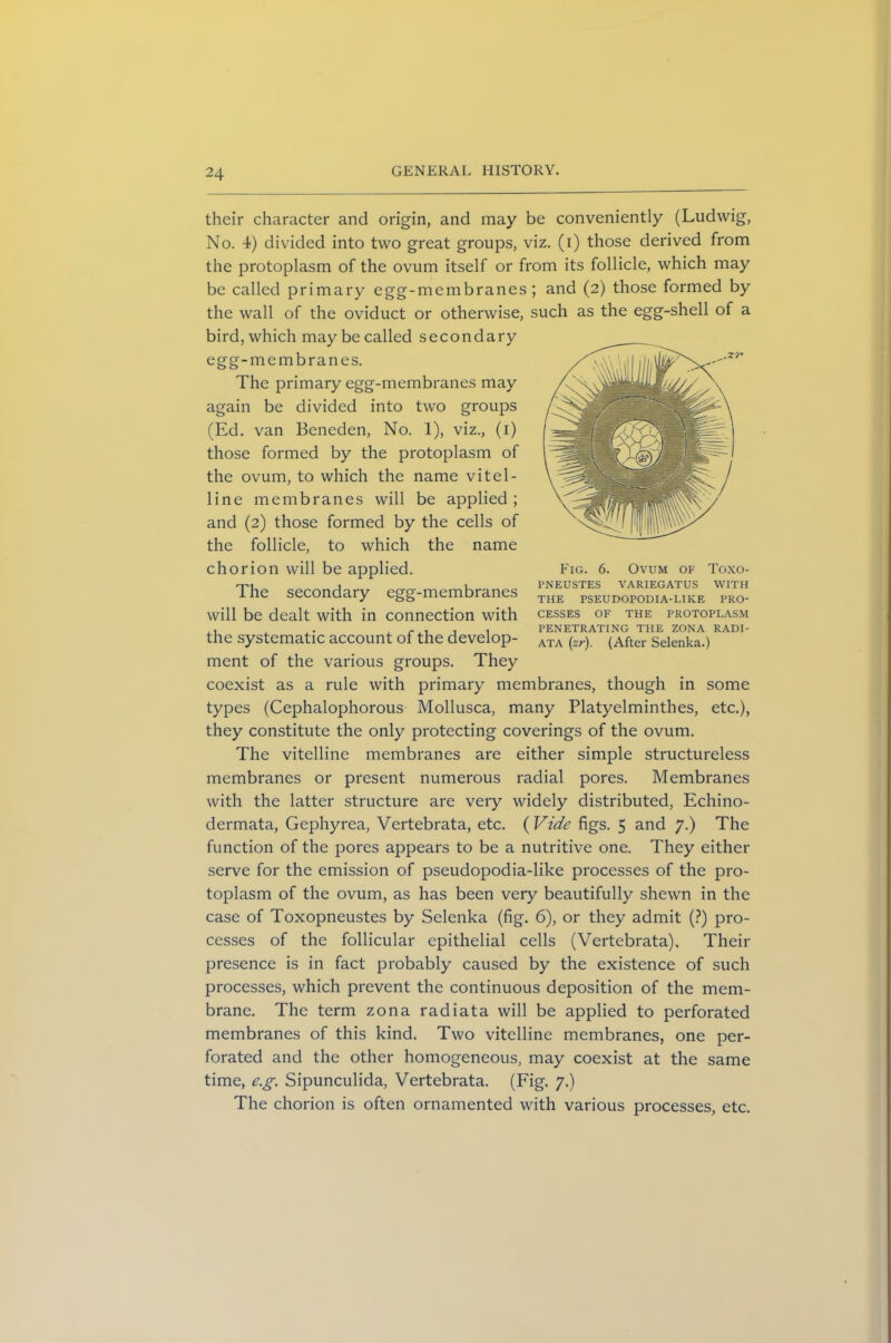 their character and origin, and may be conveniently (Ludwig, No. 4) divided into two great groups, viz. (i) those derived from the protoplasm of the ovum itself or from its follicle, which may be called primary egg-membranes; and (2) those formed by the wall of the oviduct or otherwise, such as the egg-shell of a bird, which may be called secondary egg-membranes. The primary egg-membranes may again be divided into two groups (Ed. van Beneden, No. 1), viz., (1) those formed by the protoplasm of the ovum, to which the name vitel- line membranes will be applied ; and (2) those formed by the cells of the follicle, to which the name chorion will be applied. The secondary egg-membranes will be dealt with in connection with the systematic account of the develop- ata^) * (After'selenka!) ment of the various groups. They coexist as a rule with primary membranes, though in some types (Cephalophorous Mollusca, many Platyelminthes, etc.), they constitute the only protecting coverings of the ovum. The vitelline membranes are either simple structureless membranes or present numerous radial pores. Membranes with the latter structure are very widely distributed, Echino- dermata, Gephyrea, Vertebrata, etc. ( Vide figs. 5 and 7.) The function of the pores appears to be a nutritive one. They either serve for the emission of pseudopodia-like processes of the pro- toplasm of the ovum, as has been very beautifully shewn in the case of Toxopneustes by Selenka (fig. 6), or they admit (?) pro- cesses of the follicular epithelial cells (Vertebrata), Their presence is in fact probably caused by the existence of such processes, which prevent the continuous deposition of the mem- brane. The term zona radiata will be applied to perforated membranes of this kind. Two vitelline membranes, one per- forated and the other homogeneous, may coexist at the same time, e.g. Sipunculida, Vertebrata. (Fig. 7.) The chorion is often ornamented with various processes, etc. .zr- Fig. 6. Ovum of Toxo- pneustes VARIEGATUS WITH THE PSEUDOPODIA-LIKE PRO- CESSES OF THE PROTOPLASM UTTXTTTT'T? A TT MG 'TT-TT? 7ANA P A HI.