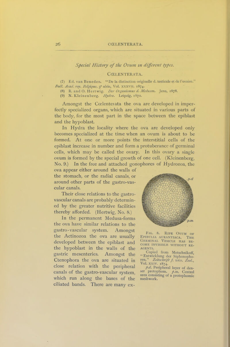 Special History of the Ovum in different types. CCELENTERATA. (7) Ed. van Beneden. “De la distinction originelle d. testicule et de l’ovaire.” Bull. Acad. roy. Belgique, 30 serie, Vol. xxxvn. 1874. (8) R. and O. Hertwig. Der Organismus d. Medusen. Jena, 1878. (9) N. Kleinenberg. Hydra. Leipzig, 1872. Amongst the Coelenteiata the ova are developed in imper- fectly specialized organs, which are situated in various parts of the body, for the most part in the space between the epiblast and the hypoblast. In Hydra the locality where the ova are developed only becomes specialized at the time when an ovum is about to be formed. At one or more points the interstitial cells of the epiblast increase in number and form a protuberance of germinal cells, which may be called the ovary. In this ovary a single ovum is formed by the special growth of one cell. (Kleinenberg, No. 9.) In the free and attached gonophores of Hydrozoa, the ova appear either around the walls of the stomach, or the radial canals, or around other parts of the gastro-vas- cular canals. Their close relations to the gastro- vascular canals are probably determin- ed by the greater nutritive facilities thereby afforded. (Hertwig, No. 8.) In the permanent Medusa-forms the ova have similar relations to the gastro-vascular system. Amongst the Actinozoa the ova are usually developed between the epiblast and the hypoblast in the walls of the gastric mesenteries. Amongst the Ctenophora the ova are situated in close relation with the peripheral canals of the gastro-vascular system, which run along the bases of the ciliated bands. There are many ex- Eig. 8. Ripe Ovum of Epibulia aurantiaca. The Germinal Vesicle has be- come invisible without re- agents. Copied from Metschnikoff, “ Entwicklung der Siphonopho- ren.” Ztitschrift f. zuiss. Zool., Vol. xxiv. 1874. p.d. Peripheral layer of den- ser protoplasm, p.m. Central area consisting of a protoplasmic meshwork.