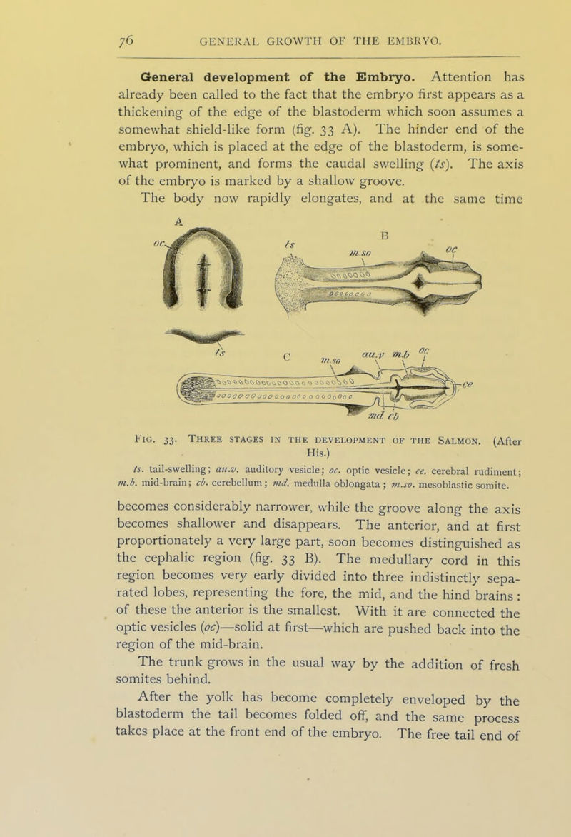 General development of the Embryo. Attention has already been called to the fact that the embryo first appears as a thickening of the edge of the blastoderm which soon assumes a somewhat shield-like form (fig. 33 A). The hinder end of the embryo, which is placed at the edge of the blastoderm, is some- what prominent, and forms the caudal swelling (is). The axis of the embryo is marked by a shallow groove. The body now rapidly elongates, and at the same time Eig. 33. Three stages in the development of the Salmon. (After His.) is. tail-swelling; au.v. auditory vesicle; oc. optic vesicle; ce. cerebral rudiment; m.b. mid-brain; cb. cerebellum; md. medulla oblongata; tn.so. mesoblastic somite. becomes considerably narrower, while the groove along the axis becomes shallower and disappears. The anterior, and at first proportionately a very large part, soon becomes distinguished as the cephalic region (fig. 33 B). The medullary cord in this region becomes very early divided into three indistinctly sepa- rated lobes, representing the fore, the mid, and the hind brains : of these the anterior is the smallest. With it are connected the optic vesicles (oc)—solid at first—which are pushed back into the region of the mid-brain. The trunk grows in the usual way by the addition of fresh somites behind. After the yolk has become completely enveloped by the blastoderm the tail becomes folded off, and the same process takes place at the front end of the embryo. The free tail end of