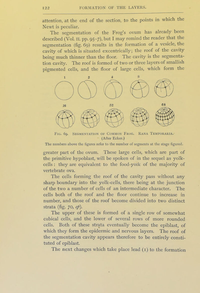 attention, at the end of the section, to the points in which the Newt is peculiar. The segmentation of the Frog’s ovum has already been described (Vol. II. pp. 95-7), but I may remind the reader that the segmentation (fig. 69) results in the formation of a vesicle, the cavity of which is situated excentrically; the roof of the cavity being much thinner than the floor. The cavity is the segmenta- tion cavity. The roof is formed of two or three layers of smallish pigmented cells, and the floor of large cells, which form the 1 2 4 s Fig. 69. Segmentation of Common Frog. Rana Temporaria. (After Ecker.) The numbers above the figures refer to the number of segments at the stage figured. greater part of the ovum. These large cells, which are part of the primitive hypoblast, will be spoken of in the sequel as yolk- cells : they are equivalent to the food-yolk of the majority of vertebrate ova. The cells forming the roof of the cavity pass without any sharp boundary into the yolk-cells, there being at the junction of the two a number of cells of an intermediate character. The cells both of the roof and the floor continue to increase in number, and those of the roof become divided into two distinct strata (fig. 70, eft). The upper of these is formed of a single row of somewhat cubical cells, and the lower of several rows of more rounded cells. Both of these strata eventually become the epiblast, of which they form the epidermic and nervous layers. The roof of the segmentation cavity appears therefore to be entirely consti- tuted of epiblast. The next changes which take place lead (1) to the formation