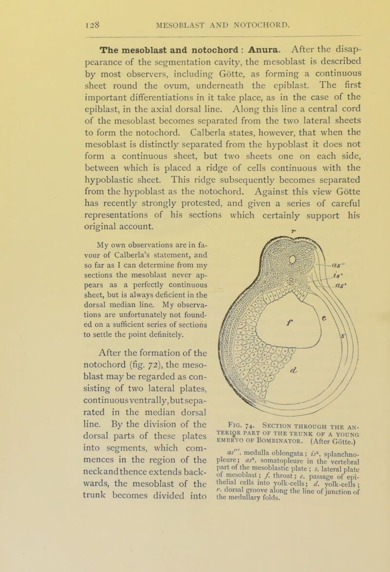 The mesoblast and notochord : Anura. After the disap- pearance of the segmentation cavity, the mesoblast is described by most observers, including Gotte, as forming a continuous sheet round the ovum, underneath the cpiblast. The first important differentiations in it take place, as in the case of the epiblast, in the axial dorsal line. Along this line a central cord of the mesoblast becomes separated from the two lateral sheets to form the notochord. Calberla states, however, that when the mesoblast is distinctly separated from the hypoblast it does not form a continuous sheet, but two sheets one on each side, between which is placed a ridge of cells continuous with the hypoblastic sheet. This ridge subsequently becomes separated from the hypoblast as the notochord. Against this view Gotte has recently strongly protested, and given a series of careful representations of his sections which certainly support his original account. My own observations are in fa- vour of Calberla’s statement, and so far as I can determine from my sections the mesoblast never ap- pears as a perfectly continuous sheet, but is always deficient in the dorsal median line. My observa- tions are unfortunately not found- ed on a sufficient series of sections to settle the point definitely. After the formation of the notochord (fig. 72), the meso- blast may be regarded as con- sisting of two lateral plates, continuous ventrally, but sepa- rated in the median dorsal line. By the division of the dorsal parts of these plates into segments, which com- mences in the region of the neckandthence extends back- wards, the mesoblast of the trunk becomes divided into 7* Fig. 74. Section through the an- terior PART OF THE TRUNK OF A YOUNG EMBRYO of Bombinator. (After Gotte.) as', medulla oblongata ; is*, splanchno- pleure; as*, somatopleure in the vertebral pait of the mesoblastic plate ; s. lateral plate of mesoblast; f. throat; e. passage of epi- thelial cells into yolk-cells; d. yolk-cells ; r- dorsal groove along the line of junction of the medullary folds.
